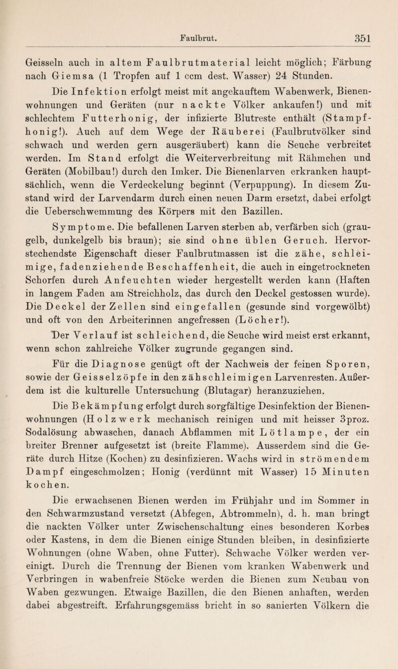 Geissein auch in altem Faulbrutmaterial leicht möglich; Färbung nach Giemsa (1 Tropfen auf 1 ccm dest. Wasser) 24 Stunden. Die Infektion erfolgt meist mit angekauftem Wabenwerk, Bienen¬ wohnungen und Geräten (nur nackte Völker ankaufen!) und mit schlechtem Futterhonig, der infizierte Blutreste enthält (Stampf- honig!). Auch auf dem Wege der Bäuberei (Faulbrutvölker sind schwach und werden gern ausgeräubert) kann die Seuche verbreitet werden. Im Stand erfolgt die Weiterverbreitung mit Bähmchen und Geräten (Mobilbau!) durch den Imker. Die Bienenlarven erkranken haupt¬ sächlich, wenn die Verdeckelung beginnt (Verpuppung). In diesem Zu¬ stand wird der Larvendarm durch einen neuen Darm ersetzt, dabei erfolgt die Ueberschwemmung des Körpers mit den Bazillen. Symptome. Die befallenen Larven sterben ab, verfärben sich (grau¬ gelb, dunkelgelb bis braun); sie sind ohne üblen Geruch. Hervor¬ stechendste Eigenschaft dieser Faulbrutmassen ist die zähe, schlei¬ mige, fadenziehende Beschaffenheit, die auch in eingetrockneten Schorfen durch Anfeuchten wieder hergestellt werden kann (Haften in langem Faden am Streichholz, das durch den Deckel gestossen wurde). Die Deckel der Zellen sind eingefallen (gesunde sind vorgewölbt) und oft von den Arbeiterinnen angefressen (Löcher!). Der Verlauf ist schleichend, die Seuche wird meist erst erkannt, wenn schon zahlreiche Völker zugrunde gegangen sind. Für die Diagnose genügt oft der Nachweis der feinen Sporen, sowie der Geisselzöpfe in den zähschleimigen Larvenresten. Außer¬ dem ist die kulturelle Untersuchung (Blutagar) heranzuziehen. Die Bekämpfung erfolgt durch sorgfältige Desinfektion der Bienen¬ wohnungen (Holzwerk mechanisch reinigen und mit heisser 3proz. Sodalösung abwaschen, danach Abflammen mit Lötlampe, der ein breiter Brenner aufgesetzt ist (breite Flamme). Ausserdem sind die Ge¬ räte durch Hitze (Kochen) zu desinfizieren. Wachs wird in strömendem Dampf eingeschmolzen; Honig (verdünnt mit Wasser) 15 Minuten kochen. Die erwachsenen Bienen werden im Frühjahr und im Sommer in den Schwarmzustand versetzt (Abfegen, Abtrommeln), d. h. man bringt die nackten Völker unter Zwischenschaltung eines besonderen Korbes oder Kastens, in dem die Bienen einige Stunden bleiben, in desinfizierte Wohnungen (ohne Waben, ohne Futter). Schwache Völker werden ver¬ einigt. Durch die Trennung der Bienen vom kranken Wabenwerk und Verbringen in wabenfreie Stöcke werden die Bienen zum Neubau von Waben gezwungen. Etwaige Bazillen, die den Bienen anhaften, werden dabei abgestreift. Erfahrungsgemäss bricht in so sanierten Völkern die