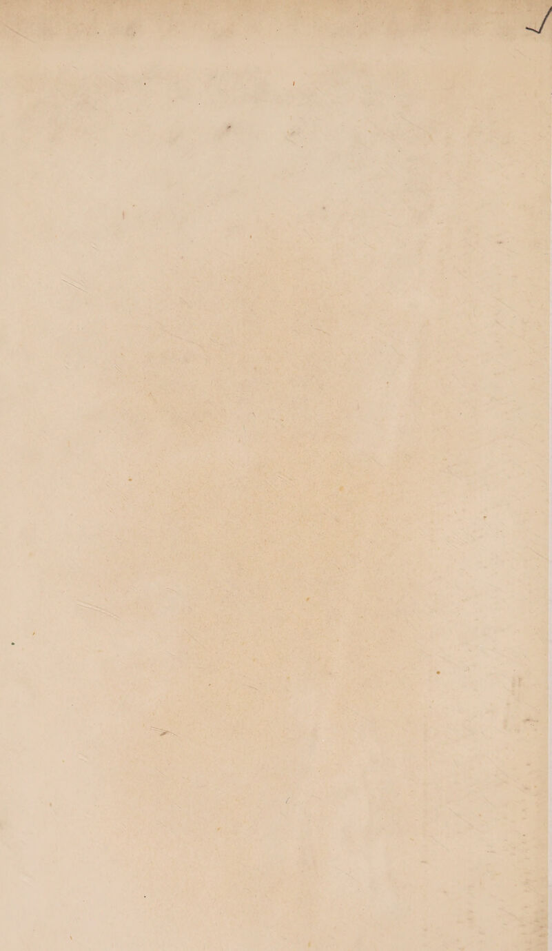 V •' . I 3 : ■ !' ■ -Mi If ■ 1 ■ . ' v ,. M , ' *•** . .. (