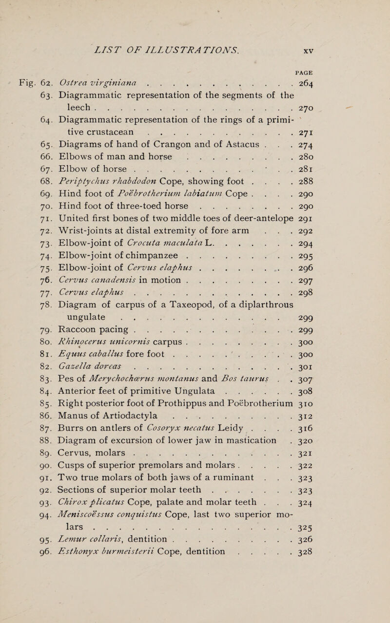 PAGE . 62. Ostrea virginiana.264 63. Diagrammatic representation of the segments of the leech.270 64. Diagrammatic representation of the rings of a primi¬ tive crustacean.271 65. Diagrams of hand of Crangon and of Astacus . . . 274 66. Elbows of man and horse.280 67. Elbow of horse.* 281 68. Periptychus rhabdodon Cope, showing foot .... 288 69. Hind foot of Poebrotherium labiatum Cope .... 290 70. Hind foot of three-toed horse.290 71. United first bones of two middle toes of deer-antelope 291 72. Wrist-joints at distal extremity of fore arm . . . 292 73. Elbow-joint of Crocuta maculata L.294 74. Elbow-joint of chimpanzee. 295 75. Elbow-joint of Cervus elaphus.296 76. Cervus canadensis in motion.297 77. Cervus elaphus.298 78. Diagram of carpus of a Taxeopod, of a diplarthrous ungulate. 299 79. Raccoon pacing.. 299 80. Rhino cer us unicornis carpus.300 81. Equus caballus fore foot. 300 82. Gazella dorcas.. 301 83. Pes of Merychochcerus monlanus and Bos taurus . 307 84. Anterior feet of primitive Ungulata.308 85. Right posterior foot of Prothippus and Poebrotherium 310 86. Manus of Artiodactyla.312 87. Burrs on antlers of Cosoryx necatus Leidy . . . .316 88. Diagram of excursion of lower jaw in mastication . 320 89. Cervus, molars.321 90. Cusps of superior premolars and molars.322 91. Two true molars of both jaws of a ruminant . . . 323 92. Sections of superior molar teeth.323 93. Chirox plicatus Cope, palate and molar teeth . . . 324 94. Meniscoessus conquistus Cope, last two superior mo¬ lars .325 95. Lemur collaris, dentition.326 96. Esthonyx bur7neisterii Cope, dentition.328