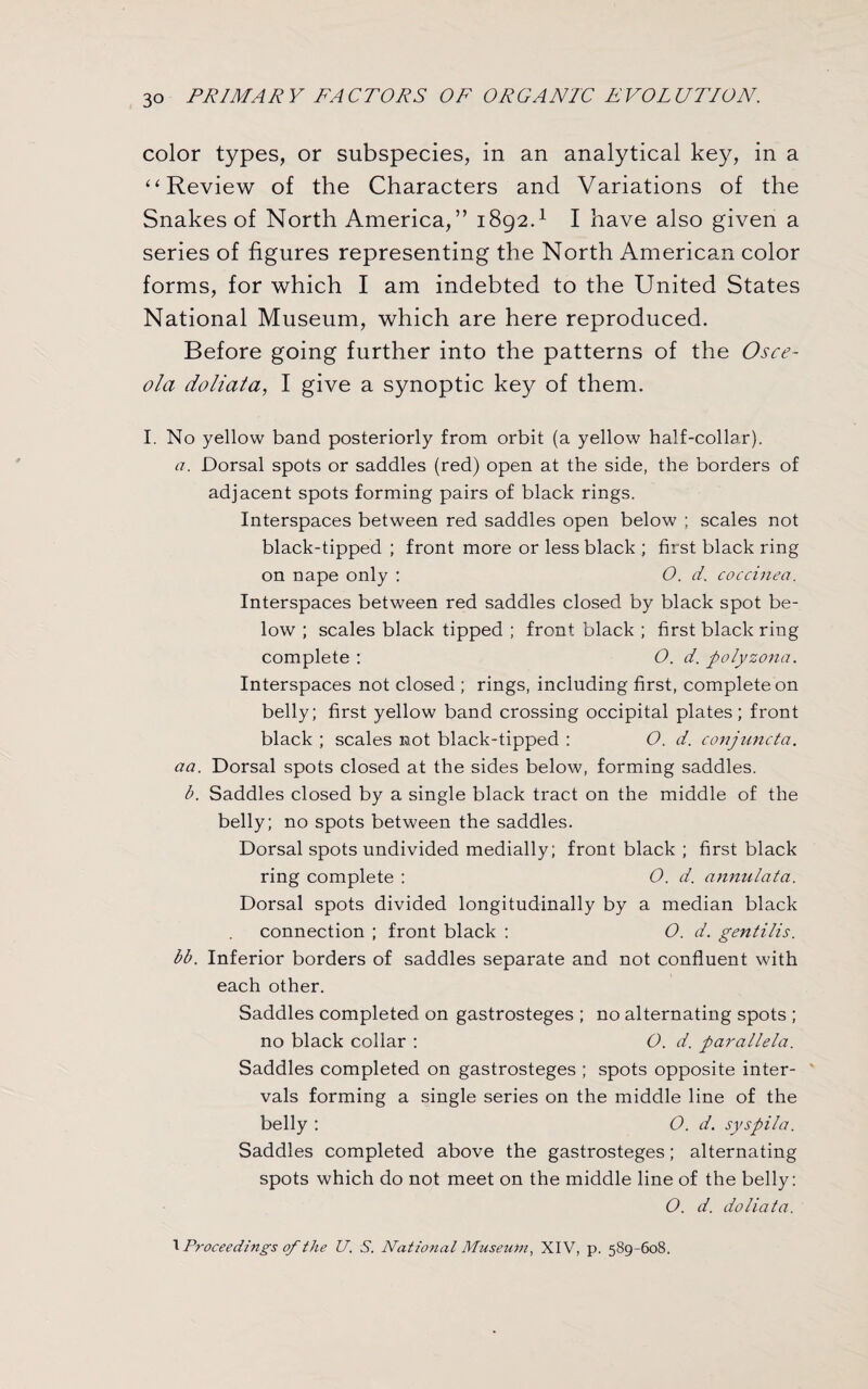 color types, or subspecies, in an analytical key, in a “ Review of the Characters and Variations of the Snakes of North America,” 1892.1 I have also given a series of figures representing the North American color forms, for which I am indebted to the United States National Museum, which are here reproduced. Before going further into the patterns of the Osce¬ ola doliata, I give a synoptic key of them. I. No yellow band posteriorly from orbit (a yellow half-collar). a. Dorsal spots or saddles (red) open at the side, the borders of adjacent spots forming pairs of black rings. Interspaces between red saddles open below ; scales not black-tipped ; front more or less black ; first black ring on nape only : O. d. coccinea. Interspaces between red saddles closed by black spot be¬ low ; scales black tipped ; front black ; first black ring complete : O. d. polyzona. Interspaces not closed ; rings, including first, complete on belly; first yellow band crossing occipital plates; front black ; scales not black-tipped : O. d. conjuncta. aa. Dorsal spots closed at the sides below, forming saddles. b. Saddles closed by a single black tract on the middle of the belly; no spots between the saddles. Dorsal spots undivided medially; front black ; first black ring complete : O. d. annulata. Dorsal spots divided longitudinally by a median black connection ; front black : O. d. gentilis. bb. Inferior borders of saddles separate and not confluent with each other. Saddles completed on gastrosteges ; no alternating spots ; no black collar : O. d. parallela. Saddles completed on gastrosteges ; spots opposite inter¬ vals forming a single series on the middle line of the belly : O. d. syspila. Saddles completed above the gastrosteges; alternating spots which do not meet on the middle line of the belly: O. d. doliata. 1 Proceedings of the U. S. National Museum, XIV, p. 589-608.