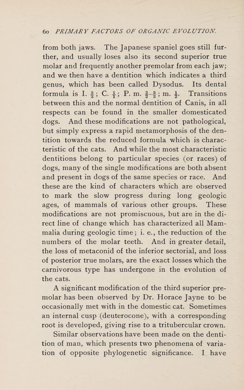 from both jaws. The Japanese spaniel goes still fur¬ ther, and usually loses also its second superior true molar and frequently another premolar from each jaw; and we then have a dentition which indicates a third genus, which has been called Dysodus. Its dental formula is I. -J; C. i; P. m. f-f; m. Transitions between this and the normal dentition of Canis, in all respects can be found in the smaller domesticated dogs. And these modifications are not pathological, but simply express a rapid metamorphosis of the den¬ tition towards the reduced formula which is charac¬ teristic of the cats. And while the most characteristic dentitions belong to particular species (or races) of dogs, many of the single modifications are both absent and present in dogs of the same species or race. And these are the kind of characters which are observed to mark the slow progress during long geologic ages, of mammals of various other groups. These modifications are not promiscuous, but are in the di¬ rect line of change which has characterized all Mam¬ malia during geologic time; i. e., the reduction of the numbers of the molar teeth. And in greater detail, the loss of metaconid of the inferior sectorial, and loss of posterior true molars, are the exact losses which the carnivorous type has undergone in the evolution of the cats. A significant modification of the third superior pre¬ molar has been observed by Dr. Horace Jayne to be occasionally met with in the domestic cat. Sometimes an internal cusp (deuterocone), with a corresponding root is developed, giving rise to a tritubercular crown. Similar observations have been made on the denti¬ tion of man, which presents two phenomena of varia¬ tion of opposite phylogenetic significance. I have