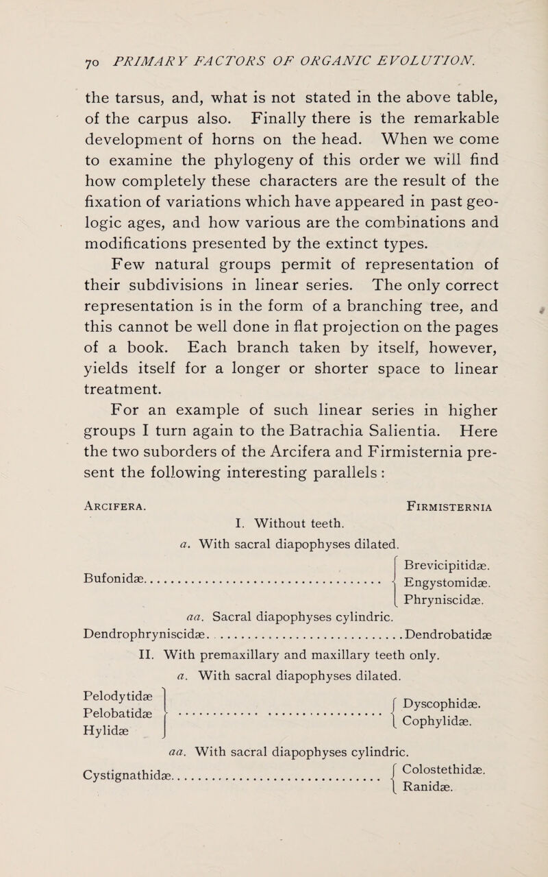 the tarsus, and, what is not stated in the above table, of the carpus also. Finally there is the remarkable development of horns on the head. When we come to examine the phylogeny of this order we will find how completely these characters are the result of the fixation of variations which have appeared in past geo¬ logic ages, and how various are the combinations and modifications presented by the extinct types. Few natural groups permit of representation of their subdivisions in linear series. The only correct representation is in the form of a branching tree, and this cannot be well done in flat projection on the pages of a book. Each branch taken by itself, however, yields itself for a longer or shorter space to linear treatment. For an example of such linear series in higher groups I turn again to the Batrachia Salientia. Here the two suborders of the Arcifera and Firmisternia pre¬ sent the following interesting parallels : Arcifera. Firmisternia I. Without teeth. a. With sacral diapophyses dilated. Bufonidae. Brevicipitidae. Engystomidae. Phryniscidae. aa. Sacral diapophyses cylindric. Dendrophryniscidae. .Dendrobatidae II. With premaxillary and maxillary teeth only. a. With sacral diapophyses dilated. Pelodytidae Pelobatidae Hylidae [ Dyscophidas. \ Cophylidas. aa. With sacral diapophyses cylindric. Cystignathidas. J Colostethidse. Ranidae.