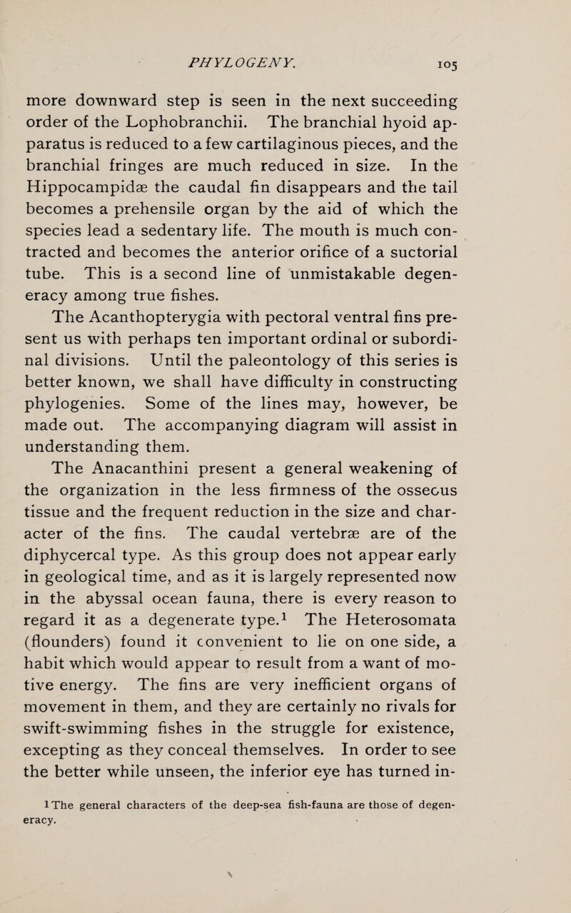 more downward step is seen in the next succeeding order of the Lophobranchii. The branchial hyoid ap¬ paratus is reduced to a few cartilaginous pieces, and the branchial fringes are much reduced in size. In the Hippocampidae the caudal fin disappears and the tail becomes a prehensile organ by the aid of which the species lead a sedentary life. The mouth is much con¬ tracted and becomes the anterior orifice of a suctorial tube. This is a second line of unmistakable degen¬ eracy among true fishes. The Acanthopterygia with pectoral ventral fins pre¬ sent us with perhaps ten important ordinal or subordi¬ nal divisions. Until the paleontology of this series is better known, we shall have difficulty in constructing phylogenies. Some of the lines may, however, be made out. The accompanying diagram will assist in understanding them. The Anacanthini present a general weakening of the organization in the less firmness of the osseous tissue and the frequent reduction in the size and char¬ acter of the fins. The caudal vertebrae are of the diphycercal type. As this group does not appear early in geological time, and as it is largely represented now in the abyssal ocean fauna, there is every reason to regard it as a degenerate type.1 The Heterosomata (flounders) found it convenient to lie on one side, a habit which would appear to result from a want of mo¬ tive energy. The fins are very inefficient organs of movement in them, and they are certainly no rivals for swift-swimming fishes in the struggle for existence, excepting as they conceal themselves. In order to see the better while unseen, the inferior eye has turned in- iThe general characters of the deep-sea fish-fauna are those of degen¬ eracy. \