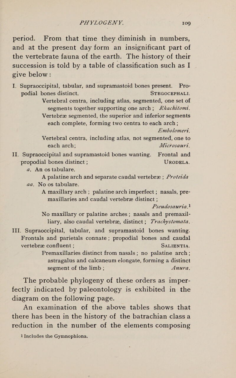 period. From that time they diminish in numbers, and at the present day form an insignificant part of the vertebrate fauna of the earth. The history of their succession is told by a table of classification such as I give below : I. Supraoccipital, tabular, and supramastoid bones present. Pro- podial bones distinct. Stegocephali. Vertebral centra, including atlas, segmented, one set of segments together supporting one arch ; Rhachitomi. Vertebrae segmented, the superior and inferior segments each complete, forming two centra to each arch; Embolomeri. Vertebral centra, including atlas, not segmented, one to each arch; Microsauri. II. Supraoccipital and supramastoid bones wanting. Frontal and propodial bones distinct ; Urodela. a. An os tabulare. A palatine arch and separate caudal vertebrae ; Proteida aa. No os tabulare. A maxillary arch ; palatine arch imperfect; nasals, pre- maxillaries and caudal vertebrae distinct; Pseudosauriad No maxillary or palatine arches; nasals and premaxil- liary, also caudal vertebrae, distinct; Tr achy stomata. III. Supraoccipital, tabular, and supramastoid bones wanting. Frontals and parietals connate ; propodial bones and caudal vertebrae confluent ; Salientia. Premaxillaries distinct from nasals ; no palatine arch ; astragalus and calcaneum elongate, forming a distinct segment of the limb ; Anura. The probable phylogeny of these orders as imper¬ fectly indicated by paleontology is exhibited in the diagram on the following page. An examination of the above tables shows that there has been in the history of the batrachian class a reduction in the number of the elements composing 1 Includes the Gymnophiona.