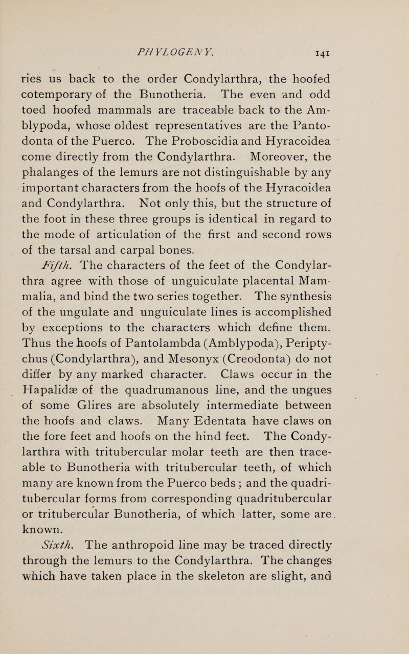 ries us back to the order Condylarthra, the hoofed cotemporary of the Bunotheria. The even and odd toed hoofed mammals are traceable back to the Am- blypoda, whose oldest representatives are the Panto- donta of the Puerco. The Proboscidia and Hyracoidea come directly from the Condylarthra. Moreover, the phalanges of the lemurs are not distinguishable by any important characters from the hoofs of the Hyracoidea and Condylarthra. Not only this, but the structure of the foot in these three groups is identical in regard to the mode of articulation of the first and second rows of the tarsal and carpal bones* Fifth. The characters of the feet of the Condylar¬ thra agree with those of unguiculate placental Mam' malia, and bind the two series together. The synthesis of the ungulate and unguiculate lines is accomplished by exceptions to the characters which define them. Thus the hoofs of Pantolambda (Amblypoda), Peripty- chus (Condylarthra), and Mesonyx (Creodonta) do not differ by any marked character. Claws occur in the Hapalidae of the quadrumanous line, and the ungues of some Glires are absolutely intermediate between the hoofs and claws. Many Edentata have claws on the fore feet and hoofs on the hind feet. The Condy¬ larthra with tritubercular molar teeth are then trace¬ able to Bunotheria with tritubercular teeth, of which many are known from the Puerco beds ; and the quadri- tubercular forms from corresponding quadritubercular or tritubercular Bunotheria, of which latter, some are, known. Sixth. The anthropoid line may be traced directly through the lemurs to the Condylarthra. The changes which have taken place in the skeleton are slight, and