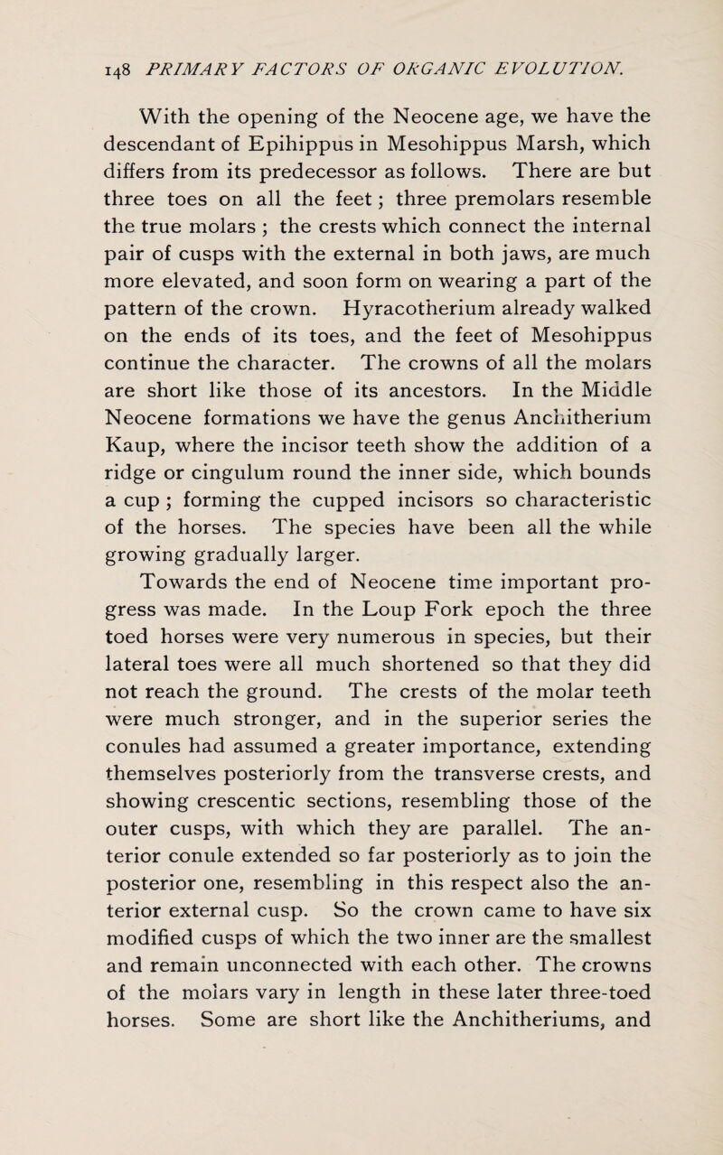 With the opening of the Neocene age, we have the descendant of Epihippus in Mesohippus Marsh, which differs from its predecessor as follows. There are but three toes on all the feet; three premolars resemble the true molars ; the crests which connect the internal pair of cusps with the external in both jaws, are much more elevated, and soon form on wearing a part of the pattern of the crown. Hyracotherium already walked on the ends of its toes, and the feet of Mesohippus continue the character. The crowns of all the molars are short like those of its ancestors. In the Middle Neocene formations we have the genus Anchitherium Kaup, where the incisor teeth show the addition of a ridge or cingulum round the inner side, which bounds a cup ; forming the cupped incisors so characteristic of the horses. The species have been all the while growing gradually larger. Towards the end of Neocene time important pro¬ gress was made. In the Loup Fork epoch the three toed horses were very numerous in species, but their lateral toes were all much shortened so that they did not reach the ground. The crests of the molar teeth were much stronger, and in the superior series the conules had assumed a greater importance, extending themselves posteriorly from the transverse crests, and showing crescentic sections, resembling those of the outer cusps, with which they are parallel. The an¬ terior conule extended so far posteriorly as to join the posterior one, resembling in this respect also the an¬ terior external cusp. So the crown came to have six modified cusps of which the two inner are the smallest and remain unconnected with each other. The crowns of the molars vary in length in these later three-toed horses. Some are short like the Anchitheriums, and