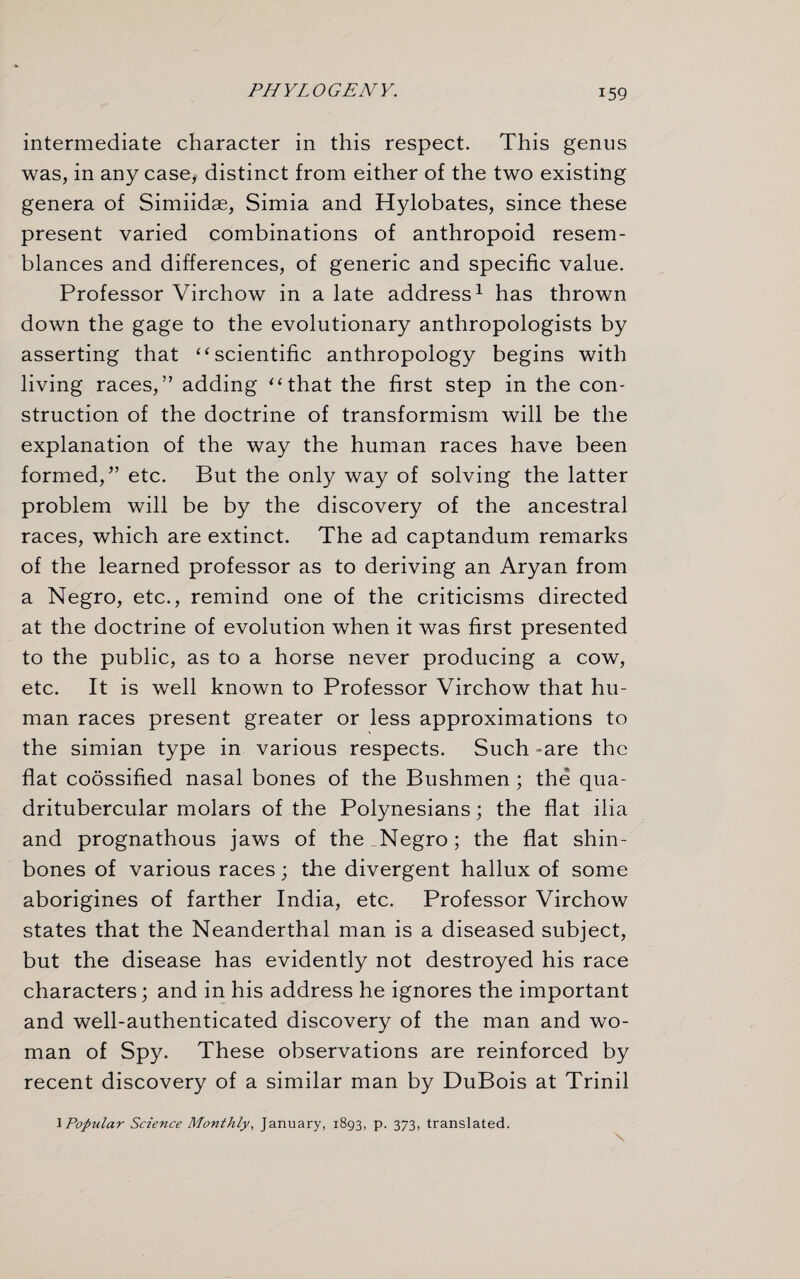 intermediate character in this respect. This genus was, in any case, distinct from either of the two existing genera of Simiidae, Simia and Hylobates, since these present varied combinations of anthropoid resem¬ blances and differences, of generic and specific value. Professor Virchow in a late address1 has thrown down the gage to the evolutionary anthropologists by asserting that “ scientific anthropology begins with living races,” adding “that the first step in the con¬ struction of the doctrine of transformism will be the explanation of the way the human races have been formed,” etc. But the only way of solving the latter problem will be by the discovery of the ancestral races, which are extinct. The ad captandum remarks of the learned professor as to deriving an Aryan from a Negro, etc., remind one of the criticisms directed at the doctrine of evolution when it was first presented to the public, as to a horse never producing a cow, etc. It is well known to Professor Virchow that hu¬ man races present greater or less approximations to the simian type in various respects. Such -are the flat coossified nasal bones of the Bushmen ; the qua- dritubercular molars of the Polynesians; the flat ilia and prognathous jaws of the Negro; the flat shin¬ bones of various races; the divergent hallux of some aborigines of farther India, etc. Professor Virchow states that the Neanderthal man is a diseased subject, but the disease has evidently not destroyed his race characters; and in his address he ignores the important and well-authenticated discovery of the man and wo¬ man of Spy. These observations are reinforced by recent discovery of a similar man by DuBois at Trinil 1 Popular Science Monthly, January, 1893, p. 373, translated.