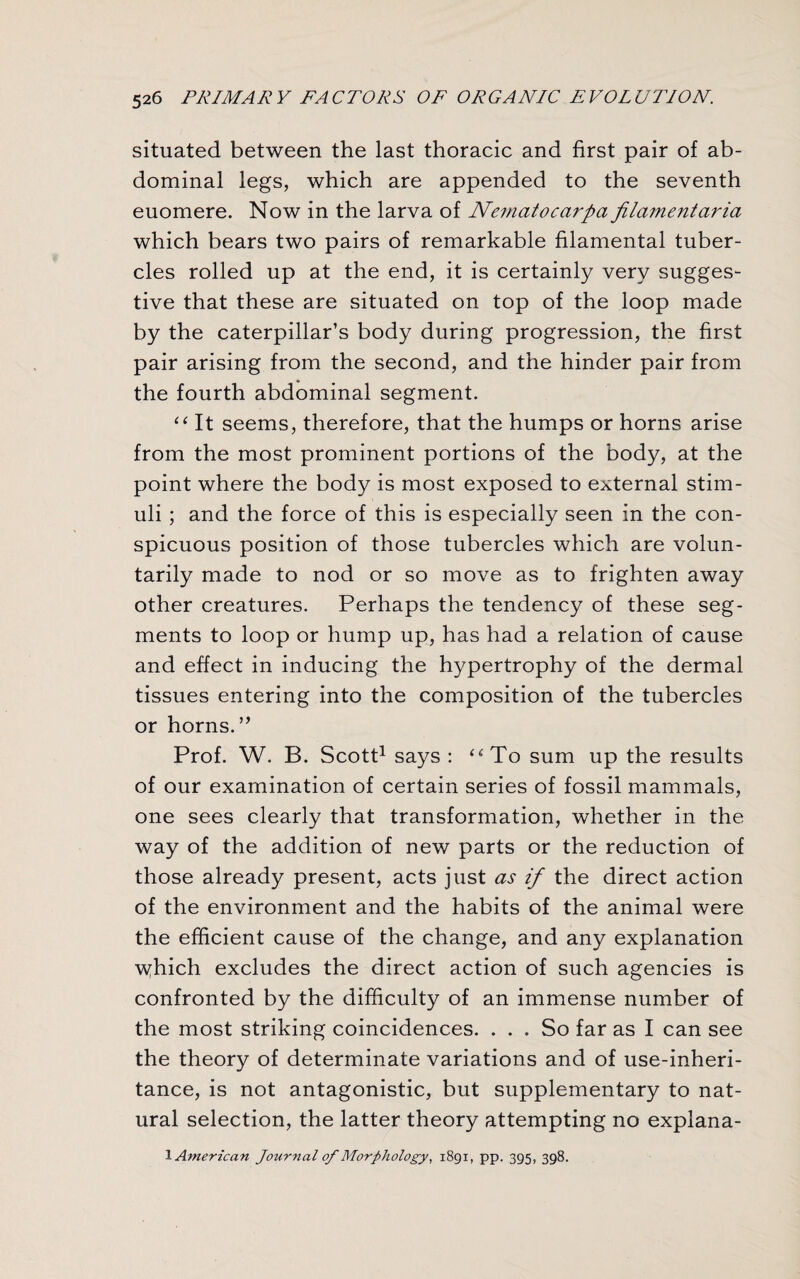 situated between the last thoracic and first pair of ab¬ dominal legs, which are appended to the seventh euomere. Now in the larva of Nernatocarpa filament aria which bears two pairs of remarkable filamental tuber¬ cles rolled up at the end, it is certainly very sugges¬ tive that these are situated on top of the loop made by the caterpillar’s body during progression, the first pair arising from the second, and the hinder pair from the fourth abdominal segment. “ It seems, therefore, that the humps or horns arise from the most prominent portions of the body, at the point where the body is most exposed to external stim¬ uli ; and the force of this is especially seen in the con¬ spicuous position of those tubercles which are volun¬ tarily made to nod or so move as to frighten away other creatures. Perhaps the tendency of these seg¬ ments to loop or hump up, has had a relation of cause and effect in inducing the hypertrophy of the dermal tissues entering into the composition of the tubercles or horns.” Prof. W. B. Scott1 says : “To sum up the results of our examination of certain series of fossil mammals, one sees clearly that transformation, whether in the way of the addition of new parts or the reduction of those already present, acts just as if the direct action of the environment and the habits of the animal were the efficient cause of the change, and any explanation \yhich excludes the direct action of such agencies is confronted by the difficulty of an immense number of the most striking coincidences. ... So far as I can see the theory of determinate variations and of use-inheri¬ tance, is not antagonistic, but supplementary to nat¬ ural selection, the latter theory attempting no explana- 1 American Journal of Morphology, 1891, pp. 395, 398.