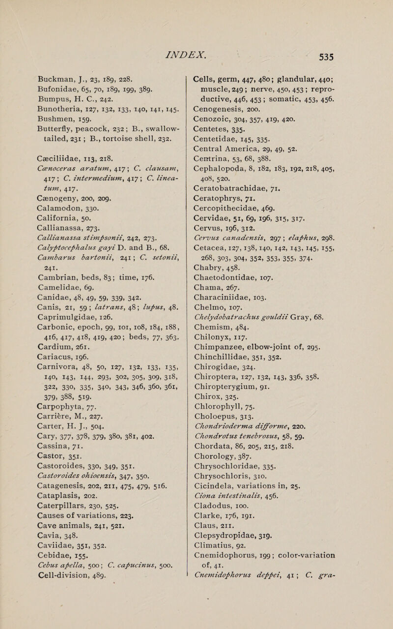 Buckman, J., 23, 189, 228. Bufonidae, 65, 70, 189, 199, 389. Bumpus, H. C., 242. Bunotheria, 127, 132, 133, 140, 141, 145. Bushmen, 159. Butterfly, peacock, 232; B., swallow¬ tailed, 231; B., tortoise shell, 232. Caeciliidae, 113, 218. Ccenoceras aratum, 417; C. clausam, 417 ; C. intermedium, 417 ; C. linea- tum, 417. Casnogeny, 200, 209. Calamodon, 330. California, 50. Callianassa, 273. Callianassa stimpsonii, 242, 273. Calyptocephalus gayi D. and B., 68. Cambarus bartonii, 241; C. setonii, 241. Cambrian, beds, 83; time, 176. Camelidae, 69. Canidae, 48, 49, 59, 339, 342. Canis, 21, 59; latrans, 48; lupus, 48. Caprimulgidae, 126. Carbonic, epoch, 99, 101, 108, 184, 188, 416, 417, 418, 419, 420; beds, 77, 363. Cardium, 261. Cariacus, 196. Carnivora, 48, 50, 127, 132, 133, 135, 140, 143, 144, 293, 302, 305, 309, 318, 322, 330, 335, 340, 343, 346, 360, 361, 379. 388, 519- Carpophyta, 77. Carriere, M., 227. Carter, H. J., 504. Cary, 377, 378, 379, 380, 381, 402. Cassina, 71. Castor, 351. Castoroides, 330, 349, 351. Castoroides ohioensis, 347, 350. Catagenesis, 202, 211, 475, 479, 516. Cataplasis, 202. Caterpillars, 230, 525. Causes of variations, 223. Cave animals, 241, 521. Cavia, 348. Caviidae, 351, 352. Cebidae, 155. Cebus apella, 500; C. capucinus, 500. Cell-division, 489. Cells, germ, 447, 480; glandular, 440; muscle, 249; nerve, 450, 453 ; repro¬ ductive, 446, 453 ; somatic, 453, 456. Cenogenesis, 200. Cenozoic, 304, 357, 419, 420. Centetes, 335. Centetidae, 145, 335. Central America, 29, 49, 52. Centrina, 53, 68, 388. Cephalopoda, 8, 182, 183, 192, 218, 405, 408, 520. Ceratobatrachidae, 71. Ceratophrys, 71. Cercopithecidae, 469. Cervidae, 51, 69, 196, 315, 317. Cervus, 196, 312. Cervus canadensis, 297 ; elaphus, 298. Cetacea, 127, 138,140, 142, 143, 145, 155, 268, 303, 304, 352, 353, 355, 374. Chabry, 458. Chaetodontidae, 107. Chama, 267. Characiniidae, 103. Chelmo, 107. Chelydobatrachus gouldii Gray, 68. Chemism, 484. Chilonyx, 117. Chimpanzee, elbow-joint of, 295. Chinchillidae, 351, 352. Chirogidae, 324. Chiroptera, 127, 132, 143, 336, 358. Chiropterygium, 91. Chirox, 325. Chlorophyll, 75. Choloepus, 313. Chondrioderma difforme, 220. Chondrotus tenebrosus, 58, 59. Chordata, 86, 205, 215, 218. Chorology, 387. Chrysochloridae, 335. Chrysochloris, 310. Cicindela, variations in, 25. Cion a intestinalis, 456. Cladodus, 100. Clarke, 176, 191. Claus, 211. Clepsydropidae, 319. Climatius, 92. Cnemidophorus, 199; color-variation of, 41. Cnemidophorus deppei, 41 ; C. gra-