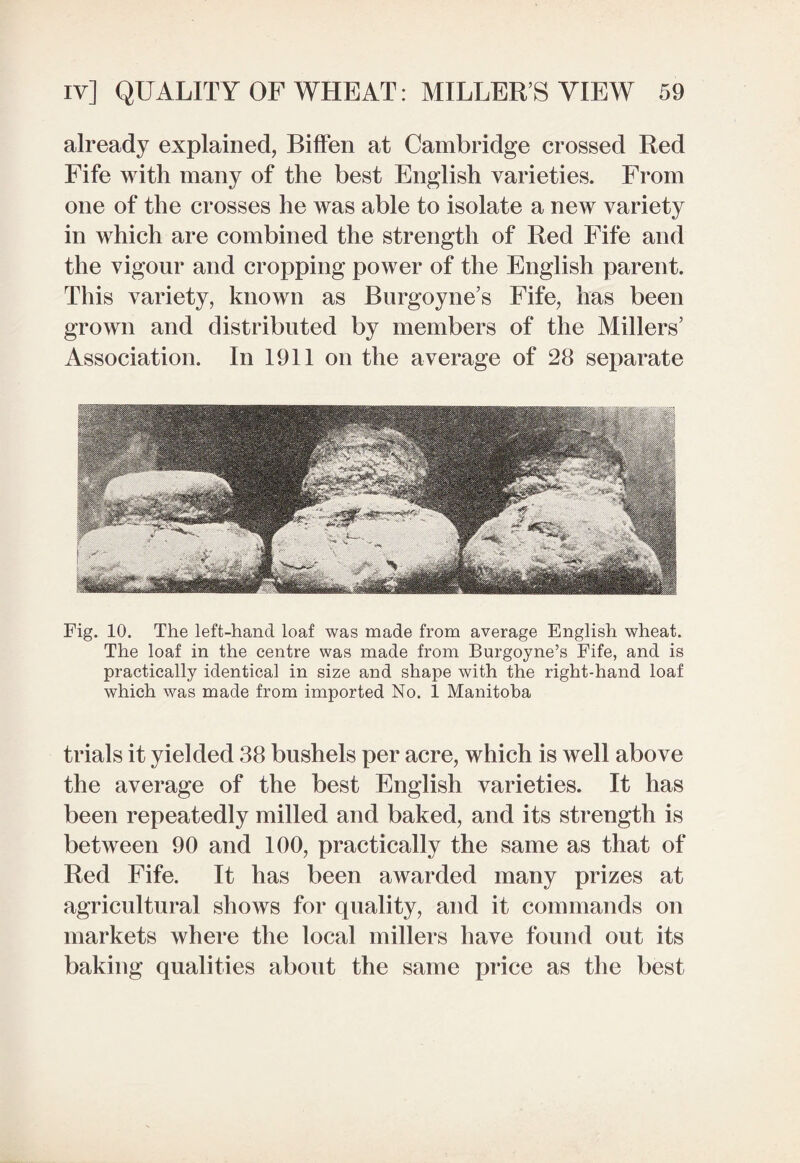 already explained, Biffen at Cambridge crossed Red Fife with many of the best English varieties. From one of the crosses he was able to isolate a new variety in which are combined the strength of Red Fife and the vigour and cropping power of the English parent. This variety, known as Burgoyne’s Fife, has been grown and distributed by members of the Millers’ Association. In 1911 on the average of 28 separate Fig. 10. The left-hand loaf was made from average English wheat. The loaf in the centre was made from Burgoyne’s Fife, and is practically identical in size and shape with the right-hand loaf which was made from imported No. 1 Manitoba trials it yielded 38 bushels per acre, which is well above the average of the best English varieties. It has been repeatedly milled and baked, and its strength is between 90 and 100, practically the same as that of Red Fife. It has been awarded many prizes at agricultural shows for quality, and it commands on markets where the local millers have found out its baking qualities about the same price as the best