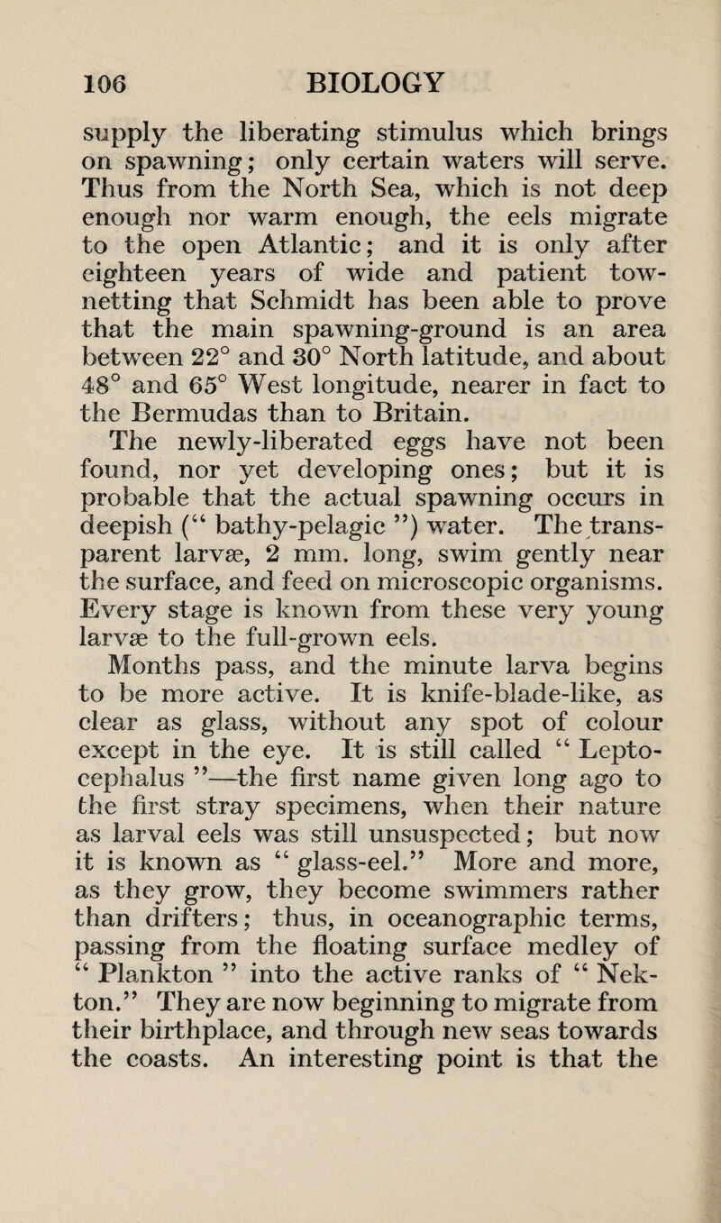 supply the liberating stimulus which brings on spawning; only certain waters will serve. Thus from the North Sea, which is not deep enough nor warm enough, the eels migrate to the open Atlantic; and it is only after eighteen years of wide and patient tow¬ netting that Schmidt has been able to prove that the main spawning-ground is an area between 22° and 30° North latitude, and about 48° and 65° West longitude, nearer in fact to the Bermudas than to Britain. The newly-liberated eggs have not been found, nor yet developing ones; but it is probable that the actual spawning occurs in deepish (“ bathy-pelagie ”) water. The trans¬ parent larvae, 2 mm. long, swim gently near the surface, and feed on microscopic organisms. Every stage is known from these very young larvae to the full-grown eels. Months pass, and the minute larva begins to be more active. It is knife-blade-like, as clear as glass, without any spot of colour except in the eye. It is still called 44 Lepto- cephalus ”—the first name given long ago to the first stray specimens, when their nature as larval eels was still unsuspected; but now it is known as 44 glass-eel.” More and more, as they grow, they become swimmers rather than drifters; thus, in oceanographic terms, passing from the floating surface medley of 44 Plankton ” into the active ranks of 44 Nek¬ ton.” They are now beginning to migrate from their birthplace, and through new seas towards the coasts. An interesting point is that the