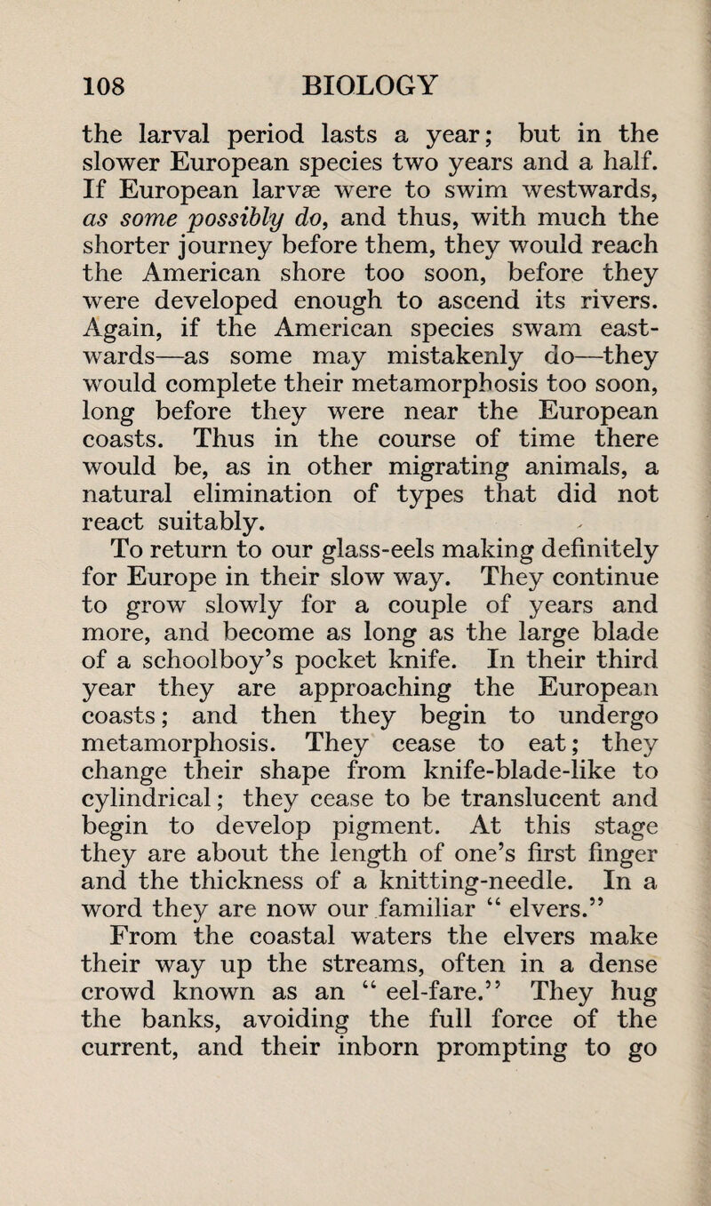 the larval period lasts a year; but in the slower European species two years and a half. If European larvae were to swim westwards, as some possibly do, and thus, with much the shorter journey before them, they would reach the American shore too soon, before they were developed enough to ascend its rivers. Again, if the American species swam east¬ wards—as some may mistakenly do—they would complete their metamorphosis too soon, long before they were near the European coasts. Thus in the course of time there would be, as in other migrating animals, a natural elimination of types that did not react suitably. To return to our glass-eels making definitely for Europe in their slow way. They continue to grow slowly for a couple of years and more, and become as long as the large blade of a schoolboy’s pocket knife. In their third year they are approaching the European coasts; and then they begin to undergo metamorphosis. They cease to eat; they change their shape from knife-blade-like to cylindrical; they cease to be translucent and begin to develop pigment. At this stage they are about the length of one’s first finger and the thickness of a knitting-needle. In a word they are now our familiar 44 elvers.” From the coastal waters the elvers make their way up the streams, often in a dense crowd known as an 44 eel-fare.” They hug the banks, avoiding the full force of the current, and their inborn prompting to go