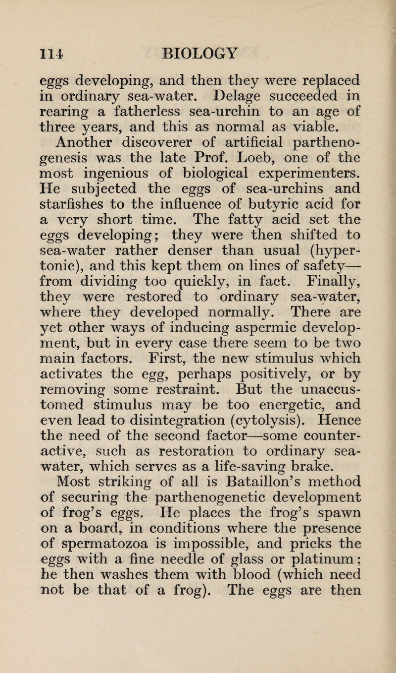 eggs developing, and then they were replaced in ordinary sea-water. Delage succeeded in rearing a fatherless sea-urchin to an age of three years, and this as normal as viable. Another discoverer of artificial partheno¬ genesis was the late Prof. Loeb, one of the most ingenious of biological experimenters. He subjected the eggs of sea-urchins and starfishes to the influence of butyric acid for a very short time. The fatty acid set the eggs developing; they were then shifted to sea-water rather denser than usual (hyper¬ tonic), and this kept them on lines of safety—- from dividing too quickly, in fact. Finally, they were restored to ordinary sea-water, where they developed normally. There are yet other ways of inducing aspermic develop¬ ment, but in every case there seem to be two main factors. First, the new stimulus which activates the egg, perhaps positively, or by removing some restraint. But the unaccus¬ tomed stimulus may be too energetic, and even lead to disintegration (cytolysis). Hence the need of the second factor—some counter¬ active, such as restoration to ordinary sea¬ water, which serves as a life-saving brake. Most striking of all is Bataillon’s method of securing the parthenogenetic development of frog’s eggs. He places the frog’s spawn on a board, in conditions where the presence of spermatozoa is impossible, and pricks the eggs with a fine needle of glass or platinum ; he then washes them with blood (which need not be that of a frog). The eggs are then