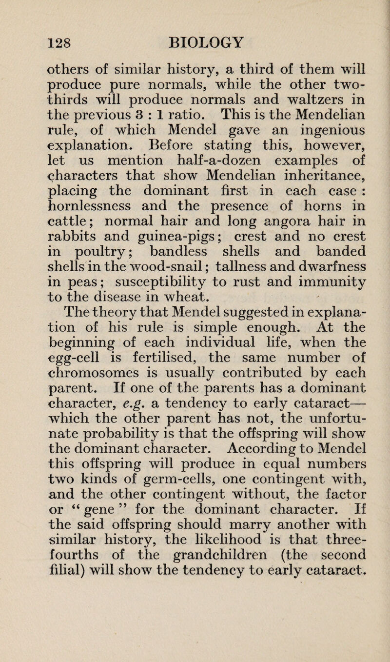 others of similar history, a third of them will produce pure normals, while the other two- thirds will produce normals and waltzers in the previous 3 : 1 ratio. This is the Mendelian rule, of which Mendel gave an ingenious explanation. Before stating this, however, let us mention half-a-dozen examples of characters that show Mendelian inheritance, placing the dominant first in each case : hornlessness and the presence of horns in cattle; normal hair and long angora hair in rabbits and guinea-pigs; crest and no crest in poultry; bandless shells and banded shells in the wood-snail; tallness and dwarfness in peas; susceptibility to rust and immunity to the disease in wheat. The theory that Mendel suggested in explana¬ tion of his rule is simple enough. At the beginning of each individual life, when the egg-cell is fertilised, the same number of chromosomes is usually contributed by each parent. If one of the parents has a dominant character, e.g. a tendency to early cataract— which the other parent has not, the unfortu¬ nate probability is that the offspring will show the dominant character. According to Mendel this offspring will produce in equal numbers two kinds of germ-cells, one contingent with, and the other contingent without, the factor or “ gene ” for the dominant character. If the said offspring should marry another with similar history, the likelihood is that three- fourths of the grandchildren (the second filial) will show the tendency to early cataract.