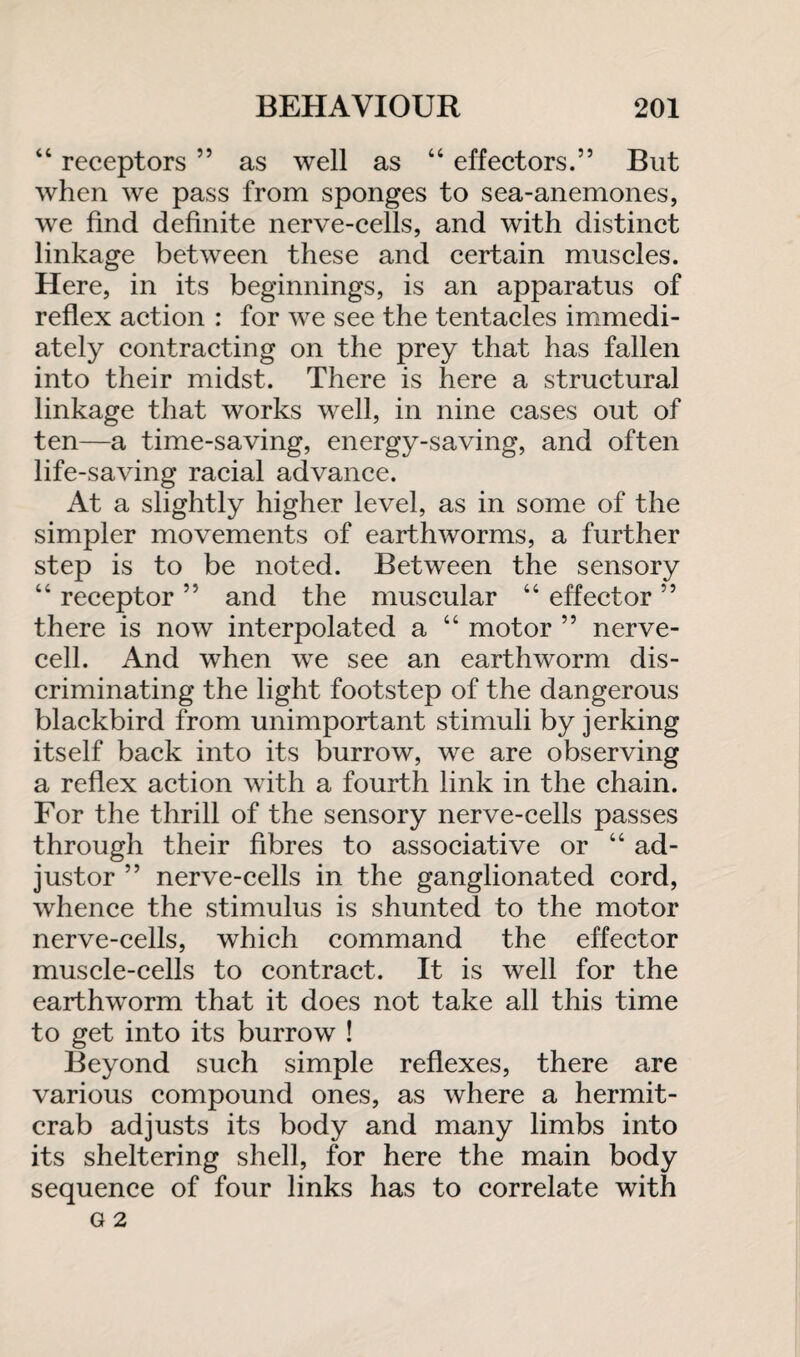 “ receptors ” as well as “ effectors.” But when we pass from sponges to sea-anemones, we find definite nerve-cells, and with distinct linkage between these and certain muscles. Here, in its beginnings, is an apparatus of reflex action : for we see the tentacles immedi¬ ately contracting on the prey that has fallen into their midst. There is here a structural linkage that works well, in nine cases out of ten—a time-saving, energy-saving, and often life-saving racial advance. At a slightly higher level, as in some of the simpler movements of earthworms, a further step is to be noted. Between the sensory “ receptor ” and the muscular “ effector ” there is now interpolated a “ motor ” nerve¬ cell. And when we see an earthworm dis¬ criminating the light footstep of the dangerous blackbird from unimportant stimuli by jerking itself back into its burrow, we are observing a reflex action with a fourth link in the chain. For the thrill of the sensory nerve-cells passes through their fibres to associative or “ ad¬ justor ” nerve-cells in the ganglionated cord, whence the stimulus is shunted to the motor nerve-cells, which command the effector muscle-cells to contract. It is well for the earthworm that it does not take all this time to get into its burrow ! Beyond such simple reflexes, there are various compound ones, as where a hermit- crab adjusts its body and many limbs into its sheltering shell, for here the main body sequence of four links has to correlate with