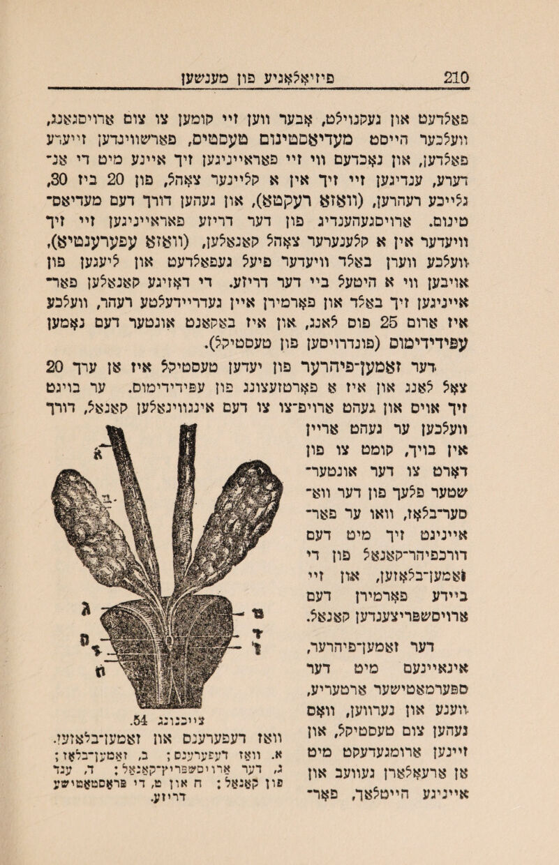 210 םיזיא׳צאגיע פון מענ^עען פאיצדעט און געתנויאט, אבער װען זײ קומע! צו צום ארויסגאנג, װע^כער הײסט מעדי§ןוםטינום טעםטיס, פארשװינדען זײערע פאיצדען, און נאכדעם װי זײ פאראײניגען זיך אײנע מיט די אנ״ דערע, ענריגען זײ זיך אין א קיצײנער צאה^, פון 20 ביז 30, גצײכע רעהרען, (װאזא רעקטא), און געהען דורך דעם מעדיאס־ טינום. אדויםגעהענדיג פון דער דריזע פאראײניגען זײ זיך װיעדער אין א קצענערער צאהיצ קאנאיצען, (װאז^ עפערענטיא), ־װעצכע װערן באצד װיעדער פיעצ געפאיצדעט און יציעגען פון אויבען װי א היטעצ בײ דער דריזע. די דאזיגע קאנאיצען פאר• אײניגען זיך בא^ד און פארמירן אײן געדרײדע^טע רעהר, װעיצכע איז ארום 25 פום אאנג, .און איז באקאנט אונטער דעם נאמען עפידידימום (פונדרויסען פון סעםטיקצ). דער זאמעךפיהרער, אינאײנעם מיט דער ספערמאטישער ארטעריע, .װענע און נערװען, װאם נעהען צום טעםטיקיצ, און זײנען ארומגעדעקט מיט אן ארעאצארן געװעב און אײניגע הײטצאך, פאר־ דער זאמעךפיהרער פון יעדען טעסטיק^ איז אן ערך 20 צאצ ^אנג און איז א פארטזעצונג פון עפידידימוס. ער בויגט זיך אויס און געהט ארויפ־צו צו דעם אינגװינאאען קאנאיצ, דורך װעצכען ער געהט ארײן אין בויך, קומט צו פון דארט צו דער אונטער־ שטער פיצעך פון דער װא־ םער־ביצאז, װאו ער פאר־ אײניגט זיך מיט דעם דורכפיהד־קאנאיצ פון די ןאמען־ביצאזען, א>ון זײ בײדע פארמירן דעם ארויסשפריצענדען קאנאיצ. צײכנונג 54. װאז דעפערענס און זאמען־בלאזעז. א. װאז דעפערענס ן ב, זאמען־בלאז; ג, דער ארויסשפרוץ־קאנ^ל; ה ענד פון קאנאל; ח און ט, די פראסטאטישע דריזע.