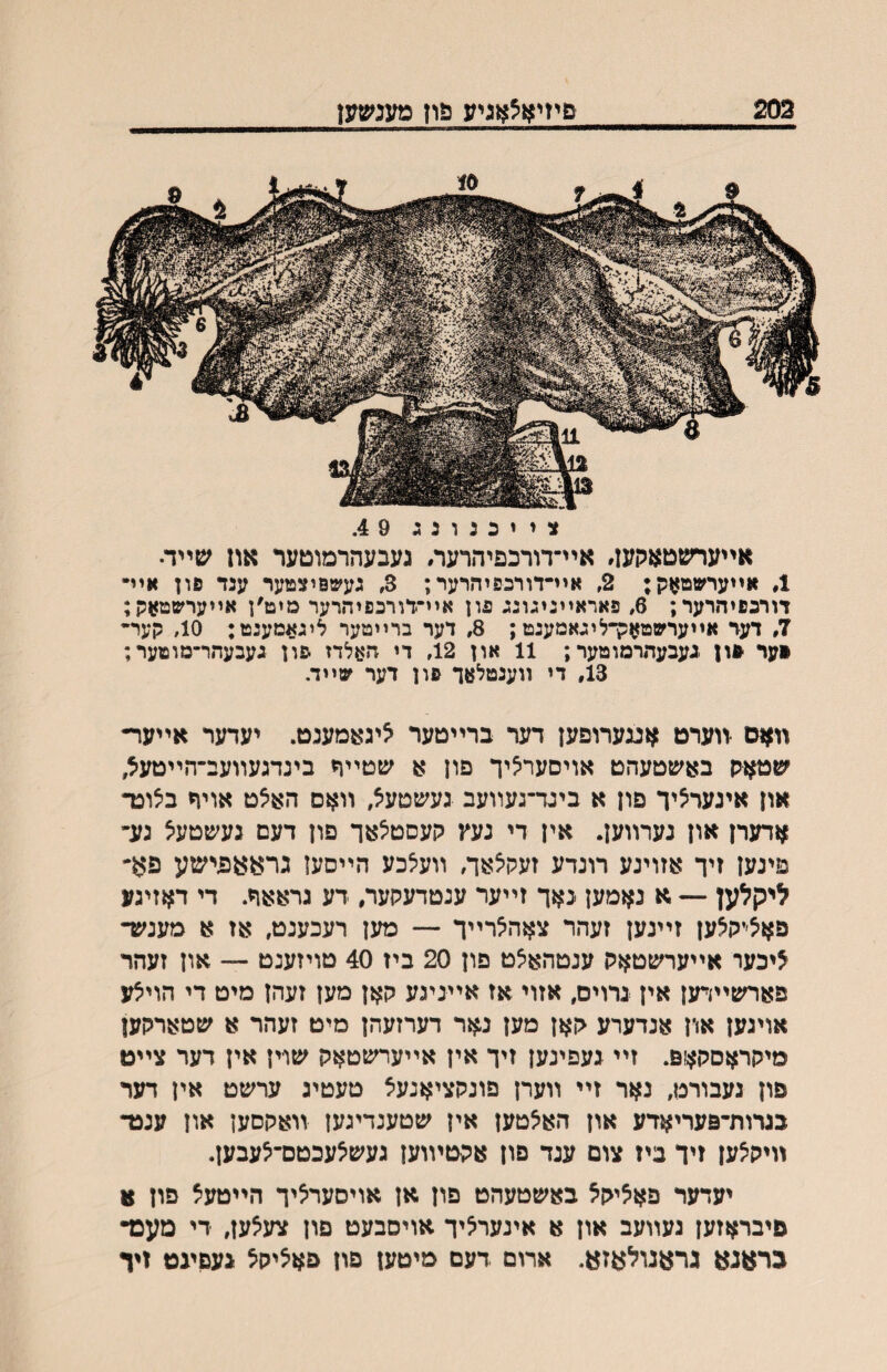 202 פיזיא^אגיע פון מענשעז צ י י כ נ ו נ ג 9 4. אײערשטאהעז״ איײדורכפיהרעה געבעהרמוטער אוז שײד• 1, אײערשמאק; 2, אײ־דורכפיהרער; 3, נעשפיצמער ענד פון אײ• דורכםיחרער; 6, פאראײגיגוגג פון אײ״דורכפיהרער מיט׳ן אײערשטאק; 7, דעד אײערשטןןק־ליגאמעגט; 8, דער ברײטער ליגאמעגט; 10, קעײ •ער .געבעתרמוטער; 11 און 12, די האלדז יפון געבעהר־מוטער; 13, די װענטלאך פון דער שײד, װאם •װערט אננערופען דער ברײטער איגאמענט. יעדער אײער• שטאס באשטעהט אויסערליך פון א שטײח בינרגעװעב־הײטעצ, און אינערליך פון א ביגר־געװעב געשטעל, װאס האלט אויח בלונר אדערן און נערװען. אין די נעץ קעסטיצאך פון דעם געשטעל גע־ פינען זיך אזוינע רונדע זעקלאך, װעלכע הײםעז גראאפישע פא- ליקלעז — א נאמען נאך זײער ענטדעקער, דע גראאח. די דאזיגע פאל׳יקלען זײנען זעהר צאהלרײך מען רעכענט, אז א מענעד ^יכער אײערשטאק ענטהאלט פון 20 ביז 40 טויזענט — און זעהר פארשיװיען אין גרוים, אזוי אז אײניגע קאן מען זעהן מיט די הוילע אויגען און אנדערע קאן מען נ^זר דערזעהן מיט זעהר א שטארקען מיקראםק^ןפ. זײ געפינען זיד אין אײערשטאק שו־ין אין דער צײט פון געבורט, נאר זײ װערן פונקציאנעצ טעטיג ערשט אין דער בגרות־פעריאדע און האלטען אין שטענדיגען װאקסען און ענט־ װיקלען זיך ביז צום ענד פון אקטױוען געשלעכטם־לעבען. יעדער פאליקצ באשטעהט פון אן אויסערציך הײטעל פון א םיבראזען געװעב און א אינערציך אויסבעט פון צעצען, די מעפד גראנא גראנולאזא. ארום דעם מיטען פון פאציקצ געםיגט זיד