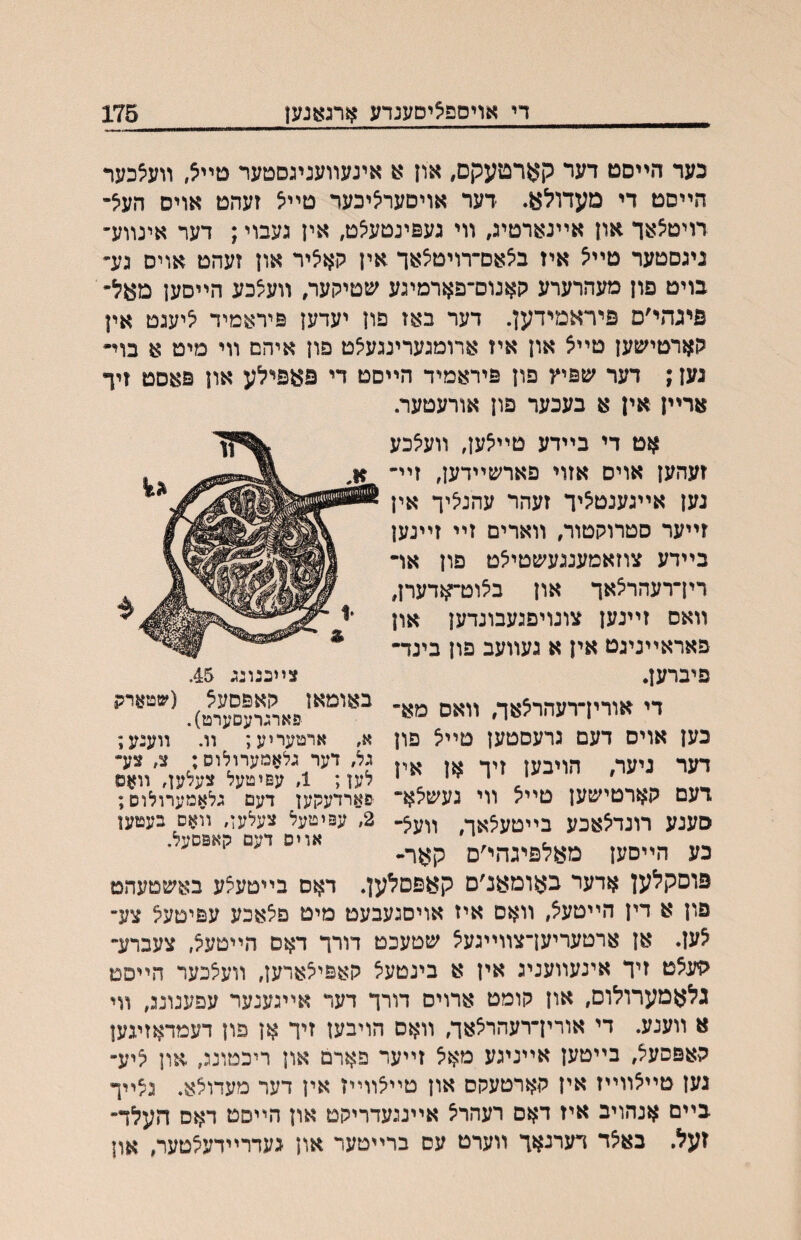די אויספאיסעגרע ארגאנען 175 כער הײסט דער קארטעקם, און א אינעװעניגסטער טײא, װעצכער הײסט די מעדולא. דער אויסערי^יכער טײיצ זעהט אויס העצ־ רויט^אך און אײנארטיג, װי געפינטעיצט, אין געבוי; דער אינװע־ גיגסטער טײצ איז ב^אס־רויט^אך אין קאציר און זעהט אויס גע״ בויט פון מעהרערע קאנום־פארמיגע שטיקער, װעלכע הײםען מאל״ פיגהי׳ם פיראמידען. דער באז פון יעדען פיראמיד ליעגט אין קארטישען טײצ און איז ארומגערינגעלט פון איהם װי מיט א בוי• גען; דער שפיץ פון פיראמיד הײםט די פאפילע און פאםט זיך ארײן אין א בעכער פון אורעטער. אט די בײדע טײצען, װעצכע זעהען אויס אזוי פארשײדען, זײ־ נען אײגענטציך זעהר עהנציך אין זײער סטרוקטור, װארים זײ זײנען בײדע צוזאמענגעשטיצט פון אױ רין־רעהרצאך און בצוט־יאדערן, װאס זײנען צונויפגעבונדען און פאראײניגט אין א געװעב פון בינד• פיברען. צײכגונג 45. די אורין־רעהרצאך, װאס מא־ כען אוים דעם גרעםטען טײצ פון דער ניער, הויבען זיך אן אין דעם קארטישען טײצ װי געשצא־ סענע רונדצאכע בײטעצאך, װעצ־ כע הײסען מאלפיגהי׳ם קאר- באומאן קאפסעצ (שטארק פארגרעםערט). א, ארטעריע; װ. װענע; גל, דער גלאמערולוס; צ, צע״ לען; 1, עפיטעל צעלען, װאס פארדעקען דעם גלאמערולוס; 2, עפיטעל צעלען, װאס בעטען אויס דעם קאפסעל. פוםקלען אדער כאומאנ׳ם קעפםלען. דאס בײטעצע באשטעהט פון א דין הייטעצ, װאם איז אויסגעבעט מיט פצאכע עפיטעצ צע־ צען. אן ארטעריען־צװײגעצ שטעכט דורך דאם הײטעצ, צעברע־ קיעצט זיך אינעװעניג אין א בינטעצ קאפיצארען, װעצכער הײסט גלאמערולום, און קומט ארויס דורך דער אײגענער עפענונג, װי א װענע. די אורין־רעהרצאך, װאס הויבען זיך אן פון דעמדאזיגען קאפסעצ, בײטען אײניגע מאצ זײער פארם און ריכטונג, און ציע־ גען טײצװײז אין קארטעקס און טײצװײז אין דער מעדוצא. גצײך בײם אנהויב איז דאס רעהרצ אײנגעדריקט און הײסט דאם העלד־ זעל. באצד דערנאך װערט עס ברײטער און געדרײדעצטער, און