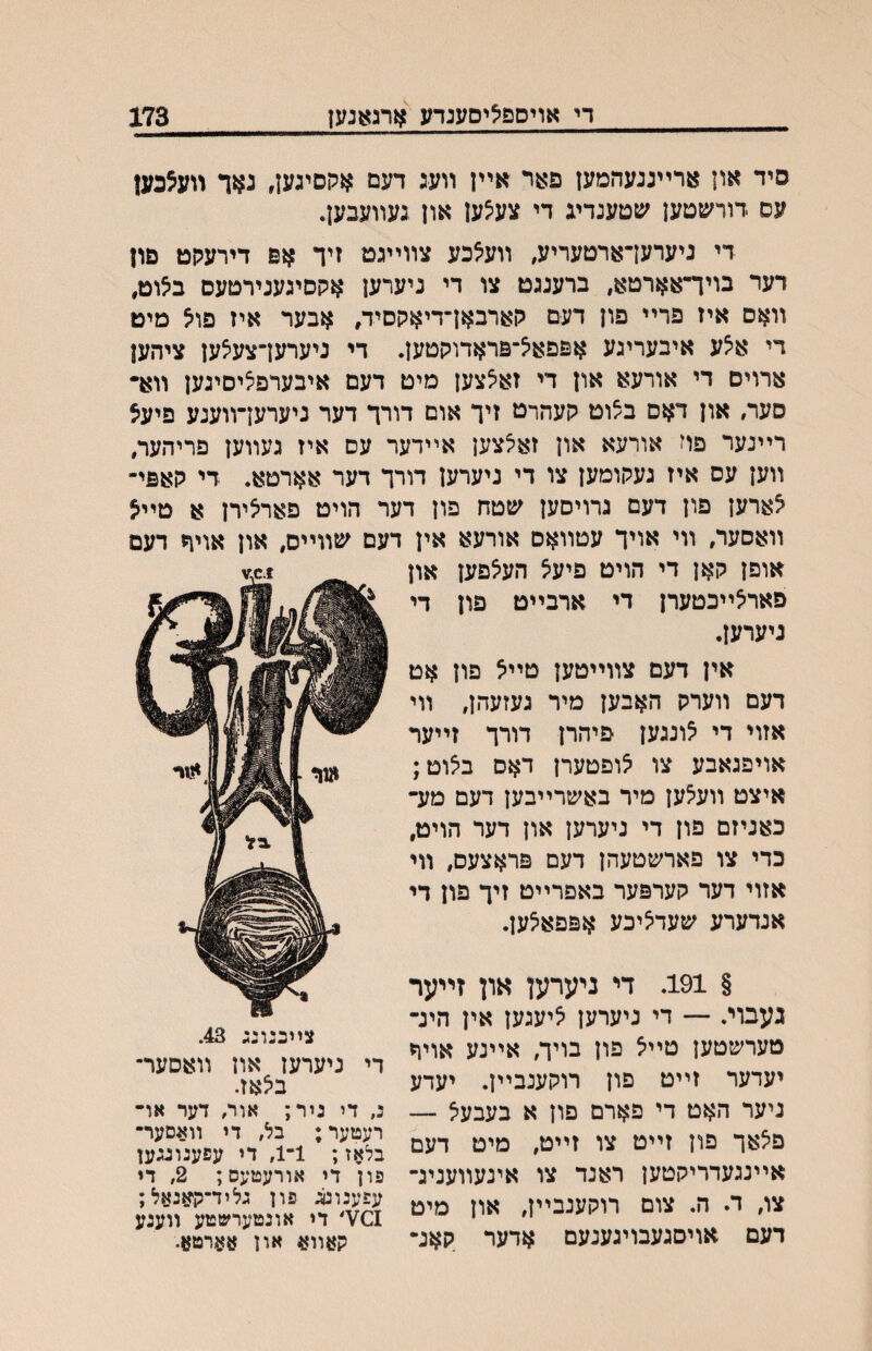 די אויספציסעגדע ארגאנען 173 סיד און ארײננעהמען פאר אײן װעג דעם אקסיגען, נאד װעצכען עס דורשטען עןטענדע די צע^ען און נעװעבען. די ניערעךארטעריע, װעיצכע צװײגט זיד אפ דירעקט םון דער בויױאארטא, ברענגט צו די ניערען אקסיגענירטעס באוט, װאס איז פרײ פון דעם קארבאן״דיאקסיד, אבער איז פוצ מיט די אי5ע איבעריגע אפפאױפראדוקטען. די ניערעךצעצען ציהען ארויס די אורעא און די זאיצצען מיט דעם איבערפציסיגען װא• סעה און דאם בצוט קעהרט זיך אום דורך דער ניערעךװענע פיעצ רײנער פוז אורעא און זאיצצען אײדער עם איז געװען פריהער, װען עם איז געקומען צו די ניערען דורך דער אארטא. די קאפי״ אארען פון דעם גרויסען ^טטח פון דער הויט פאראירן א טײ^! װאסער, װי אויך עטװאם אורעא אין דעם ^צזװײס, און אויףי דעם אופן קאן די הויט פיעיצ הע^פען און פאראײכטערן די ארבײט פון די ניערען. אין דעם צװײטען טײא פון אט דעם װערק האבען מיר געזעהן, װי אזוי די ?ונגען פיהרן דורך זײער אויפגאבע צו אופטערן דאס בצוט; איצט װע^ען מיר באשרײבען דעם מע־ כאניזם פון די ניערען און דער הויט, כדי צו פארשטעהן דעם פראצעס, װי אזוי דער קערפער באפרײט זיך פון די אנדערע שעדאיכע אפפאצען. § 191. די ניערען און זײער געבוי. — די ניערען יציעגען אין הינ־ מערשטען טײיצ פון בויך איינע אויר יעדער זײט פון רוקענבײן. יעדע ניער האט די פארם פון א בעבעיצ —־ פ^אך פון זײט צו זייט, מיט דעם אײנגעדריקטען דאנד צו אינעװעניג־ צו, ד. ה. צום רוקענבײן, און מיט דעם אויםגעבויגענעם אדער קאנ• צײכנונג 43. די ניערעז אוז װאסער״ ב^אז. נ, די ניר; אור, דער או- רעטער; בל, די װאסער־ בלאז; 1־4 די עפענונגען פון די אורעטעס; 2, די עפענוסג פון גליד־קיאנאל; ¥€1׳ די אונטערשטע װענע האװא און אארטע.
