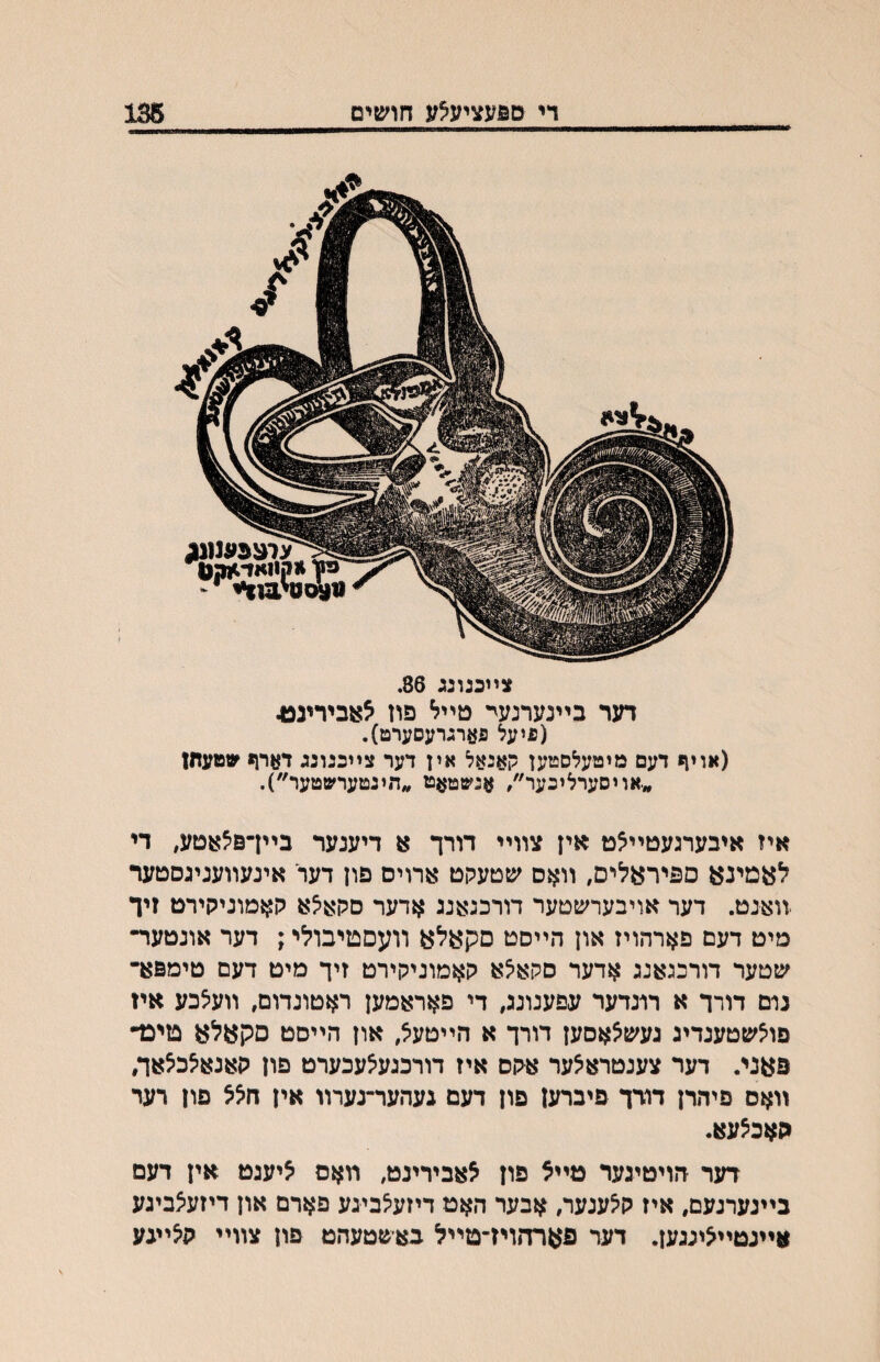 די םפעציעצע חושים 135 צײכגונג 86. דער בײנערנעי טײל פוז אאבירינפ^ (פיעל פארגרעסערט). (אוין* דעם מיטעלסטען קאגאל אין דער צײכנונג דארן* שטעתן ״.אויסערליכער׳/ אנשטןןט ״הינטערשטער״). איז איבערגעטײלט ^יז צװײ דורך א דיענער בײךפלן^טע, די לעמינ^ ספירעליס, װאס שטעקט ארויס פון דער אינעװעניגסטער װצנט. דער אויבערשטער דורכגי^נג אדער סקאלא ק^ןמוניקירט זיך מיט דעם פארהויז און הײסט סקעלע װעסטיבולי; דער אונטעו״ שטער דורכגאנג אדער סקאלא קאמוניקירט זיך מיט דעם טימפא־ גום דורך א מנדער עפענונג, די פאראמען ראטונדום, װעלכע איז פולשטענדיג געשלאםען דורך א הײטעל, און הײםט םקאל^ פזימ״ פ^ני. דער צענטראלער אקס איז דורכגעלעכערט פון קאנאלכלןזה װאס פיהדן דודך פיברען פון דעם געהער־נערװ אין חלל פון רער האכלעא. דער הויטיגער טײל פון לאבירינט, װאס ליעגט אין דעם בײנערנעם, איז קלענעה אבער האט דיזעלביגע פארם און דיזעצביגע אײנטײליגגען. דער פארהויז־מײל באשטעהט פון צװײ קלײגע