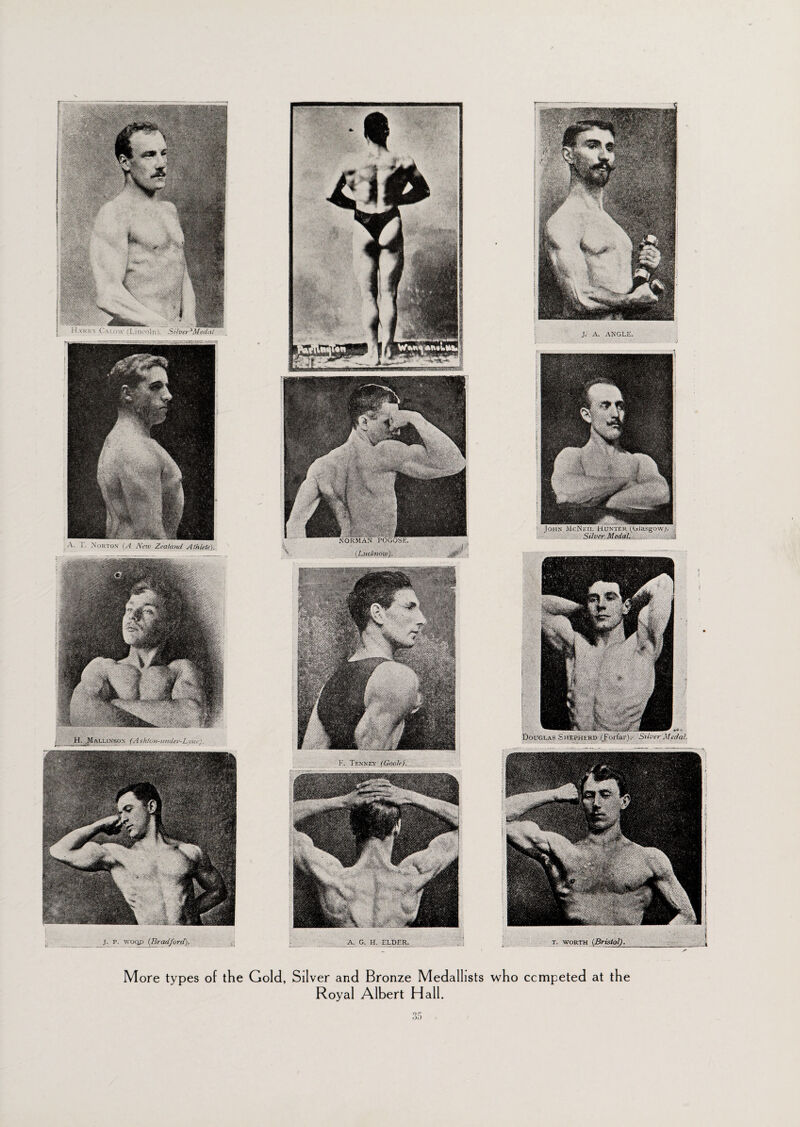 H. Mau.in'son (AshlGn-ttnticr-LvM j. p. v,oqp {Bradford). More types of the Gold, Silver and Bronze Medallists who competed at the Royal Albert Hall.