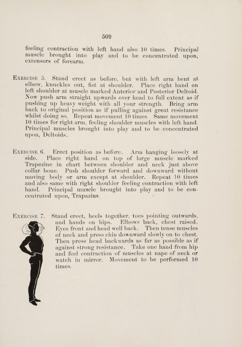 feeling contraction with left hand also 10 times. Principal muscle brought into play and to be concentrated upon, extensors of forearm. Exercise 5. Stand erect as before, but with left arm bent at elbow, knuckles out, fist at shoulder. Place right hand on left shoulder at muscle marked Anterior and Posterior Deltoid. Now push arm straight upwards over head to full extent as if pushing up heavy weight with all your strength. Bring arm back to original position as if pulling against great resistance whilst doing so. Pepeat movement 10 times. Same movement 10 times for right arm, feeling shoulder muscles with left hand. Principal muscles brought into play and to be concentrated upon, Deltoids. Exercise 6. Erect position as before. Arm hanging loosely at side. Place right hand on top of large muscle marked Trapezine in chart between shoulder and neck just above collar bone. Push shoulder forward and downward without moving body or arm except at shoulder. Repeat 10 times and also same with right shoulder feeling contraction with left hand. Principal muscle brought into play and to be con¬ centrated upon, Trapazius. Stand erect, heels together, toes pointing outwards, and hands on hips. Elbows back, chest raised. Eves front and head well back. Then tense muscles *• of neck and press chin downward slowly on to chest. Then press head backwards as far as possible as if against strong resistance. Take one hand from hip and feel contraction of muscles at nape of neck or watch in mirror. Movement to be performed 10 times.