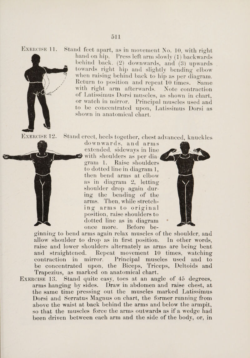 Exercise 11. Stand feet apart, as in movement No. 10, with right hand on hip. Press left arm slowly (1) backwards behind back. (2) downwards, and (3) upwards towards right hip and slightly bending elbow when raising behind back to hip as per diagram. Return to position and repeat 10 times. Same with right arm afterwards. Note contraction of Latissimus Dorsi muscles, as shown in chart, or watch in mirror. Principal muscles used and to be concentrated upon, Latissimus Dorsi as shown in anatomical chart. Exercise 12. Stand erect, heels together, chest advanced, knuckles downwards, and arms extended, sideways in line with shoulders as per dia¬ gram 1. Raise shoulders to dotted line in diagram 1, then bend arms at elbow as in diagram 2, letting shoulder drop again dur¬ ing the bending of the arms. Then, while stretch- i n g arms to original position, raise shoulders to dotted line as in diagram once more. Before be¬ ginning to bend arms again relax muscles of the shoulder, and allow shoulder to drop as in first position. In other words, raise and lower shoulders alternately as arms are being bent and straightened. Repeat movement 10 times, watching contraction in mirror. Principal muscles used and to be concentrated upon, the Biceps, Triceps, Deltoids and Trapezius, as marked on anatomical chart. Exercise 13. Stand quite easy, toes at an angle of 45 degrees, arms hanging by sides. Draw in abdomen and raise chest, at the same time pressing out the muscles marked Latissimus Dorsi and Serratus Magnus on chart, the former running from above the waist at back behind the arms and below7 the armpit, so that the muscles force the arms outwrards as if a wedge had been driven between each arm and the side of the body, or, in