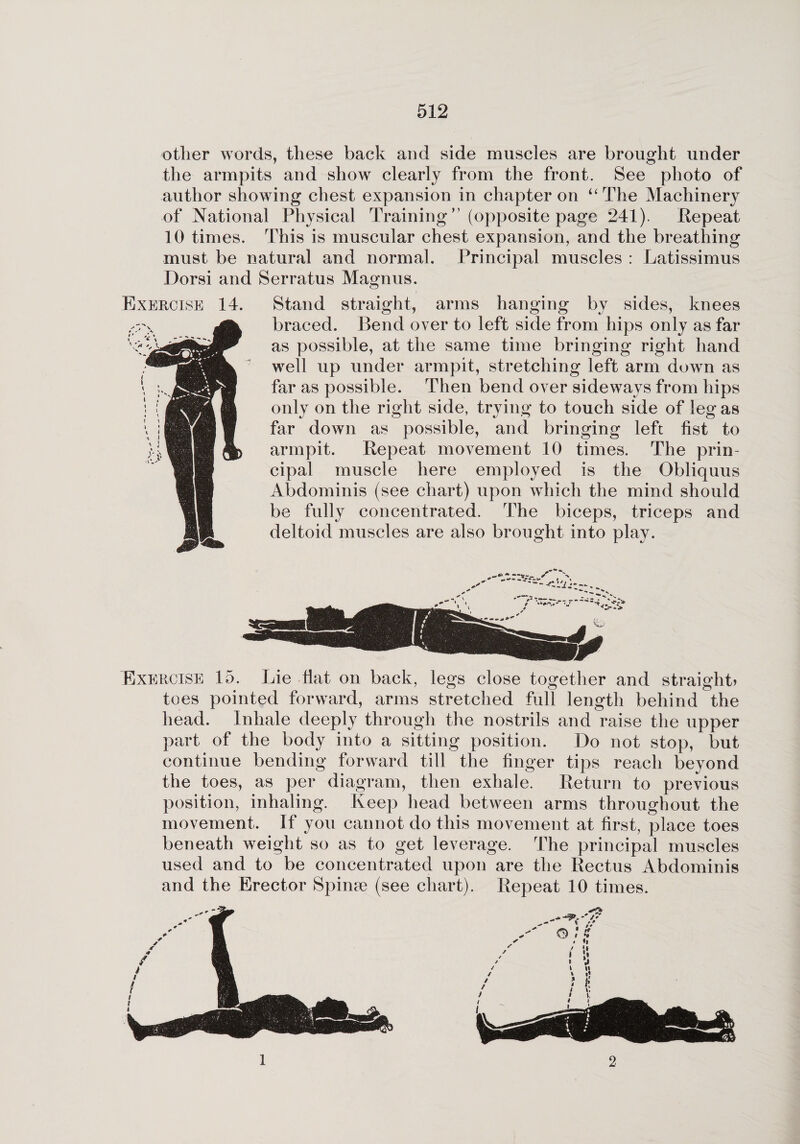 other words, these back and side muscles are brought under the armpits and show clearly from the front. See photo of author showing chest expansion in chapter on “ The Machinery of National Physical Training ” (opposite page 241). Repeat 10 times. This is muscular chest expansion, and the breathing must be natural and normal. Principal muscles : Latissimus Dorsi and Serratus Magnus. Exercise 14. Stand straight, arms hanging by sides, knees braced. Bend over to left side from hips only as far as possible, at the same time bringing right hand well up under armpit, stretching left arm down as far as possible. Then bend over sideways from hips only on the right side, trying to touch side of leg as far down as possible, and bringing left fist to armpit. Repeat movement 10 times. The prin¬ cipal muscle here employed is the Obliquus Abdominis (see chart) upon which the mind should be fully concentrated. The biceps, triceps and deltoid muscles are also brought into play. Exercise 15. Lie flat on back, legs close together and straight? toes pointed forward, arms stretched full length behind the head. Inhale deeply through the nostrils and raise the upper part of the body into a sitting position. Do not stop, but continue bending forward till the finger tips reach beyond the toes, as per diagram, then exhale. Return to previous position, inhaling. Keep head between arms throughout the movement. If you cannot do this movement at first, place toes beneath weight so as to get leverage. The principal muscles used and to be concentrated upon are the Rectus Abdominis and the Erector Spime (see chart). Repeat 10 times. l 2