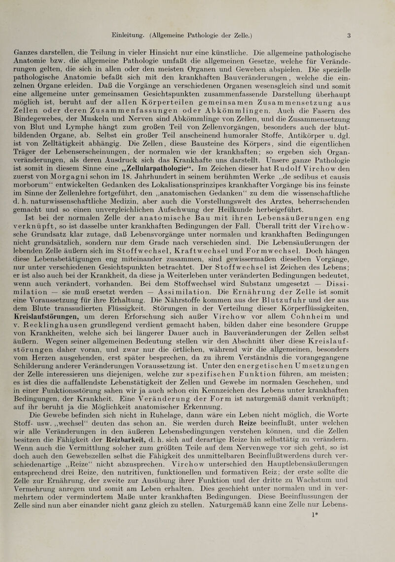 Ganzes darstellen, die Teilung in vieler Hinsicht nur eine künstliche. Die allgemeine pathologische Anatomie bzw. die allgemeine Pathologie umfaßt die allgemeinen Gesetze, welche für Verände¬ rungen gelten, die sich in allen oder den meisten Organen und Geweben abspielen. Die spezielle pathologische Anatomie befaßt sich mit den krankhaften Bauveränderungen, welche die ein¬ zelnen Organe erleiden. Daß die Vorgänge an verschiedenen Organen wesensgleich sind und somit eine allgemeine unter gemeinsamen Gesichtspunkten zusammenfassende Darstellung überhaupt möglich ist, beruht auf der allen Körperteilen gemeinsamen Zusammensetzung aus Zellen oder deren Zusammenfassungen oder Abkömmlingen. Auch die Fasern des Bindegewebes, der Muskeln und Nerven sind Abkömmlinge von Zellen, und die Zusammensetzung von Blut und Lymphe hängt zum großen Teil von Zellenvorgängen, besonders auch der blut¬ bildenden Organe, ab. Selbst ein großer Teil anscheinend humoraler Stoffe, Antikörper u. dgl. ist von Zelltätigkeit abhängig. Die Zellen, diese Bausteine des Körpers, sind die eigentlichen Träger der Lebenserscheinungen, der normalen wie der krankhaften; so ergeben sich Organ¬ veränderungen, als deren Ausdruck sich das Krankhafte uns darstellt. Unsere ganze Pathologie ist somit in diesem Sinne eine „Zellularpathologie“. Im Zeichen dieser hat Rudolf Virchow den zuerst von Morgagni schon im 18. Jahrhundert in seinem berühmten Werke ,,de sedibus et causis morborum“ entwickelten Gedanken des Lokalisationsprinzipes krankhafter Vorgänge bis ins feinste im Sinne der Zellenlehre fortgeführt, den „anatomischen Gedanken“ zu dem die wissenschaftliche d. h. naturwissenschaftliche Medizin, aber auch die Vorstellungswelt des Arztes, beherrschenden gemacht und so einen unvergleichlichen Aufschwung der Heilkunde herbeigeführt. Ist bei der normalen Zelle der anatomische Bau mit ihren Lebensäußerungen eng verknüpft, so ist dasselbe unter krankhaften Bedingungen der Fall. Überall tritt der Virchow- sche Grundsatz klar zutage, daß Lebensvorgänge unter normalen und krankhaften Bedingungen nicht grundsätzlich, sondern nur dem Grade nach verschieden sind. Die Lebensäußerungen der lebenden Zelle äußern sich im Stoffwechsel, Kraftwechsel und Formwechsel. Doch hängen diese Lebensbetätigungen eng miteinander zusammen, sind gewissermaßen dieselben Vorgänge, nur unter verschiedenen Gesichtspunkten betrachtet. Der Stoffwechsel ist Zeichen des Lebens; er ist also auch bei der Krankheit, da diese ja Weiterleben unter veränderten Bedingungen bedeutet, wenn auch verändert, vorhanden. Bei dem Stoffwechsel wird Substanz umgesetzt — Dissi¬ milation — sie muß ersetzt werden — Assimilation. Die Ernährung der Zelle ist somit eine Voraussetzung für ihre Erhaltung. Die Nährstoffe kommen aus der Blutzufuhr und der aus dem Blute transsudierten Flüssigkeit. Störungen in der Verteilung dieser Körperflüssigkeiten, Kreislaufstörungen, um deren Erforschung sich außer Virchow vor allem Cohnheim und v. Recklinghausen grundlegend verdient gemacht haben, bilden daher eine besondere Gruppe von Krankheiten, welche sich bei längerer Dauer auch in Bauveränderungen der Zellen selbst äußern. Wegen seiner allgemeinen Bedeutung stellen wir den Abschnitt über diese Kreislauf¬ störungen daher voran, und zwar nur die örtlichen, während wir die allgemeinen, besonders vom Herzen ausgehenden, erst später besprechen, da zu ihrem Verständnis die vorangegangene Schilderung anderer Veränderungen Voraussetzung ist. Unter den energetischen Umsetzungen der Zelle interessieren uns diejenigen, welche zur spezifischen Funktion führen, am meisten; es ist dies die aaffallendste Lebenstätigkeit der Zellen und Gewebe im normalen Geschehen, und in einer Funktionsstörung sahen wir ja auch schon ein Kennzeichen des Lebens unter krankhaften Bedingungen, der Krankheit. Eine Veränderung der Form ist naturgemäß damit verknüpft; auf ihr beruht ja die Möglichkeit anatomischer Erkennung. Die Gewebe befinden sich nicht in Ruhelage, dann wäre ein Leben nicht möglich, die Worte Stoff- usw. „Wechsel“ deuten das schon an. Sie werden durch Reize beeinflußt, unter welchen wir alle Veränderungen in den äußeren Lebensbedingungen verstehen können, und die Zellen besitzen die Fähigkeit der Reizbarkeit, d. h. sich auf derartige Reize hin selbsttätig zu verändern. Wenn auch die Vermittlung solcher zum größten Teile auf dem Nervenwege vor sich geht, so ist doch auch den Gewebszellen selbst die Fähigkeit des unmittelbaren Beeinflußtwerdens durch ver¬ schiedenartige „Reize“ nicht abzusprechen. Virchow unterschied den Hauptlebensäußerungen entsprechend drei Reize, den nutritiven, funktionellen und formativen Reiz; der erste sollte die Zelle zur Ernährung, der zweite zur Ausübung ihrer Funktion und der dritte zu Wachstum und Vermehrung anregen und somit am Leben erhalten. Dies geschieht unter normalen und in ver¬ mehrtem oder vermindertem Maße unter krankhaften Bedingungen. Diese Beeinflussungen der Zelle sind nun aber einander nicht ganz gleich zu stellen. Naturgemäß kann eine Zelle nur Lebens- 1*