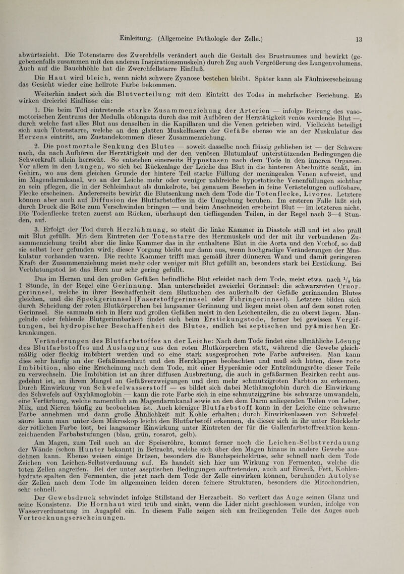 abwärtszieht. Die Totenstarre des Zwerchfells verändert auch die Gestalt des Brustraumes und bewirkt (ge¬ gebenenfalls zusammen mit den anderen Inspirationsmuskeln) durch Zug auch Vergrößerung des Lungenvolumens. Auch auf die Bauchhöhle hat die Zwerchfellstarre Einfluß. Die Haut wird bleich, wenn nicht schwere Zyanose bestehen bleibt. Später kann als Fäulniserscheinung das Gesicht wieder eine hellrote Farbe bekommen. Weiterhin ändert sich die Blutverteilung mit dem Eintritt des Todes in mehrfacher Beziehung. Es wirken dreierlei Einflüsse ein: 1. Die beim Tod eintretende starke Zusammenziehung der Arterien — infolge Reizung des vaso¬ motorischen Zentrums der Medulla oblongata durch das mit Aufhören der Herztätigkeit venös werdende Blut_, durch welche fast alles Blut aus denselben in die Kapillaren und die Venen getrieben wird. Vielleicht beteiligt sich auch Totenstarre, welche an den glatten Muskelfasern der Gefäße ebenso wie an der Muskulatur des Herzens eintritt, am Zustandekommen dieser Zusammenziehung. 2. Die postmortale Senkung des Blutes — soweit dasselbe noch flüssig geblieben ist — der Schwere nach, da nach Aufhören der Herztätigkeit und der den venösen Blutumlauf unterstützenden Bedingungen die Schwerkraft allein herrscht. So entstehen einerseits Hypostasen nach dem Tode in den inneren Organen. Vor allem in den Lungen, wo sich bei Rückenlage der Leiche das Blut in die hinteren Abschnitte senkt, im Gehirn, wo aus dem gleichen Grunde der hintere Teil starke Füllung der meningealen Venen auf weist, und im Magendarmkanal, wo an der Leiche mehr oder weniger zahlreiche hypostatische Venenfüllungen sichtbar zu sein pflegen, die in der Schleimhaut als dunkelrote, bei genauem Besehen in feine Verästelungen auflösbare, Flecke erscheinen. Andererseits bewirkt die Blutsenkung nach dem Tode die Totenflecke, Livores. Letztere können aber auch auf Diffusion des Blutfarbstoffes in die Umgebung beruhen. Im ersteren Falle läßt sich durch Druck die Röte zum Verschwinden bringen — und beim Anschneiden erscheint Blut — im letzteren nicht. Die Todenflecke treten zuerst am Rücken, überhaupt den tiefliegenden Teilen, in der Regel nach 3—4 Stun¬ den, auf. 3. Erfolgt der Tod durch Herzlähmung, so steht die linke Kammer in Diastole still und ist also prall mit Blut gefüllt. Mit dem Eintreten der Totenstarre des Herzmuskels und der mit ihr verbundenen Zu- sammenziehung treibt aber die linke Kammer das in ihr enthaltene Blut in die Aorta und den Vorhof, so daß sie selbst leer gefunden wird; dieser Vorgang bleibt nur dann aus, wenn hochgradige Veränderungen der Mus¬ kulatur vorhanden waren. Die rechte Kammer trifft man gemäß ihrer dünneren Wand und damit geringeren Kraft der Zusammenziehung meist mehr oder weniger mit Blut gefüllt an, besonders stark bei Erstickung. Bei Verblutungstod ist das Herz nur sehr gering gefüllt. Das im Herzen und den großen Gefäßen befindliche Blut erleidet nach dem Tode, meist etwa nach 1/2 bis 1 Stunde, in der Regel eine Gerinnung. Man unterscheidet zweierlei Gerinnsel: die schwarzroten Cruor- gerinnsel, welche in ihrer Beschaffenheit dem Blutkuchen des außerhalb der Gefäße gerinnenden Blutes gleichen, und die Speckgerinnsel (Faserstoffgerinnsel oder Fibringerinnsel). Letztere bilden sich durch Scheidung der roten Blutkörperchen bei langsamer Gerinnung und liegen meist oben auf dem sonst roten Gerinnsel. Sie sammeln sich in Herz und großen Gefäßen meist in den Leichenteilen, die zu oberst liegen. Man¬ gelnde oder fehlende Blutgerinnbarkeit findet sich beim Erstickungstode, ferner bei gewissen Vergif¬ tungen, bei hydropischer Beschaffenheit des Blutes, endlich bei septischen und pyämischen Er¬ krankungen. Veränderungen des Blutfarbstoffes an der Leiche: Nach dem Tode findet eine allmähliche Lösung des Blutfarbstoffes und Auslaugung aus den roten Blutkörperchen statt, während die Gewebe gleich¬ mäßig oder fleckig imbibiert werden und so eine stark ausgesprochen rote Farbe auf weisen. Man kann dies sehr häufig an der Gefäßinnenhaut und den Herzklappen beobachten und muß sich hüten, diese rote Imbibition, also eine Erscheinung nach dem Tode, mit einer Hyperämie oder Entzündungsröte dieser Teile zu verwechseln. Die Imbibition ist an ihrer diffusen Ausbreitung, die auch in gefäßarmen Bezirken recht aus¬ gedehnt ist, an ihrem Mangel an Gefäß Verzweigungen und dem mehr schmutzigroten Farbton zu erkennen. Durch Einwirkung von Schwefelwasserstoff — es bildet sich dabei Methämoglobin durch die Einwirkung des Schwefels auf Oxyhämoglobin — kann die rote Farbe sich in eine schmutziggrüne bis schwarze umwandeln, eine Verfärbung, welche namentlich am Magendarmkanal sowie an den dem Darm anliegenden Teilen von Leber, Milz, und Nieren häufig zu beobachten ist. Auch körniger Blutfarbstoff kann in der Leiche eine schwarze Farbe annehmen und dann große Ähnlichkeit mit Kohle erhalten; durch Einwirkenlassen von Schwefel¬ säure kann man unter dem Mikroskop leicht den Blutfarbstoff erkennen, da dieser sich in ihr unter Rückkehr der rötlichen Farbe löst, bei langsamer Einwirkung unter Eintreten der für die Gallenfarbstoffreaktion kenn¬ zeichnenden Farbabstufungen (blau, grün, rosarot, gelb). Am Magen, zum Teil auch an der Speiseröhre, kommt ferner noch die Leichen-Selbstverdauung der Wände (schon Hunter bekannt) in Betracht, welche sich über den Magen hinaus in andere Gewebe aus¬ dehnen kann. Ebenso weisen einige Drüsen, besonders die Bauchspeicheldrüse, sehr schnell nach dem Tode Zeichen von Leichen-Selbstverdauung auf. Es handelt sich hier um Wirkung von Fermenten, welche die toten Zellen angreifen. Bei der unter aseptischen Bedingungen auftretenden, auch auf Eiweiß, Fett, Kohlen¬ hydrate spalten den Fermenten, die jetzt nach dem Tode der Zelle einwirken können, beruhenden Autolyse der Zellen nach dem Tode im allgemeinen leiden deren feinere Strukturen, besonders die Mitochondrien, sehr schnell. Der Gewebsdruck schwindet infolge Stillstand der Herzarbeit. So verliert das Auge seinen Glanz und seine Konsistenz. Die Hornhaut wird trüb und sinkt, wenn die Lider nicht geschlossen wurden, infolge von Wasserverdunstung im Augapfel ein. In diesem Falle zeigen sich am freiliegenden Teile des Auges auch V er tr o c kn ungs erschein ungen.