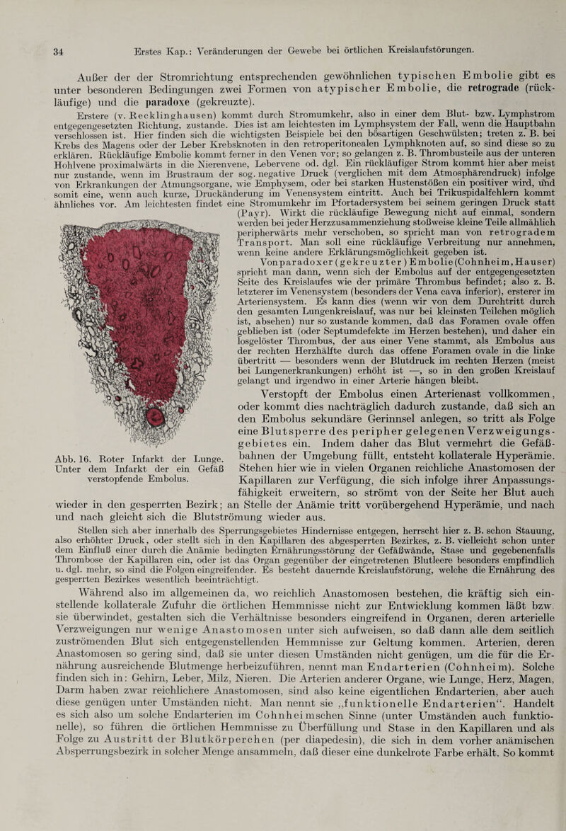 Außer der der Stromrichtung entsprechenden gewöhnlichen typischen Embolie gibt es unter besonderen Bedingungen zwei Formen von atypischer Embolie, die retrograde (rück¬ läufige) und die paradoxe (gekreuzte). Erstere (v. Recklinghausen) kommt durch Stromumkehr, also in einer dem Blut- bzw. Lymphstrom entgegengesetzten Richtung, zustande. Dies ist am leichtesten im Lymphsystem der Fall, wenn die Hauptbahn verschlossen ist. Hier finden sich die wichtigsten Beispiele bei den bösartigen Geschwülsten; treten z. B. bei Krebs des Magens oder der Leber Krebsknoten in den retroperitonealen Lymphknoten auf, so sind diese so zu erklären. Rückläufige Embolie kommt ferner in den Venen vor; so gelangen z. B. Thrombusteile aus der unteren Hohlvene proximalwärts in die Nierenvene, Lebervene od. dgl. Ein rückläufiger Strom kommt hier aber meist nur zustande, wenn im Brustraum der sog. negative Druck (verglichen mit dem Atmosphärendruck) infolge von Erkrankungen der Atmungsorgane, wie Emphysem, oder bei starken Hustenstößen ein positiver wird, ünd somit eine, wenn auch kurze, Druckänderung im Venensystem eint ritt. Auch bei Trikuspidalfehlern kommt ähnliches vor. Am leichtesten findet eine Stromumkehr im Pfortadersystem bei seinem geringen Druck statt (Payr). Wirkt die rückläufige Bewegung nicht auf einmal, sondern werden bei jeder Herzzusammenziehung stoßweise kleine Teile allmählich peripherwärts mehr verschoben, so spricht man von retrogradem Transport. Man soll eine rückläufige Verbreitung nur annehmen, wenn keine andere Erklärungsmöglichkeit gegeben ist. Von paradox er (gekreuzter) Embolie (Cohnheim, Hauser) spricht man dann, wenn sich der Embolus auf der entgegengesetzten Seite des Kreislaufes wie der primäre Thrombus befindet; also z. B. letzterer im Venensystem (besonders der Vena cava inferior), ersterer im Arteriensystem. Es kann dies (wenn wir von dem Durchtritt durch den gesamten Lungenkreislauf, was nur bei kleinsten Teilchen möglich ist, absehen) nur so zustande kommen, daß das Foramen ovale offen geblieben ist (oder Septumdefekte im Herzen bestehen), und daher ein losgelöster Thrombus, der aus einer Vene stammt, als Embolus aus der rechten Herzhälfte durch das offene Foramen ovale in die linke Übertritt — besonders wenn der Blutdruck im rechten Herzen (meist bei Lungenerkrankungen) erhöht ist —, so in den großen Kreislauf gelangt und irgendwo in einer Arterie hängen bleibt. Verstopft der Embolus einen Arterienast vollkommen, oder kommt dies nachträglich dadurch zustande, daß sich an den Embolus sekundäre Gerinnsel anlegen, so tritt als Folge eine Blut sperre des peripher gelegenen V erzweigungs- gebietes ein. Indem daher das Blut vermehrt die Gefäß - bahnen der Umgebung füllt, entsteht kollaterale Hyperämie. Stehen hier wie in vielen Organen reichliche Anastomosen der Kapillaren zur Verfügung, die sich infolge ihrer Anpassungs¬ fähigkeit erweitern, so strömt von der Seite her Blut auch wieder in den gesperrten Bezirk ; an Stelle der Anämie tritt vorübergehend Hyperämie, und nach und nach gleicht sich die Blutströmung wieder aus. Stellen sich aber innerhalb des Sperrungsgebietes Hindernisse entgegen, herrscht hier z. B. schon Stauung, also erhöhter Druck, oder stellt sich in den Kapillaren des abgesperrten Bezirkes, z. B. vielleicht schon unter dem Einfluß einer durch die Anämie bedingten Ernährungsstörung der Gefäßwände, Stase und gegebenenfalls Thrombose der Kapillaren ein, oder ist das Organ gegenüber der eingetretenen Blutleere besonders empfindlich u. dgl. mehr, so sind die Folgen eingreifender. Es besteht dauernde Kreislaufstörung, welche die Ernährung des gesperrten Bezirkes wesentlich beeinträchtigt. ms mL Abb. 16. Roter Infarkt der Lunge. Unter dem Infarkt der ein Gefäß verstopfende Embolus. Während also im allgemeinen da, wo reichlich Anastomosen bestehen, die kräftig sich ein¬ stellende kollaterale Zufuhr die örtlichen Hemmnisse nicht zur Entwicklung kommen läßt bzw. sie überwindet, gestalten sich die Verhältnisse besonders eingreifend in Organen, deren arterielle Verzweigungen nur wenige Anastomosen unter sich aufweisen, so daß dann alle dem seitlich zuströmenden Blut sich entgegenstellenden Hemmnisse zur Geltung kommen. Arterien, deren Anastomosen so gering sind, daß sie unter diesen LJmständen nicht genügen, um die für die Er¬ nährung ausreichende Blutmenge herbeizuführen, nennt man Enclarterien (Cohnheim). Solche finden sich in: Gehirn, Leber, Milz, Nieren. Die Arterien anderer Organe, wie Lunge, Herz, Magen, Darm haben zwar reichlichere Anastomosen, sind also keine eigentlichen Endarterien, aber auch diese genügen unter Umständen nicht. Man nennt sie ,,funktioneile Endarterien“. Handelt es sich also um solche Endarterien im Cohnhei mschen Sinne (unter Umständen auch funktio¬ nelle), so führen die örtlichen Hemmnisse zu Überfüllung und Stase in den Kapillaren und als Folge zu Austritt der Blutkörperchen (per diapedesin), die sich in dem vorher anämischen Absperrungsbezirk in solcher Menge ansammeln, daß dieser eine dunkelrote Farbe erhält. So kommt