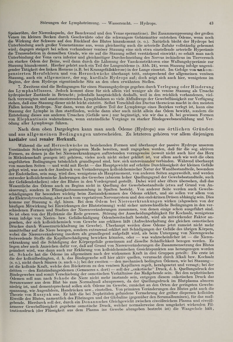 Speiseröhre, der Nierenkapseln, der Bauchwand und den Venae spermaticae). Bei Zusammenpressung der großen Venen im kleinen Becken durch Gleschwülste oder die schwangere Gebärmutter entstehen Ödeme, wenn noch die Wirkung der Schwere auf den Rücklauf des Blutes hinzukommt (s. o.). Natürlich bleibt der Hydrops bei Unterbindung auch großer Venenstämme aus, wenn gleichzeitig auch die arterielle Zufuhr vollständig gehemmt wird; dagegen steigert bei schon vorhandener venöser Stauung eine sich etwa einstellende arterielle Hyperämie die Transsudation in demselben Grade, wie sie auf die Stauung selbst verstärkend einwirkt; so erhält man nach Unterbindung der Vena cava inferior und gleichzeitiger Durchschneidung des Nervus ischiadicus im Tierversuch ein starkes Ödem der Beine, weil dann durch die Lähmung der Vasokonstriktoren eine Wallungshyperämie zur Stauung hinzukommt. Hierher gehört auch ein Teil der Lungenödeme (s. Abb. 24), wenn Stauung infolge ungenü¬ gender Tätigkeit des linken Herzens (z.B. bei Kranzgefäßsklerose) in der Lunge einsetzt. Im Gefolge von anko m - pensierten Herzfehlern und von Herzschwäche überhaupt tritt, entsprechend der allgemeinen venösen Stauung, auch ein allgemeiner, der sog. kardiale Hydrops auf; doch zeigt sich auch hier, wenigstens im Beginn, der dem Hydrops eigentümliche Sitz an den oben erwähnten Stellen. 7. Zweitens sind die Bedingungen für einen Stauungshydrops gegeben durch Verlegung oder Hinderung des Lymphabf lusses. Jedoch kommt diese für sich allein viel weniger als die venöse Stauung als Ursache hydropischer Zustände in Betracht; jedenfalls hauptsächlich deshalb, weil in den reichlich vorhandenen, viel¬ fach verzweigten und anastomosierenden Lymphbahnen so viele Abflußwege der Gewebsflüssigkeit zur Verfügung stehen, daß eine Stauung dieser nicht leicht eintritt. Selbst Verschluß des Ductus thoracicus macht in den meisten Fällen keinen Hydrops. Nur dann, wenn der größere Teil der Lymphwege eines Bezirkes verlegt ist, kann eine Stauung der Lymphe in ihm stattfinden, welche dann aber auch nicht allein das Ödem bewirkt, sondern die Entstehung dieses aus anderen Ursachen (Gefäße usw.) nur begünstigt, wie wir das z. B. bei gewissen Formen von Elephantiasis wahrnehmen, wenn entzündliche Vorgänge zu starker Bindegewebsneubildung und Ver¬ ödung aller Lymphwege führen. Nach dem oben Dargelegten kann man auch Ödeme (Hydrops) aus örtlichen Gründen und aus allgemeinen Bedingungen unterscheiden. Zu letzteren gehören vor allem diejenigen kardialer und renaler Herkunft. Während die auf Herzschwäche zu beziehenden Formen und überhaupt der passive Hydrops unserem Verständnis Schwierigkeiten in geringerem Maße bereiten, muß zugegeben werden, daß für die sog. aktiven Formen, zu denen ja die bei Nierenerkrankungen auf tretenden vorzugsweise (soweit nicht auch hier das Herz in Mitleidenschaft gezogen ist) gehören, vieles noch nicht sicher geklärt ist, vor allem auch wie weit die oben angeführten Bedingungen tatsächlich grundlegend sind, bzw. sich untereinander verbinden. Während überhaupt von manchen Seiten — und wohl mit Recht — das Hauptgewicht auf erhöhte Durchlässigkeit der kleinen Gefäße gelegt wird, was auch der Ausdruck von Veränderungen kolloidchemischer Natur der Wandbestandteile, besonders der Endothelien, sein mag, wird dies, wenigstens als Hauptmoment, von anderen Seiten angezweifelt, und werden entweder kolloidchemische Änderungen des Gewebes (abnorm hoher Quellungsgrad der Gewebsbestandteile, auch der Gefäßendothelien) oder des Blutes in den Vordergrund gestellt. Dabei wird aber öfters übersehen, daß das Wesentliche des Ödems auch zu Beginn nicht in Quellung der Gewebsbestandteile (etwa auf Grund von An¬ säuerung), sondern in Flüssigkeitsansammlung in Spalten besteht. Von anderer Seite werden auch Gewebs¬ schädigungen für besonders wichtig beim Zustandekommen des Ödems erklärt, und sie sollen vor allem von der Elektrolytverteilung, aber auch vom vegetativen Nervensystem und den endokrinen Drüsen abhängig sein. Dies komme zur Stauung u. dgl. hinzu. Bei dem Ödem bei Nierenerkrankungen wirken (abgesehen von der häufigen Mitwirkung bei Einwirkungen der Blutströmung) wohl sicher unterschiedliche Bedingungen in den ver¬ schiedenen Formen und Stadien der Nierenveränderungen zusammen, von denen einige schon ausgeführt sind. So ist oben von der Hydrämie die Rede gewesen. Störung der Ausscheidungsfähigkeit für Kochsalz, wenigstens wenn infolge von Nieren- bzw. Gefäßschädigung Ödembereitschaft besteht, wird als mitwirkender Faktor an¬ gesehen, der sich kolloidchemisch vom Gewebe aus erklären läßt (Aufrechterhaltung des gleichen osmotischen Druckes durch Wasserzurückhaltung im Gewebe). G berhaupt werden diese Ödeme jetzt zumeist nicht mehr unmittelbar auf die Niere bezogen, sondern extrarenal erklärt mit Schädigungen dei Grefäße des übiigen Körpers, wobei die Nieren Veränderung insofern als grundlegend aufgefaßt wrird, als beim Untergang von Nierengewebe freiwerdende Stoffe die Kapillarschädigung bewirken könnten, oder — was wahrscheinlicher ist — die Nieren¬ erkrankung und die Schädigung der Körpergefäße gemeinsam auf dieselbe Schädlichkeit bezogen werden. Es liegen aber auch Anzeichen dafür vor, daß auf Grund von Nieren Veränderungen die Zusammensetzung des Blutes geändert wird, was dann auch zur Erklärung von kolloidchemischen Gesichtspunkten aus herangezogen worden ist Schade hat die Ödeme im allgemeinen nach der wirksamen Kraft in drei Gruppen geteilt: Die erste ist die der kolloidbedingten, d. h. das Bindegewebe soll hier aktiv quellen, verursacht durch Alkali bzw. Kochsalz (s. o.), nicht durch Säuren (s. auch o.); bei der zweiten — den mechanisch bedingten Ödemen, wie bei Stauung ist die kolloide Kraft, welche den Rückstrom zu den venösen Kapillaren regelt, herabgesetzt und versagt, bei der dritten — den Entzündungsödemen (Genaueres s. dort) soll der ,,onkotische Druck, d. h. Quellungsdruck des Bindegewebes und somit Verschiebung der osmotischen Verhältnisse das Maßgebende sein. Bei den nephntischen Ödemen soll nun nach Schade die Niere nicht mehr imstande sein, entgegen diesem onkotischen Druck das Serumwasser aus dem Blut bis zum Normalmaß abzupressen, da der Quellungsdruck im Blutplasma abnorm niedrig ist, und dementsprechend sollen sich Ödeme im Gewebe, zunächst an den Orten der geringsten Gewebs¬ spannung, wie Augenlidern, Handrücken usw., einstellen. Von primären Veränderungen des Blutes geht auch die Theorie von Ruszyak aus. Er hält die bei Nephritiden gefundene Vermehrung der grober dispersen kolloiden Eiweiße des Blutes, namentlich des Fibrinogen und der Globuline (gegenüber den Serumalbummen), für das maß¬ gebende. Hierdurch soll der, durch ein Donannsches Gleichgewicht zwischen eiweißreichem Plasma und.eiweiß¬ ärmerer Gewebsflüssigkeit gegebene osmotische Druck, welcher normalerweise dem umgekehrt wirkenden Fil- trationsdruck (der Flüssigkeit aus dem Plasma ins Gewebe abzugeben bestrebt ist) die Waagschale halt,