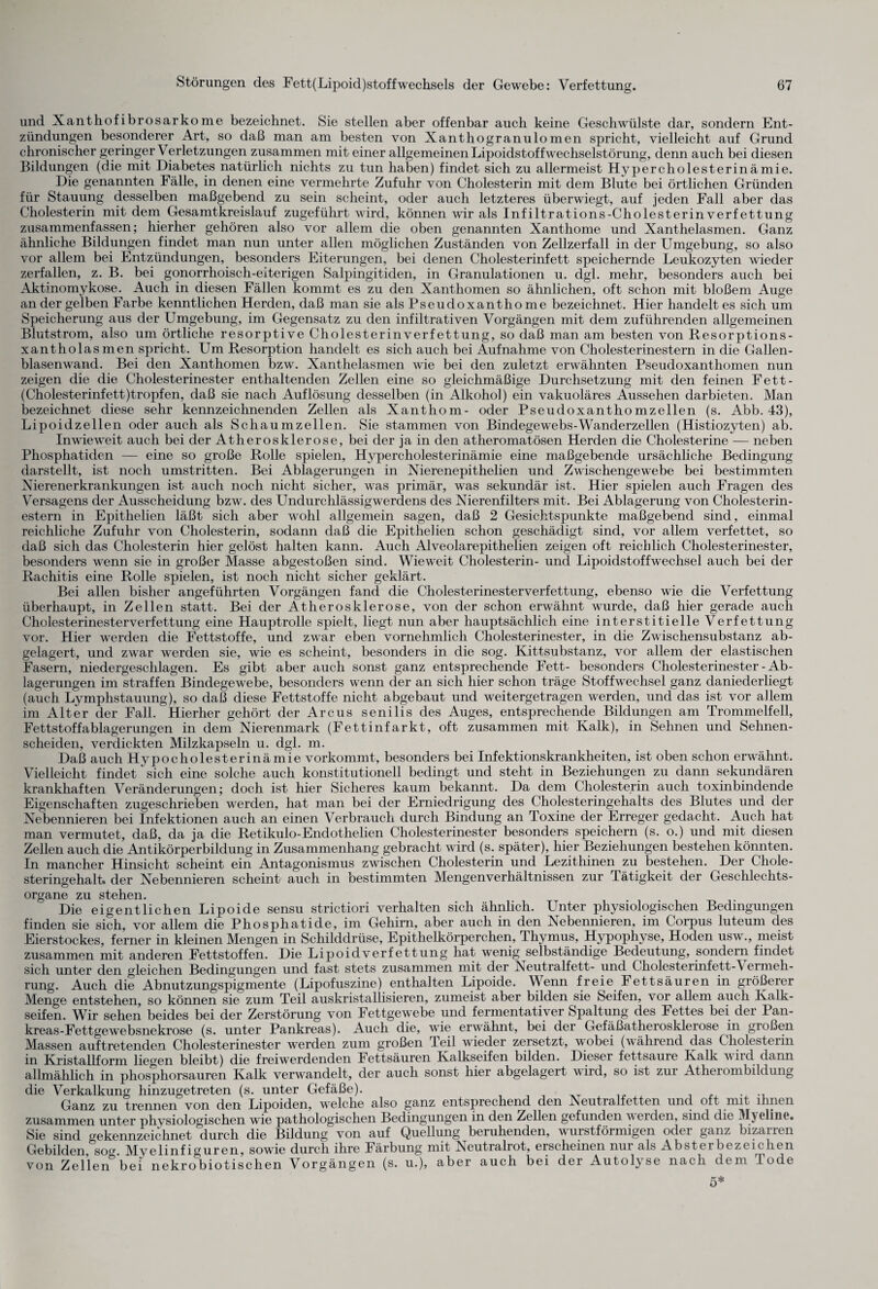 und Xanthofibrosarkome bezeichnet. Sie stellen aber offenbar auch keine Geschwülste dar, sondern Ent¬ zündungen besonderer Art, so daß man am besten von Xanthogranulomen spricht, vielleicht auf Grund chronischer geringer Verletzungen zusammen mit einer allgemeinen Lipoidstoffwechselstörung, denn auch bei diesen Bildungen (die mit Diabetes natürlich nichts zu tun haben) findet sich zu allermeist Hypercholesterinämie. Die genannten Fälle, in denen eine vermehrte Zufuhr von Cholesterin mit dem Blute bei örtlichen Gründen für Stauung desselben maßgebend zu sein scheint, oder auch letzteres überwiegt, auf jeden Fall aber das Cholesterin mit dem Gesamtkreislauf zugeführt wird, können wir als Infiltrations-Cholesterinverfettung zusammenfassen; hierher gehören also vor allem die oben genannten Xanthome und Xanthelasmen. Ganz ähnliche Bildungen findet man nun unter allen möglichen Zuständen von Zellzerfall in der Umgebung, so also vor allem bei Entzündungen, besonders Eiterungen, bei denen Cholesterinfett speichernde Leukozyten wieder zerfallen, z. B. bei gonorrhoisch-eiterigen Salpingitiden, in Granulationen u. dgl. mehr, besonders auch bei Aktinomykose. Auch in diesen Fällen kommt es zu den Xanthomen so ähnlichen, oft schon mit bloßem Auge an der gelben Farbe kenntlichen Herden, daß man sie als Pseudoxanthome bezeichnet. Hier handelt es sich um Speicherung aus der Umgebung, im Gegensatz zu den infiltrativen Vorgängen mit dem zuführenden allgemeinen Blutstrom, also um örtliche resorptive Cholesterinverfettung, so daß man am besten von Resorptions- xantholasmen spricht. Um Resorption handelt es sich auch bei Aufnahme von Cholesterinestern in die Gallen- blasenwarid. Bei den Xanthomen bzw. Xanthelasmen wie bei den zuletzt erwähnten Pseudoxanthomen nun zeigen die die Cholesterinester enthaltenden Zellen eine so gleichmäßige Durchsetzung mit den feinen Fett- (Cholesterinfett)tropfen, daß sie nach Auflösung desselben (in Alkohol) ein vakuoläres Aussehen darbieten. Man bezeichnet diese sehr kennzeichnenden Zellen als Xanthom- oder Pseudoxanthomzellen (s. Abb. 43), Lipoidzellen oder auch als Schaumzellen. Sie stammen von Bindegewebs-Wanderzellen (Histiozyten) ab. Inwieweit auch bei der Atherosklerose, bei der ja in den atheromatösen Herden die Cholesterine — neben Phosphatiden — eine so große Rolle spielen, Hypercholesterinämie eine maßgebende ursächliche Bedingung darstellt, ist noch umstritten. Bei Ablagerungen in Nierenepithelien und Zwischengewebe bei bestimmten Nierenerkrankungen ist auch noch nicht sicher, was primär, was sekundär ist. Hier spielen auch Fragen des Versagens der Ausscheidung bzw. des Undurchlässigwerdens des Nierenfilters mit. Bei Ablagerung von Cliolesterin- estern in Epithelien läßt sich aber wohl allgemein sagen, daß 2 Gesichtspunkte maßgebend sind, einmal reichliche Zufuhr von Cholesterin, sodann daß die Epithelien schon geschädigt sind, vor allem verfettet, so daß sich das Cholesterin hier gelöst halten kann. Auch Alveolarepithelien zeigen oft reichlich Cholesterinester, besonders wenn sie in großer Masse abgestoßen sind. Wieweit Cholesterin- und Lipoidstoffwechsel auch bei der Rachitis eine Rolle spielen, ist noch nicht sicher geklärt. Bei allen bisher angeführten Vorgängen fand die Cholesterinesterverfettung, ebenso wie die Verfettung überhaupt, in Zellen statt. Bei der Atherosklerose, von der schon erwähnt wurde, daß hier gerade auch Cholesterinesterverfettung eine Hauptrolle spielt, liegt nun aber hauptsächlich eine interstitielle Verfettung vor. Hier werden die Fettstoffe, und zwar eben vornehmlich Cholesterinester, in die Zwischensubstanz ab¬ gelagert, und zwar werden sie, wie es scheint, besonders in die sog. Kittsubstanz, vor allem der elastischen Fasern, niedergeschlagen. Es gibt aber auch sonst ganz entsprechende Fett- besonders Cholesterinester - Ab¬ lagerungen im straffen Bindegewebe, besonders wenn der an sich hier schon träge Stoffwechsel ganz daniederliegt (auch Lymphstauung), so daß diese Fettstoffe nicht abgebaut und weitergetragen werden, und das ist vor allem im Alter der Fall. Hierher gehört der Arcus senilis des Auges, entsprechende Bildungen am Trommelfell, Fettstoffablagerungen in dem Nierenmark (Fettinfarkt, oft zusammen mit Kalk), in Sehnen und Sehnen¬ scheiden, verdickten Milzkapseln u. dgl. m. Daß auch Hypocholesterinämie vorkommt, besonders bei Infektionskrankheiten, ist oben schon erwähnt. Vielleicht findet sich eine solche auch konstitutionell bedingt und steht in Beziehungen zu dann sekundären krankhaften Veränderungen; doch ist hier Sicheres kaum bekannt. Da dem Cholesterin auch toxinbindende Eigenschaften zugeschrieben werden, hat man bei der Erniedrigung des Cholesteringehalts des Blutes und der Nebennieren bei Infektionen auch an einen Verbrauch durch Bindung an Toxine der Erreger gedacht. Auch hat man vermutet, daß, da ja die Retikulo-Endothelien Cholesterinester besonders speichern (s. o.) und mit diesen Zellen auch die Antikörperbildung in Zusammenhang gebracht wird (s. später), hier Beziehungen bestehen könnten. In mancher Hinsicht scheint ein Antagonismus zwischen Cholesterin und Lezithinen zu bestehen. Der Chole¬ steringehalt. der Nebennieren scheint auch in bestimmten Mengenverhältnissen zur lätigkeit der Geschlechts¬ organe zu stehen. Die eigentlichen Lipoide sensu strictiori verhalten sich ähnlich. Unter physiologischen Bedingungen finden sie sich, vor allem die Phosphatide, im Gehirn, aber auch in den Nebennieren, im Corpus luteum des Eierstockes, ferner in kleinen Mengen in Schilddrüse, Epithelkörperchen, Ihymus, Hypophyse, Hoden usw., meist zusammen mit anderen Fettstoffen. Die Lipoidverfettung hat wenig selbständige Bedeutung, sondern findet sich unter den gleichen Bedingungen und fast stets zusammen mit der Neutralfett- und Cholesterinfett-Vermeh¬ rung. Auch die Abnutzungspigmente (Lipofuszine) enthalten Lipoide. Wenn freie Fettsäuren in größerer Menge entstehen, so können sie zum Teil auskristallisieren, zumeist aber bilden sie Seifen, vor allem auch Kalk¬ seifen. Wir sehen beides bei der Zerstörung von Fettgewebe und fermentativer Spaltung des Fettes bei der Pan- kreas-Fettgewebsnekrose (s. unter Pankreas). Auch die, wie erwähnt, bei der Gefäßatherosklerose in großen Massen auf tretenden Cholesterinester werden zum großen Teil wieder zersetzt, wobei (während das Cholesterin in Kristallform liegen bleibt) die freiwerdenden Fettsäuren Kalkseifen bilden. Dieser fettsaure Kalk wird dann allmählich in phosphorsauren Kalk verwandelt, der auch sonst hier abgelagert wird, so ist zur Atherombildung die Verkalkung hinzugetreten (s. unter Gefäße). Ganz zu trennen von den Lipoiden, welche also ganz entsprechend den ^seutralietten und oft mit ihnen zusammen unter physiologischen wie pathologischen Bedingungen in den Zellen gefunden werden, sind die Myoline. Sie sind gekennzeichnet durch die Bildung von auf Quellung beruhenden, wurstförmigen odei ganz bizanen Gebilden, sog. Myelinfiguren, sowie durch ihre Färbung mit Neutralrot, erscheinen nur als Absterbezeichen von Zellen bei nekrobiotischen Vorgängen (s. u.), aber auch bei der Autolvse nach dem
