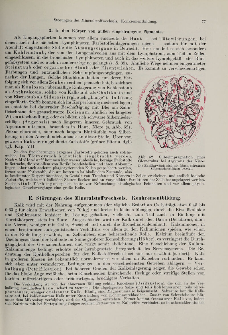 2. In den Körper von außen eingedrungene Pigmente. Als Eingangspforten kommen vor allem einerseits die Haut — bei Tätowierungen, bei denen auch die nächsten Lymphknoten Farbstoffeinlagerungen zeigen — sodann für mit der Atemluft eingeatmete Stoffe die Atmungsorgane in Betracht. Hier handelt es sich besonders um Kohlenstaub, der von den Lungenalveolen aus mit dem Lymphstrom, zum Teil in Zellen eingeschlossen, in die bronchialen Lymphknoten und auch in das weitere Lymphgefäß- oder Blut¬ gefäßsystem und so auch in andere Organe gelangt (s. S. 39). Ähnliche Wege nehmen eingeatmeter Steinstaub oder organischer Staub oder Eisenteilchen. Es kommt zu verschiedenartigen Färbungen und entzündlichen Schrumpfungsvorgängen zu¬ nächst der Lungen. Solche Staubkrankheiten, um deren Ver¬ folgung sich vor allem Zenker verdient gemacht hat, bezeichnet man alsKoniosen: übermäßige Einlagerung von Kohlenstaub als Anthrakosis, solche von Kalkstaub als Chalikosis und von Eisenstaub als Siderosis (vgl. auch ,,Lunge“). In Lösung eingeführte Stoffe können sich im Körper körnig niederschlagen; so entsteht bei dauernder Beschäftigung mit Blei am Zahn¬ fleischrand der grauschwarze Bleisaum, ähnlich bei längerer Wis mutbehandlung, oder es bilden sich schwarze Silbernieder¬ schläge (Argyrosis) nach längerem inneren Gebrauch von Argentum nitricum, besonders in Haut, Niere (s. Abb. 52), Plexus chorioidei, oder nach langem Einträufeln von Silber¬ lösung in den Augenbindehaut sack an dieser Stelle. Über von gewissen Bakterien gebildete Farbstoffe (grüner Eiter u. dgl.) vgl. Kap. VII. Zu den Speicherungen exogener Farbstoffe gehören auch solche» welche im Tierversuch künstlich eingebracht werden. Nach v. Möllendorff kommen hier wasserunlösliche, körnige Farbstoffe in Betracht, die vor allem von Retikuloendothelien und ihren Abkömm¬ lingen, aber auch anderen phagozytierenden Zellen gespeichert werden, ferner saure Farbstoffe, die am besten in halbkolloidem Zustande, also in bestimmter Dispersitätsphase, in Gestalt von Tropfen und Körnern in Zellen erscheinen, und endlich basische Farbstoffe, welche mit kolloiden Säuren flocken und an vorgebildete Strukturen des Zelleibes angelagert werden. Solche vitale Färbungen spielen heute zur Erforschung histologischer Feinheiten und vor allem physio¬ logischer GewebsVorgänge eine große Rolle. Abb. 52. Silberimprägnation eines Glomerulus bei Argyrosis der Niere. Die Kapillarwände sind mit feinen, schwarzen Silberniederschlägen besetzt. E. Störungen des Mineralstoffwechsels. Konkrementbildung. Kalk ward mit der Nahrung aufgenommen (der tägliche Bedarf an Ca beträgt etwa 0,45 bis 0,63 g für einen Erwachsenen von 70 kg) und kreist in kleinen Mengen, durch die Eiweißkolloide und Kohlensäure ionisiert in Lösung gehalten, vielleicht zum Teil auch in Bindung mit Eiweißkörpern, stets im Blute. Ausgeschieden wird der Kalk durch den Darm (Dickdarm), dann die Nieren, weniger mit Galle, Speichel und durch die Bronchialschleimhaut. Kalziumionen in einem bestimmten autogonistischen Verhältnis vor allem zu den Kaliumionen spielen, wie schon in der Einleitung erwähnt, im Zellenleben eine beherrschende Rolle. Kalzium beeinflußt den Quellungszustand der Kolloide im Sinne größerer Konsolidierung (Hober), es verringert die Durch¬ gängigkeit der Grenzmembranen und wirkt somit abdichtend. Eine Verschiebung der Kalium- Kalziummenge bedingt erhöhte oder herabgesetzte Erregbarkeit des Nervensystems. Die Be¬ deutung der Epithelkörperchen für den Kalkstoffwechsel sei hier nur erwähnt (s. dort). Kalk in größeren Massen ist bekanntlich normalerweise vor allem im Knochen vorhanden. Er kann sich aber unter veränderten Bedingungen in den verschiedensten Geweben ablagern — \ er- kalkung (Petrifikation). Bei höheren Graden der Kalkeinlagerung zeigen die Gewebe schon für das bloße Auge weißliche, beim Einschneiden knirschende, fleckige oder streifige Stellen von hartem, mörtelartigem oder kreideartigem, brüchigem Verhalten. Die Verkalkung ist von der abnormen Bildung echten Knochens (Ossifikation), die sich an die Ver¬ kalkung anschließen kann, scharf zu trennen. Die abgelagerten Salze sind teils kohlensaurer, teils phos¬ phorsaurer, weniger oxalsaurer Kalk. Häufig sind Magnesiumsalze beigeniisclit. Salzsäure löst die Kalk¬ salze auf, bei kohlensaurem Kalk unter Entwicklung von Kohlensäurebläschen. Zusatz \ on Schwefelsäure läßt, unter dem Mikroskop verfolgbar, zierliche Gipsnadeln entstehen. lerner kommt fettsauiei Kalk ^ or, indem sich Kalzium mit bei Fettspaltung freigew^ordenen Fettsäuren zu Kalkseifen verbindet, so in atherosklerotischen