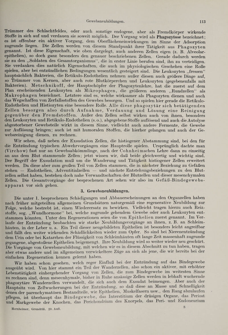 Trümmer des Schlachtfeldes, oder auch sonstige endogene, aber als Fremdkörper wirkende Stoffe in sich auf und verdauen sie soweit möglich. Der Vorgang wird als Phagozytose bezeichnet; es ist offenbar ein aktiver Vorgang, dem Oberflächeneinwirkungen im Sinne der Adsorption zugrunde liegen. Die Zellen werden von diesem Standpunkt ihrer Tätigkeit aus Phagozyten genannt. Ist diese Eigenschaft, wie oben dargelegt, auch anderen Zellen eigen (z. B. Alveolar- epithelien), so doch ganz besonders den genauer beschriebenen Zellen. Gerade dadurch werden sie zu den „Soldaten des Gesamtorganismus“, die in erster Linie berufen sind, ihn zu verteidigen. Sie verdanken dies natürlich Eigenschaften, die auch im physiologischen Geschehen eine Rolle spielen, aber bei entzündlichen Bedingungen wesentlich gesteigert sind. Die Leukozyten „fressen“ hauptsächlich Bakterien, die Retikulo-Endothelien nehmen außer diesen auch größere Dinge auf, so Trümmer von Kernen, aber auch rote Blutkörperchen und Leukozyten (gegebenenfalls mit Bakterien). Metschnikoff, der Hauptschöpfer der Phagozytenlehre, hat die zuerst auf dem Plan erscheinenden Leukozyten als Mikrophagen, die größeren anderen „Rundzellen“ als Makrophagen bezeichnet. Letztere sind es, welche wirksamer als Phagozyten dienen und auch das Wegschaffen von Zerfallsstoffen des Gewebes besorgen. Und so spielen hier gerade die Retikulo- Endothelien und Histiozyten eine besondere Rolle. Alle diese phagozytär sich betätigenden Zellen besorgen also durch Aufnahme, Verdauung und Lösung eine Reinigung gegenüber den Fremdstoffen. Außer den Zellen selbst wirken auch von ihnen, besonders den Leukozyten und Retikulo-Endothelien (s. o.), abgegebene Stoffe auflösend und auch die Autolyse abgestorbener Gewebsteile wirkt in diesem Sinne, vielleicht auch andere Fermente, die Gewebe zur Auflösung bringen; auch ist mit humoralen Stoffen, die hierher gelangen und auch der Ge- websreinigung dienen, zu rechnen. Wir sehen, daß neben der Exsudation Zellen, die histiogener Abstammung sind, bei den für die Entzündung typischen Abwehrvorgängen eine Hauptrolle spielen. Ursprünglich dachte man (Virchow) fast nur an Gewebsabkömmlinge, nach der Cohnheimsehen Lehre dann zu einseitig an aus dem Blut stammende Zellen; jetzt wissen wir, daß beide gleichwertig und wichtig sind. Der Begriff der Exsudation muß um die Wanderung und Tätigkeit histiogener Zellen erweitert werden. Da diese aber zum großen Teil von Zellen stammen, die in nächster Beziehung zu Gefäßen stehen — Endothelien, Adventitialzellen — und nächste Entstehungsbeziehungen zu den Blut¬ zellen selbst haben, bestehen doch nahe Verwandtschaften der Blutzellen und dieser mesenchymalen Zellen. Die Gesamtvorgänge der besprochenen Art sehen wir also im Gefäß-Bindegewebs- apparat vor sich gehen. 3. Gewebsneubildungen. Die unter 1. besprochenen Schädigungen und Abbauerscheinungen an den Organzellen haben nach früher mitgeteilten allgemeinen Grundsätzen naturgemäß eine regenerative Neubildung zur Folge, welche bestrebt ist, einen Wiederersatz zu bewirken. Vielleicht tragen hierzu auch Reiz¬ stoffe, sog. „Wundhormone“ bei, welche zugrunde gehendem Gewebe oder auch Leukozyten ent¬ stammen könnten. Unter den Regenerationen seien die von Epithelien zuerst genannt. Im Ver¬ laufe der Entzündung beobachten wir starke NeubildungsVorgänge an ihnen, z. B. an Schleim¬ häuten, in der Leber u. a. Ein Teil dieser neugebildeten Epithelien ist besonders leicht angreifbar und fällt den weiter wirkenden Schädlichkeiten wieder zum Opfer. So sind bei Nierenentzündung dem Urin oder bei Katarrhen der Flüssigkeit von Schleimhäuten oft lange Zeit massenhaft zugrunde gegangene, abgestoßene Epithelien beigemengt. Ihre Neubildung wird so weiter wieder neu geschürt. Die Vorgänge von Gewebsneubildung, mit welchen wir es in diesem Abschnitt zu tun haben, tragen aber etwas andere und im allgemeinen verwickeltere Züge an sich als jene, die wir bereits bei der einfachen Regeneration kennen gelernt haben. Wir haben schon gesehen, welch reger Einfluß bei der Entzündung auf das Bindegewebe ausgeübt wird. Von hier stammt ein Teil der Wanderzellen, also schon ein aktiver, mit erhöhter Lebenstätigkeit einhergehender Vorgang von Zellen, die zum Bindegewebe im weitesten Sinne zu rechnen sind, denn mesecnhymale, bisher in Ruhe ansässige Zellen werden in lebhaft wuchernde phagozytäre Wanderzellen verwandelt, die sich auch dem Exsudat beimengen. Aber auch dei Hauptsitz von Zellwucherungen bei der Entzündung, so daß diese an Masse und Schnelligkeit denen der parenchymatösen Bestandteile, wie Epithelien, Muskelfasern usw„ den Rang abzulaufen pflegen, ist überhaupt das Bindegewebe, das Interstitium der drüsigen Organe, das Peiiost und Markgewebe der Knochen, das Perichondrium des Knorpels, das Peii- und Endoneuiium g Herxheimer, Grundriß. 20. Aufl.