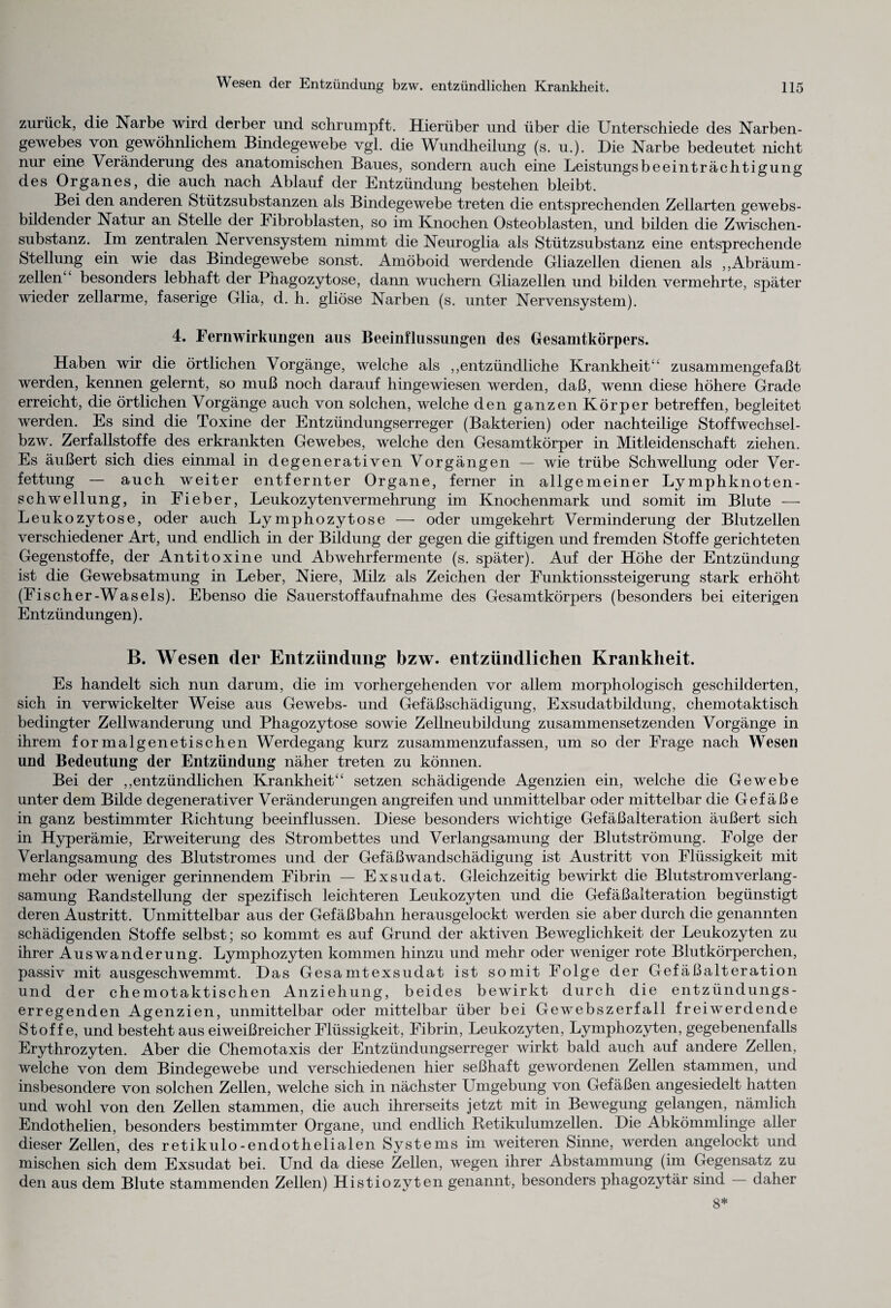 zurück, die Narbe wird derber und schrumpft. Hierüber und über die Unterschiede des Narben¬ gewebes von gewöhnlichem Bindegewebe vgl. die Wundheilung (s. u.). Die Narbe bedeutet nicht nur eine Veränderung des anatomischen Baues, sondern auch eine Leistungsbeeinträchtigung des Organes, die auch nach Ablauf der Entzündung bestehen bleibt. Bei den anderen Stützsubstanzen als Bindegewebe treten die entsprechenden Zellarten gewebs- bildender Natur an Stelle der Fibroblasten, so im Knochen Osteoblasten, und bilden die Zwischen¬ substanz. Im zentralen Nervensystem nimmt die Neuroglia als Stützsubstanz eine entsprechende Stellung ein wie das Bindegewebe sonst. Amöboid werdende Gliazellen dienen als ,, Abräum - zellen besonders lebhaft der Phagozytose, dann wuchern Gliazellen und bilden vermehrte, später wieder zell arme, faserige Glia, d. h. gliöse Narben (s. unter Nervensystem). 4. Fernwirkungen aus Beeinflussungen des Gesamtkörpers. Haben wir die örtlichen Vorgänge, welche als ,,entzündliche Krankheit“ zusammengefaßt werden, kennen gelernt, so muß noch darauf hingewiesen werden, daß, wenn diese höhere Grade erreicht, die örtlichen Vorgänge auch von solchen, welche den ganzen Körper betreffen, begleitet werden. Es sind die Toxine der Entzündungserreger (Bakterien) oder nachteilige Stoffwechsel- bzw. Zerfallstoffe des erkrankten Gewebes, welche den Gesamtkörper in Mitleidenschaft ziehen. Es äußert sich dies einmal in degenerativen Vorgängen — wie trübe Schwellung oder Ver¬ fettung — auch weiter entfernter Organe, ferner in allgemeiner Lymphknoten¬ schwellung, in Eieber, Leukozyten Vermehrung im Knochenmark und somit im Blute — Leukozytose, oder auch Lymphozytose — oder umgekehrt Verminderung der Blutzellen verschiedener Art, und endlich in der Bildung der gegen die giftigen und fremden Stoffe gerichteten Gegenstoffe, der Antitoxine und Abwehrfermente (s. später). Auf der Höhe der Entzündung ist die Gewebsatmung in Leber, Niere, Milz als Zeichen der Funktionssteigerung stark erhöht (Fischer-Wasels). Ebenso die Sauerstoffaufnahme des Gesamtkörpers (besonders bei eiterigen Entzündungen). B. Wesen der Entzündung bzw. entzündlichen Krankheit. Es handelt sich nun darum, die im vorhergehenden vor allem morphologisch geschilderten, sich in verwickelter Weise aus Gewebs- und Gefäßschädigung, Exsudatbildung, chemotaktisch bedingter Zell Wanderung und Phagozytose sowie Zellneubildung zusammensetzenden Vorgänge in ihrem formalgenetischen Werdegang kurz zusammenzufassen, um so der Frage nach Wesen und Bedeutung der Entzündung näher treten zu können. Bei der ,,entzündlichen Krankheit“ setzen schädigende Agenzien ein, welche die Gewebe unter dem Bilde degenerativer Veränderungen angreifen und unmittelbar oder mittelbar die Gefäße in ganz bestimmter Richtung beeinflussen. Diese besonders wichtige Gefäßalteration äußert sich in Hyperämie, Erweiterung des Strombettes und Verlangsamung der Blutströmung. Folge der Verlangsamung des Blutstromes und der Gefäßwandschädigung ist Austritt von Flüssigkeit mit mehr oder weniger gerinnendem Fibrin — Exsudat. Gleichzeitig bewirkt die Blutstromverlang¬ samung Randstellung der spezifisch leichteren Leukozyten und die Gefäßalteration begünstigt deren Austritt. Unmittelbar aus der Gefäßbahn herausgelockt werden sie aber durch die genannten schädigenden Stoffe selbst; so kommt es auf Grund der aktiven Beweglichkeit der Leukozyten zu ihrer Auswanderung. Lymphozyten kommen hinzu und mehr oder weniger rote Blutkörperchen, passiv mit ausgeschwemmt. Das Gesamtexsudat ist somit Folge der Gefäßalteration und der chemotaktischen Anziehung, beides bewirkt durch die entzündungs¬ erregenden Agenzien, unmittelbar oder mittelbar über bei Gewebszerfall freiwerdende Stoffe, und besteht aus eiweißreicher Flüssigkeit, Fibrin, Leukozyten, Lymphozyten, gegebenenfalls Erythrozyten. Aber die Chemotaxis der Entzündungserreger wirkt bald auch auf andere Zellen, welche von dem Bindegewebe und verschiedenen hier seßhaft gewordenen Zellen stammen, und insbesondere von solchen Zellen, welche sich in nächster Umgebung von Gefäßen angesiedelt hatten und wohl von den Zellen stammen, die auch ihrerseits jetzt mit in Bewegung gelangen, nämlich Endothelien, besonders bestimmter Organe, und endlich Retikulumzellen. Die Abkömmlinge aller dieser Zellen, des retikulo-endothelialen Systems im weiteren Sinne, werden angelockt und mischen sich dem Exsudat bei. Und da diese Zellen, wegen ihrer Abstammung (im Gegensatz zu den aus dem Blute stammenden Zellen) Histiozyten genannt, besonders phagozytär sind daher 8*