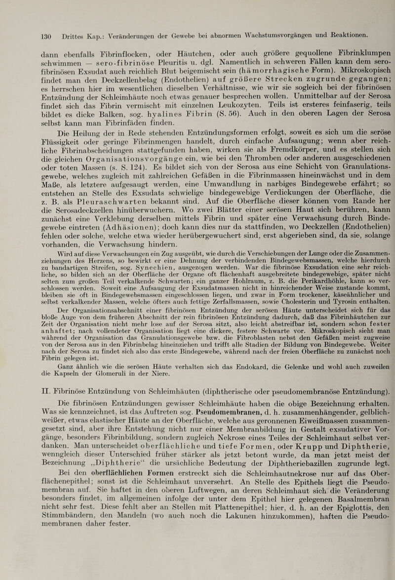 dann ebenfalls Fibrinflocken, oder Häutchen, oder auch größere gequollene Fibrinklumpen schwimmen — sero-fibrinöse Pleuritis u. dgl. Namentlich in schweren Fällen kann dem sero¬ fibrinösen Exsudat auch reichlich Blut beigemischt sein (hämorrhagische Form). Mikroskopisch findet man den Deckzellenbelag (Endothelien) auf größere Strecken zugrunde gegangen; es herrschen hier im wesentlichen dieselben Verhältnisse, wie wir sie sogleich bei der fibrinösen Entzündung der Schleimhäute noch etwas genauer besprechen wollen. Unmittelbar auf der Serosa findet sich das Fibrin vermischt mit einzelnen Leukozyten. Teils ist ersteres feinfaserig, teils bildet es dicke Balken, sog. hyalines Fibrin (S. 56). Auch in den oberen Lagen der Serosa selbst kann man Fibrinfäden finden. Die Heilung der in Rede stehenden Entzündungsformen erfolgt, soweit es sich um die seröse Flüssigkeit oder geringe Fibrinmengen handelt, durch einfache Aufsaugung; wenn aber reich¬ liche Fibrinabscheidungen stattgefunden haben, wirken sie als Fremdkörper, und es stellen sich die gleichen Organisationsvorgänge ein, wie bei den Thromben oder anderen ausgeschiedenen oder toten Massen (s. S. 124). Es bildet sich von der Serosa aus eine Schicht von Granulations¬ gewebe, welches zugleich mit zahlreichen Gefäßen in die Fibrinmassen hineinwächst und in dem Maße, als letztere aufgesaugt werden, eine Umwandlung in narbiges Bindegewebe erfährt; so entstehen an Stelle des Exsudats schwielige bindegewebige Verdickungen der Oberfläche, die z. B. als Pleuraschwarten bekannt sind. Auf die Oberfläche dieser können vom Rande her die Serosadeckzellen hinüberwuchern. Wo zwei Blätter einer serösen Haut sich berühren, kann zunächst eine Verklebung derselben mittels Fibrin und später eine Verwachsung durch Binde¬ gewebe eintreten (Adhäsionen); doch kann dies nur da stattfinden, wo Deckzellen (Endothelien) fehlen oder solche, welche etwa wieder herübergewuchert sind, erst abgerieben sind, da sie, solange vorhanden, die Verwachsung hindern. Wird auf diese Verwachsungen ein Zug ausgeübt, wie durch die Verschiebungen der Lunge oder die Zusammen¬ ziehungen des Herzens, so bewirkt er eine Dehnung der verbindenden Bindegewebsmassen, welche hierdurch zu bandartigen Streifen, sog. Synechien, ausgezogen werden. War die fibrinöse Exsudation eine sehr reich¬ liche, so bilden sich an der Oberfläche der Organe oft flächenhaft ausgebreitete bindegewebige, später nicht selten zum großen Teil verkalkende Schwarten; ein ganzer Hohlraum, z. B. die Perikardhöhle, kann so ver¬ schlossen werden. Soweit eine Aufsaugung der Exsudatmassen nicht in hinreichender Weise zustande kommt, bleiben sie oft in Bindegewebsmassen eingeschlossen liegen, und zwar in Form trockener, käseähnlicher und selbst verkalkender Massen, welche öfters auch fettige Zerfallsmassen, sowie Cholesterin und Tyrosin enthalten. Der Organisationsabschnitt einer fibrinösen Entzündung der serösen Häute unterscheidet sich für das bloße Auge von dem früheren Abschnitt der rein fibrinösen Entzündung dadurch, daß das Fibrinhäutchen zur Zeit der Organisation nicht mehr lose auf der Serosa sitzt, also leicht abstreif bar ist, sondern schon fester an haftet; nach vollendeter Organisation liegt eine dickere, festere Schwarte vor. Mikroskopisch sieht man während der Organisation das Granulationsgewebe bzw. die Fibroblasten nebst den Gefäßen meist zugweise von der Serosa aus in den Fibrinbelag hineinziehen und trifft alle Stadien der Bildung von Bindegewebe. Weiter nach der Serosa zu findet sich also das erste Bindegewebe, während nach der freien Oberfläche zu zunächst noch Fibrin gelegen ist. Ganz ähnlich wie die serösen Häute verhalten sich das Endokard, die Gelenke und wohl auch zuweilen die Kapseln der Glomeruli in der Niere. II. Fibrinöse Entzündung von Schleimhäuten (diphtherische oder pseudomembranöse Entzündung). Die fibrinösen Entzündungen gewisser Schleimhäute haben die obige Bezeichnung erhalten. Was sie kennzeichnet, ist das Auftreten sog. Pseudomembranen, d. h. zusammenhängender, gelblich¬ weißer, etwas elastischer Häute an der Oberfläche, welche aus geronnenen Eiweißmassen zusammen¬ gesetzt sind, aber ihre Entstehung nicht nur einer Membranbildung in Gestalt exsudativer Vor¬ gänge, besonders Fibrinbildung, sondern zugleich Nekrose eines Teiles der Schleimhaut selbst ver¬ danken. Man unterscheidet oberflächliche und tiefe Formen, oder Krupp und Diphtherie, wenngleich dieser Unterschied früher stärker als jetzt betont wurde, da man jetzt meist der Bezeichnung ,,Diphtherie “ die ursächliche Bedeutung der Diphtheriebazillen zugrunde legt. Bei den oberflächlichen Formen erstreckt sich die Schleimhautnekrose nur auf das Ober¬ flächenepithel; sonst ist die Schleimhaut unversehrt. An Stelle des Epithels liegt die Pseudo¬ membran auf. Sie haftet in den oberen Luftwegen, an deren Schleimhaut sich die Veränderung besonders findet, im allgemeinen infolge der unter dem Epithel hier gelegenen Basalmembran nicht sehr fest. Diese fehlt aber an Stellen mit Plattenepithel; hier, d. h. an der Epiglottis, den Stimmbändern, den Mandeln (wo auch noch die Lakunen hinzukommen), haften die Pseudo¬ membranen daher fester.