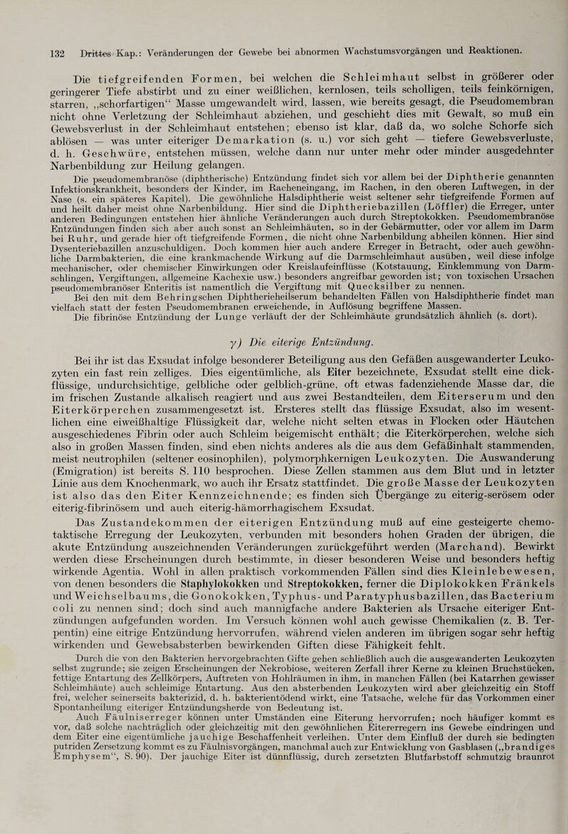 Die tiefgreifenden Formen, bei welchen die Schleimhaut selbst in größerer oder geringerer Tiefe abstirbt und zu einer weißlichen, kernlosen, teils scholligen, teils feinkörnigen, starren, ,,schorfartigen“ Masse umgewandelt wird, lassen, wie bereits gesagt, die Pseudomembran nicht ohne Verletzung der Schleimhaut abziehen, und geschieht dies mit Gewalt, so muß ein Gewebsverlust in der Schleimhaut entstehen; ebenso ist klar, daß da, wo solche Schorfe sich ablösen — was unter eiteriger Demarkation (s. u.) vor sich geht — tiefere Gewebsverluste, d. li. Geschwüre, entstehen müssen, welche dann nur unter mehr oder minder ausgedehnter Narbenbildung zur Heilung gelangen. Die pseudomembranöse (diphtherische) Entzündung findet sich vor allem bei der Diphtherie genannten Infektionskrankheit, besonders der Kinder, im Racheneingang, im Rachen, in den oberen Luftwegen, in der Nase (s. ein späteres Kapitel). Die gewöhnliche Halsdiphtherie weist seltener sehr tiefgreifende Formen auf und heilt daher meist ohne Narbenbildung. Hier sind die Diphtheriebazillen (Löffler) die Erreger, unter anderen Bedingungen entstehen hier ähnliche Veränderungen auch durch Streptokokken. Pseudomembranöse Entzündungen ^finden sich aber auch sonst an Schleimhäuten, so in der Gebärmutter, oder vor allem im Darm bei Ruhr, und gerade hier oft tiefgreifende Formen, die nicht ohne Narbenbildung abheilen können. Hier sind Dysenteriebazillen anzuschuldigen. Doch kommen hier auch andere Erreger in Betracht, oder auch gewöhn¬ liche Darmbakterien, die eine krankmachende Wirkung auf die Darmschleimhaut ausüben, weil diese infolge mechanischer, oder chemischer Einwirkungen oder Kreislaufeinflüsse (Kotstauung, Einklemmung von Darm¬ schlingen, Vergiftungen, allgemeine Kachexie usw.) besonders angreifbar geworden ist; von toxischen Ursachen pseudomembranöser Enteritis ist namentlich die Vergiftung mit Quecksilber zu nennen. Bei den mit dem Behringschen Diphtherieheilserum behandelten Fällen von Halsdiphtherie findet man vielfach statt der festen Pseudomembranen erweichende, in Auflösung begriffene Massen. Die fibrinöse Entzündung der Lunge verläuft der der Schleimhäute grundsätzlich ähnlich (s. dort). y) Die eiterige Entzündung. Bei ihr ist das Exsudat infolge besonderer Beteiligung aus den Gefäßen ausgewanderter Leuko¬ zyten ein fast rein zelliges. Dies eigentümliche, als Eiter bezeichnete, Exsudat stellt eine dick¬ flüssige, undurchsichtige, gelbliche oder gelblich-grüne, oft etwas fadenziehende Masse dar, die im frischen Zustande alkalisch reagiert und aus zwei Bestandteilen, dem Eiterserum und den Eiterkörperchen zusammengesetzt ist. Ersteres stellt das flüssige Exsudat, also im wesent¬ lichen eine eiweißhaltige Flüssigkeit dar, welche nicht selten etwas in Flocken oder Häutchen ausgeschiedenes Fibrin oder auch Schleim beigemischt enthält; die Eiterkörperchen, welche sich also in großen Massen finden, sind eben nichts anderes als die aus dem Gefäßinhalt stammenden, meist neutrophilen (seltener eosinophilen), polymorphkernigen Leukozyten. Die Auswanderung (Emigration) ist bereits S. 110 besprochen. Diese Zellen stammen aus dem Blut und in letzter Linie aus dem Knochenmark, wo auch ihr Ersatz stattfindet. Die große Masse der Leukozyten ist also das den Eiter Kennzeichnende; es finden sich Übergänge zu eiterig-serösem oder eiterig-fibrinösem und auch eiterig-hämorrhagischem Exsudat. Das Zustandekommen der eiterigen Entzündung muß auf eine gesteigerte chemo¬ taktische Erregung der Leukozyten, verbunden mit besonders hohen Graden der übrigen, die akute Entzündung auszeichnenden Veränderungen zurückgeführt werden (Marchand). Bewirkt werden diese Erscheinungen durch bestimmte, in dieser besonderen Weise und besonders heftig wirkende Agentia. Wohl in allen praktisch vorkommenden Fällen sind dies Kleinlebewesen, von denen besonders die Staphylokokken und Streptokokken, ferner die Diplokokken Fränkels und Weichselbaums, die Gonokokken, Typhus- und Paratyphusbazillen, das Bacterium coli zu nennen sind; doch sind auch mannigfache andere Bakterien als Ursache eiteriger Ent¬ zündungen aufgefunden worden. Im Versuch können wohl auch gewisse Chemikalien (z. B. Ter¬ pentin) eine eitrige Entzündung hervorrufen, während vielen anderen im übrigen sogar sehr heftig wirkenden und Gewebsabsterben bewirkenden Giften diese Fähigkeit fehlt. Durch die von den Bakterien hervorgebrachten Gifte gehen schließlich auch die ausgevvanderten Leukozyten selbst zugrunde; sie zeigen Erscheinungen der Nekrobiose, weiteren Zerfall ihrer Kerne zu kleinen Bruchstücken, fettige Entartung des Zellkörpers, Auftreten von Hohlräumen in ihm, in manchen Fällen (bei Katarrhen gewisser Schleimhäute) auch schleimige Entartung. Aus den absterbenden Leukozyten wird aber gleichzeitig ein Stoff frei, welcher seinerseits bakterizid, d. h. bakterientödend wirkt, eine Tatsache, welche für das Vorkommen einer Spontanheilung eiteriger Entzündungsherde von Bedeutung ist. Auch Fäulniserreger können unter Umständen eine Eiterung hervorrufen; noch häufiger kommt es vor, daß solche nachträglich oder gleichzeitig mit den gewöhnlichen Eitererregern ins Gewebe eindringen und dem Eiter eine eigentümliche jauchige Beschaffenheit verleihen. Unter dem Einfluß der durch sie bedingten putriden Zersetzung kommt es zu Fäulnis Vorgängen, manchmal auch zur Entwicklung von Gasblasen („brandiges Emphysem“, S. 90). Der jauchige Eiter ist dünnflüssig, durch zersetzten Blutfarbstoff schmutzig braunrot