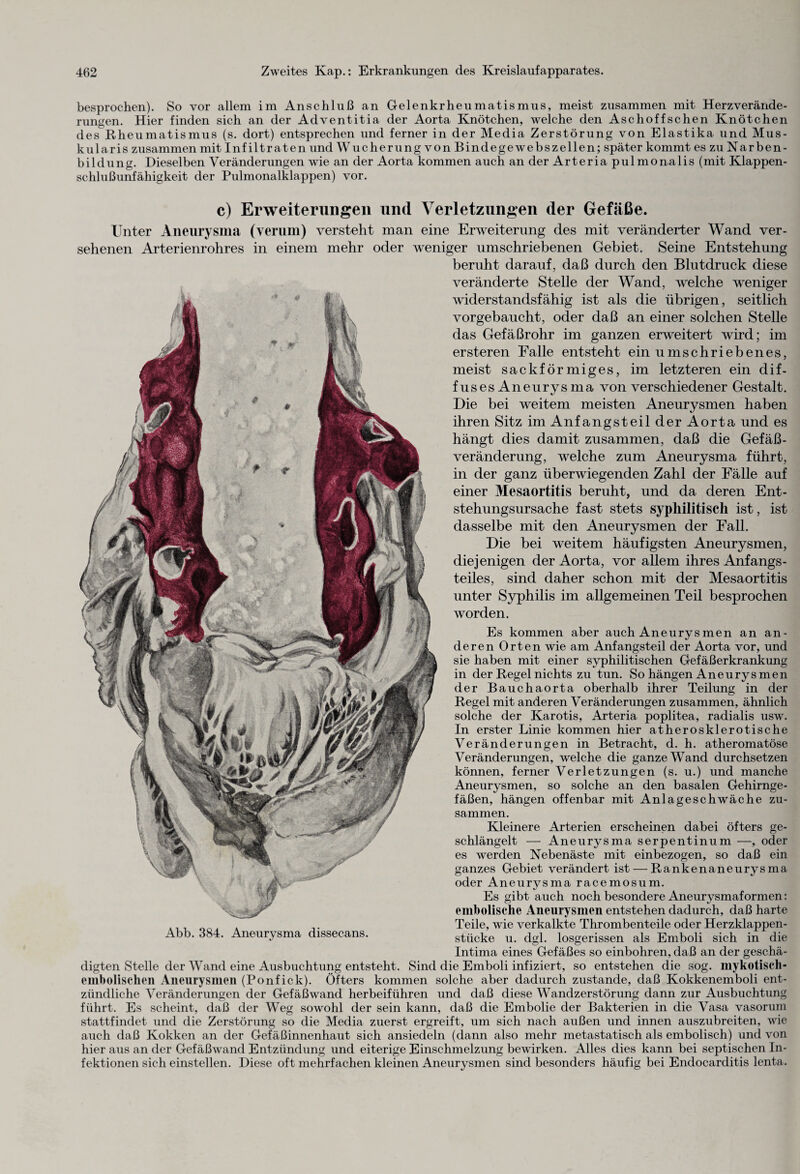 besprochen). So vor allem im Anschluß an Gelenkrheumatismus, meist zusammen mit Herzverände- rungen. Hier finden sich an der Adventitia der Aorta Knötchen, welche den Aschoffschen Knötchen des Rheumatismus (s. dort) entsprechen und ferner in der Media Zerstörung von Elastika und Mus¬ kularis zusammen mit Infiltraten und Wucherung von Bindegewebszellen; später kommt es zu Narben¬ bildung. Dieselben Veränderungen wie an der Aorta kommen auch an der Arteria pulmonalis (mit Klappen¬ schlußunfähigkeit der Pulmonalklappen) vor. c) Erweiterungen und Verletzungen der Gefäße. Unter Aneurysma (verum) versteht man eine Erweiterung des mit veränderter Wand ver¬ sehenen Arterienrohres in einem mehr oder weniger umschriebenen Gebiet. Seine Entstehung beruht darauf, daß durch den Blutdruck diese veränderte Stelle der Wand, welche weniger widerstandsfähig ist als die übrigen, seitlich vorgebaucht, oder daß an einer solchen Stelle das Gefäßrohr im ganzen erweitert wird; im ersteren Falle entsteht ein umschriebenes, meist sackförmiges, im letzteren ein dif¬ fuses An exirys ina von verschiedener Gestalt. Die bei weitem meisten Aneurysmen haben ihren Sitz im Anfangsteil der Aorta und es hängt dies damit zusammen, daß die Gefäß¬ veränderung, welche zum Aneurysma führt, in der ganz überwiegenden Zahl der Fälle auf einer Mesaortitis beruht, und da deren Ent¬ stehungsursache fast stets syphilitisch ist, ist dasselbe mit den Aneurysmen der Fall. Die bei weitem häufigsten Aneurysmen, diejenigen der Aorta, vor allem ihres Anfangs¬ teiles, sind daher schon mit der Mesaortitis unter Syphilis im allgemeinen Teil besprochen worden. Es kommen aber auch Aneurysmen an an¬ deren Orten wie am Anfangsteil der Aorta vor, und sie haben mit einer syphilitischen Gefäßerkrankung in der Regel nichts zu tun. So hängen Aneurysmen der Bauchaorta oberhalb ihrer Teilung in der Regel mit anderen Veränderungen zusammen, ähnlich solche der Karotis, Arteria poplitea, radialis usw. In erster Linie kommen hier atherosklerotische Veränderungen in Betracht, d. h. atheromatöse Veränderungen, welche die ganze Wand durchsetzen können, ferner Verletzungen (s. u.) und manche Aneurysmen, so solche an den basalen Gehirnge¬ fäßen, hängen offenbar mit Anlageschwäche zu¬ sammen. Kleinere Arterien erscheinen dabei öfters ge¬ schlängelt — Aneurysma serpentinum —, oder es werden Nebenäste mit einbezogen, so daß ein ganzes Gebiet verändert ist — Rankenaneurysma oder Aneurysma racemosum. Es gibt auch noch besondere Aneurysmaformen: embolische Aneurysmen entstehen dadurch, daß harte . .. Teile, wie verkalkte Thrombenteile oder Herzklappen- Abb. 384. Aneurysma dissecans. stücke u. dgl. losgerissen als Emboli sich in die Intima eines Gefäßes so einbohren, daß an der geschä¬ digten Stelle der Wand eine Ausbuchtung entsteht. Sind die Emboli infiziert, so entstehen die sog. mykotisch- embolischen Aneurysmen (Ponfick). Öfters kommen solche aber dadurch zustande, daß Kokkenemboli ent¬ zündliche Veränderungen der Gefäßwand herbeiführen und daß diese Wandzerstörung dann zur Ausbuchtung führt. Es scheint, daß der Weg sowohl der sein kann, daß die Embolie der Bakterien in die Vasa vasorum stattfindet und die Zerstörung so die Media zuerst ergreift, um sich nach außen und innen auszubreiten, wie auch daß Kokken an der Gefäßinnenhaut sich ansiedeln (dann also mehr metastatisch als embolisch) und von hier aus an der Gefäßwand Entzündung und eiterige Einschmelzung bewirken. Alles dies kann bei septischen In¬ fektionen sich einstellen. Diese oft mehrfachen kleinen Aneurysmen sind besonders häufig bei Endocarditis lenta.