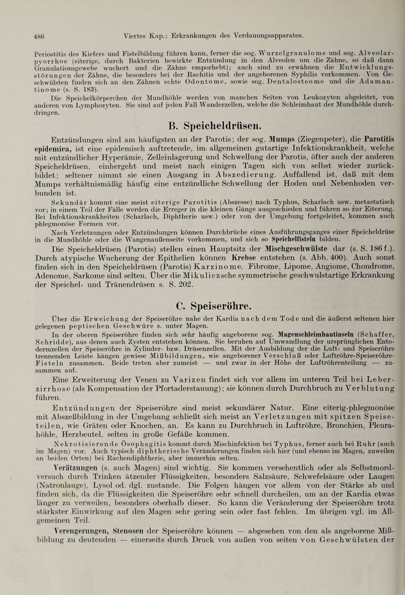Periostitis des Kiefers und Fistelbildung führen kann, ferner die sog. Wurzelgranulome und sog. Alveolar- pvorrhoe (eiterige, durch Bakterien bewirkte Entzündung in den Alveolen um die Zähne, so daß dann Granulationsgewebe wuchert und die Zähne emporhebt); auch sind zu erwähnen die Entwicklungs¬ störungen der Zähne, die besonders bei der Rachitis und der angeborenen Syphilis Vorkommen. Von Ge¬ schwülsten finden sich an den Zähnen echte Odontome, sowie sog. Dentalosteome und die Adam an - tinome (s. S. 183). Die Speichelkörperchen der Mundhöhle werden von manchen Seiten von Leukozyten abgeleitet, von anderen von Lymphozyten. Sie sind auf jeden Fall Wanderzellen, welche die Schleimhaut der Mundhöhle durch¬ dringen. B. Speicheldrüsen. Entzündungen sind am häufigsten an der Parotis; der sog. Mumps (Ziegenpeter), die Parotitis epidemica, ist eine epidemisch auftretende, im- allgemeinen gutartige Infektionskrankheit, welche mit entzündlicher Hyperämie, Zelleinlagerung und Schwellung der Parotis, öfter auch der anderen Speicheldrüsen, einhergeht und meist nach einigen Tagen sich von selbst wieder zurück¬ bildet; seltener nimmt sie einen Ausgang in Abszedierung. Auffallend ist, daß mit dem Mumps verhältnismäßig häufig eine entzündliche Schwellung der Hoden und Nebenhoden ver¬ bunden ist. Sekundär kommt eine meist eiterige Parotitis (Abszesse) nach Typhus, Scharlach usw. metastatisch vor; in einem Teil der Fälle werden die Erreger in die kleinen Gänge ausgeschieden und führen so zur Eiterung. Bei Infektionskrankheiten (Scharlach, Diphtherie usw.) oder von der Umgebung fortgeleitet, kommen auch phlegmonöse Formen vor. Nach Verletzungen oder Entzündungen können Durchbrüche eines Ausführungsganges einer Speicheldrüse in die Mundhöhle oder die Wangenaußenseite Vorkommen, und sich so Speichelfisteln bilden. Die Speicheldrüsen (Parotis) stellen einen Hauptsitz der Mischgeschwülste dar (s. S. 186 f.). Durch atypische Wucherung der Epithelien können Krebse entstehen (s. Abb. 400). Auch sonst finden sich in den Speicheldrüsen (Parotis) Karzinome. Fibrome, Lipome, Angiome, Chondrome, Adenome, Sarkome sind selten. Über die Mikulicz sehe symmetrische geschwulstartige Erkrankung der Speichel- und Tränendrüsen s. S. 202. C. Speiseröhre. Über die Erweichung der Speiseröhre nahe der Kardia nach dem Tode und die äußerst seltenen hier gelegenen peptischen Geschwüre s. unter Magen. In der oberen Speiseröhre finden sich sehr häufig angeborene sog. Magenschleimhautinseln (Schaffer, Schridde), aus denen auch Zysten entstehen können. Sie beruhen auf Umwandlung der ursprünglichen Ento- dermzellen der Speiseröhre in Zylinder- bzw. Drüsenzellen. Mit der Ausbildung der die Luft- und Speiseröhre trennenden Leiste hängen gewisse Mißbildungen, wie angeborener Verschluß oder Luftröhre-Speiseröhre- Fisteln zusammen. Beide treten aber zumeist — und zwar in der Höhe der Luftröhrenteilung — zu¬ sammen auf. Eine Erweiterung der Venen zu Varizen findet sich vor allem im unteren Teil bei Leber¬ zirrhose (als Kompensation der Pfortaderstauung); sie können durch Durchbruch zu Verblutung führen. Entzündungen der Speiseröhre sind meist sekundärer Natur. Eine eiterig-phlegmonöse mit Abszeßbildung in der Umgebung schließt sich meist an Verletzungen mit spitzen Speise¬ teilen, wie Gräten oder Knochen, an. Es kann zu Durchbruch in Luftröhre, Bronchien, Pleura¬ höhle, Herzbeutel, selten in große Gefäße kommen. Nekrotisierende Ösophagitis kommt durch Mischinfektion bei Typhus, ferner auch bei Ruhr (auch im Magen) vor. Auch typisch diphtherische Veränderungen finden sich hier (und ebenso im Magen, zuweilen an beiden Orten) bei Rachendiphtherie, aber immerhin selten. Verätzungen (s. auch Magen) sind wichtig. Sie kommen versehentlich oder als Selbstmord¬ versuch durch Trinken ätzender Flüssigkeiten, besonders Salzsäure, Schwefelsäure oder Laugen (Natronlauge), Lysol od. dgl. zustande. Die Folgen hängen vor allem von der Stärke ab und finden sich, da die Flüssigkeiten die Speiseröhre sehr schnell durcheilen, um an der Kardia etwas länger zu verweilen, besonders oberhalb dieser. So kann die Veränderung der Speiseröhre trotz stärkster Einwirkung auf den Magen sehr gering sein oder fast fehlen. Im übrigen vgl. im All¬ gemeinen Teil. Verengerungen, Stenosen der Speiseröhre können — abgesehen von den als angeborene Miß¬ bildung zu deutenden — einerseits durch Druck von außen von seiten von Geschwülsten der