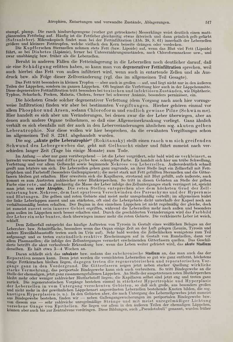 stumpf, plump. Die rasch hindurchgezogene (vorher gut getrocknete) Messerklinge weist deutlich einen matt¬ glänzenden I ettbelag auf. Häufig ist die Fettleber gleichzeitig etwas ikterisch und dann grünlich gelb gefärbt (Safranleber). Mikroskopisch findet man bei der Fettinfiltration (Abb. 38, S. 61) innerhalb der Leberzellen größere und kleinere Fetttropfen, welche vielfach den Kern beiseite drängen oder verdecken. Die Kupfferschen Sternzellen nehmen stets Fett (bzw. Lipoide) auf, wenn das Blut viel Fett (Lipoide) führt, so bei Diabetes (Lipämie), ferner bei Unterernährungszuständen, nach Chloroformnarkose usw., und zwar unabhängig bzw. früher als die Leberzellen. Beruht in anderen Fällen die Fetteinlagerung in die Leberzellen noch deutlicher darauf, daß sie eine Schädigung erlitten haben, so kann man von degenerativer Fettinfiltration sprechen, weil auch hierbei das Fett von außen infiltriert wird, wenn auch in entartende Zellen und als Aus¬ druck bzw. als Folge dieser Zellveränderung (vgl. das im allgemeinen Teil Gesagte). Das Fett tritt besonders in kleinen Tropfen — aber auch in großen — auf, und liegt nicht nur in den äußeren Teilen der Läppchen, sondern im ganzen Läppchen. Oft beginnt die Verfettung hier auch in der Läppchenmitte. Diese degenerative Fettinfiltration tritt besonders bei toxischen und infektiösen Zuständen, wie Diphtherie, Typhus, Scharlach, Pocken, Malaria, Cholera, ferner bei schwerer Anämie, besonders perniziöser, ein. Die höchsten Grade solcher degenerativer Verfettung (dem Vorgang nach auch hier vorzugs¬ weise Infiltration) finden wir aber bei bestimmten Vergiftungen. Hierher gehören einmal vor allem Phosphor und Arsen, sodann Chloroform und endlich gewisse Pilze (Schwämme). Hier handelt es sich aber um Veränderungen, bei denen zwar die der Leber überwiegen, aber an denen auch andere Organe teilnehmen, so daß eine Allgemeinerkrankung vorliegt. Ganz ähnlich verhält es sich ebenfalls mit der auch in den Leberveränderungen ähnlichen sog. akuten gelben Leberatrophie. Nur diese wollen wir hier besprechen, da die erwähnten Vergiftungen schon im allgemeinen Teil S. 224 f. abgehandelt wurden. Die sog. „akute gelbe Leberatrophie“ (Rokitansky) stellt einen rasch um sich greifenden Schwund des Leber ge webes dar, geht mit Gelbsucht einher und führt zumeist nach ver¬ schieden langer Zeit (Tage bis einige Monate) zum Tode. Im Anfang — aber nur ganz vorübergehend — ist die Leber vergrößert, sehr bald wird sie verkleinert, es herrscht verwaschener Bau und diffus gelbe bzw. ockergelbe Farbe. Es handelt sich hier um trübe Schwellung, Verfettung und vor allem Gelbsucht sowie beginnende Nekrose von Leberzellen. Außerordentlich schnell greift nun letztere um sich. Die Leberzellen gehen ganz zugrunde, an ihrer Stelle liegt ein Zellzerfall mit Fett¬ tröpfchen und Farbstoff (besonders Gallenpigment); die meist stark mit Fett gefüllten Sternzellen und die Gitter¬ fasern bleiben gut erhalten. Hier erweitern sich die Kapillaren, strotzend mit Blut gefüllt, aufs äußerste, auch kommt es zum Austreten zahlreicher roter Blutkörperchen. So tritt in diesen Gebieten an Stelle der gelben Farbe eine rote, und da gleichzeitig die Masse der Leber infolge des Zellunterganges stark verringert ist, spricht man jetzt von roter Atrophie. Die roten Stellen entsprechen also dem höchsten Grad der Zell- entartung bzw. Nekrose, dem fast spurlosen Verschwinden des Parenchyms und der Hyperämie und Blutungen. Die gelben und roten Gebiete sind meist mehr unregelmäßig verteilt; im allgemeinen leidet der linke Leberlappen zuerst und am stärksten, oft sind die Lebergebiete dicht unterhalb der Kapsel noch am verhältnismäßig besten erhalten. Der Beginn in den einzelnen Läppchen ist nicht regelmäßig der gleiche, doch ist zumeist zuerst sein inneres Gebiet ergriffen, während die Leber zellen mehr nach außen und besonders ganz außen im Läppchen noch besser erhalten sind. Durch die geschilderten Veränderungen wird das Farbbild der Leber ein sehr buntes, doch überwiegen immer mehr die roten Gebiete. Die verkleinerte Leber ist weich, schlaff. Dem Zellzerfall entspricht das häufige Auftreten von Tyrosin in Gestalt eines weißlichen Belages an der Leberober- bzw. Schnittfläche, besonders wenn das Organ einige Zeit an der Luft gelegen (Leuzin, Tyrosin und andere Eiweißabbaustoffe treten auch im Urin auf). Sehr bald werden die Zellschlacken wenigstens zum Teil auf gesaugt und es treten entzündlich-reaktive Erscheinungen auf in Gestalt von Rundzellen, dann vor allem Plasmazellen; die infolge des Zellunterganges vermehrt erscheinenden Gitterfasern quellen. Das Geschil¬ derte betrifft die akut verlaufende Erkrankung bzw. wenn das Leben weiter gefristet wird, das akute Stadium derselben. Es hält etwa 3—4 Wochen an. Daran schließt sich das subakute bzw. sodann das subchronische Stadium an, das man auch das der Reparation nennen kann. Denn jetzt werden die vernichteten Leberzellen so gut wie ganz entfernt, höchstens einige Fettkörnchen bleiben liegen, dagegen treten die regeneratorischen und reparatorischen Vor¬ gänge ganz in den Vordergrund. Die Gitterfasern zeigen jetzt neben starker Quellung wirkliche starke Vermehrung, das periportale Bindegewebe kann sich auch verbreitern. So tritt Bindegewebe an die Stelle der ehemaligen, jetzt ganz zusammengefallenen Läppchen. An Stelle der ausgetretenen roten Blutkörperchen bleibt mehr oder weniger zahlreicher Blutfarbstoff liegen; die Kapillaren selbst sind jetzt eng und treten ganz zurück. Die regeneratorischen Vorgänge bestehen einmal in stärkster Hypertrophie und Hyperplasie der Leberzellen in vom Untergang verschonten Gebieten, so daß sich große, aus besonders großen und nicht mehr in der gewöhnlichen Läppchenart angeordneten Leberzellen bestehende Knoten bilden, die sog. knotigen Hyperplasien (s. u.). In den Gebieten aber, die nach I ntergang des Leberzellgewebes jetzt zumeist aus Bindegewebe bestehen, finden wir — neben Gallengangswucherungen im periportalen Bindegewebe bzw. von diesem aus — sehr zahlreiche unregelmäßige Stränge und mit meist unregelmäßiger Lichtung versehene Gänge von Epithelien. Sie liegen vor allem in den äußeren Teilen der ehemaligen Läppchen, können aber auch bis zur Zentralvene Vordringen. Diese Bildungen, auch ,,Pseudotubuli genannt, wurden früher