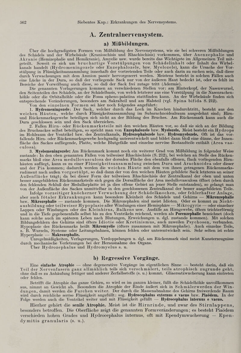 Ä. Zentralnervensystem, a) Mißbildungen. Über die hochgradigsten Formen von Mißbildung des Nervensystems, wie sie bei schweren Mißbildungen des Schädels und der Wirbelsäule (Kranioschisis und Rhachischisis) Vorkommen, über Anenzephalie und Akranie (Hemizephalie und Hemikranie), Amyelie usw. wurde bereits das Wichtigste im Allgemeinen Teil mit¬ geteilt. Soweit es sich um bruchartige Vorstülpungen von Schädelinhalt oder Inhalt des Wirbel¬ kanals handelt (Hydromeningozele oder Enzephalozele, bzw. Myelozele), kann die Ursache der Vor¬ stülpung in Flüssigkeitsansammlung innerhalb der vortretenden Teile oder auch darin zu suchen sein, daß diese durch Verwachsungen mit dem Amnion passiv hervorgezerrt werden. Meistens besteht in solchen Fällen auch eine Lücke in der Dura, so daß der vorliegende Sack nur von der äußeren Haut bedeckt ist, oder es fehlt im Bereiche der Vorwölbung auch diese, so daß der Sack frei zutage tritt (Adermie). Die genannten Vorlagerungen kommen an verschiedenen Stellen vor: am Hinterkopf, der Nasenwurzel, den Seitenteilen des Schädels, an der Schädelbasis, von welch letzterer aus eine Vorstülpung in die Nasenrachen- hölile oder die Orbitalhöhle oder die Fossa spheno-palatina stattfinden kann. An der Wirbelsäule finden sich entsprechende Veränderungen, besonders am Sakralteil und am Halsteil (vgl. Spina bifida S. 212). Von den einzelnen Formen sei hier noch folgendes angeführt: 1. Hydromeningozele: Der Sack, welcher durch das Loch im Knochen hindurchtritt, besteht aus den weichen Häuten, welche durch Flüssigkeitsansammlung im Subarachnoidealraum ausgedehnt sind; Hirn- und Rückenmarksgewebe beteiligen sich nicht an der Bildung des Bruches. Am Rückenmark kann auch die Dura geschlossen sein und den Sack überziehen. 2. Fallen Hirn- oder Rückenmarksteile mit den weichen Häuten vor, so daß sie sich an der Bildung des Bruchsackes selbst beteiligen, so spricht man von Enzephalozele bzw. Myelozele. Meist besteht ein Hydrops im Hohlraum der Ventrikel bzw. des Zentralkanals, Hydrozephalozele bzw. Hydromyelozele. Oft ist das vor¬ fallende Hirn- oder Rückenmarksgewebe hochgradig unterentwickelt und bildet dann bloß eine dünne, der Innen¬ fläche des Sackes aufliegende, Platte, welche Blutgefäße und einzelne nervöse Bestandteile enthält (Area vas- culosa). 3. Myeloineuiugozele: Am Rückenmark kommt noch ein weiterer Grad von Mißbildung in folgender Weise zustande: In den oben genannten Fällen von teilweiser Rhachischisis (S. 212), bei welchen an Stelle des Rücken¬ marks bloß eine Area medullovasculosa der dorsalen Fläche den ebenfalls offenen, flach vorliegenden Hirn¬ häuten aufliegt, kann es zu einer Flüssigkeitsansammlung zwischen Dura und Arachnoidea oder dieser und der Pia kommen; dadurch werden die weichen Häute mit dem von ihnen getragenen Rückenmarks¬ rudiment nach außen vorgestülpt, so daß dann der von den weichen Häuten gebildete Sack letzteres an seiner Außenfläche trägt; da bei dieser Form der teilweisen Rhachischisis der Zentralkanal der oben und unten besser ausgebildeten Rückenmarksteile sich gegen die Dorsalfläche der Area medullovasculosa öffnet (eben durch den fehlenden Schluß der Medullarplatte ist ja dies offene Gebiet an jener Stelle entstanden), so gelangt man von der Außenfläche des Sackes unmittelbar in den geschlossenen Zentralkanal der besser ausgebildeten Teile. Infolge vorzeitiger knöcherner Verwachsung der Schädelknochen, oder fehlerhafter Anlage, aber auch fötaler Erkrankungen kann besondere Kleinheit des Schädels und Gehirns — Mikrenzephalie bzw. Mikrozephalie — zustande kommen. Die Mikrozephalen sind meist Idioten. Oder es kommt zu Nicht- ausbildung oder teilweiser Hypoplasie aller Windungen einer Hemisphäre — Mikrogyrie — oder einzelner Lappen oder Windungen oder des Kleinhirns, Balkens usw. Ausfälle,an Hirngewebe, öfters trichterförmig und in die Tiefe gegebenenfalls selbst bis zu den Ventrikeln reichend, werden als Porenzephalie bezeichnet (doch kann solche auch im späteren Leben nach Blutungen, Erweichungen u. dgl. zustande kommen). Mit solchen Bildungsfehlern des Gehirns sind öfters Idiotie oder Kretinismus, auch zuweilen Psychosen, verbunden. Hypoplasie des Rückenmarks heißt Mikromyelie (öfters zusammen mit Mikrozephalie). Auch einzelne Teile, z. B. Wurzeln, Systeme oder Leitungsbahnen, können fehlen oder unterentwickelt sein. Sehr selten ist echte Hyperplasie — Makrozephalie. Unregelmäßigkeiten, Verlagerungen, Verdoppelungen u. dgl. am Rückenmark sind meist Kunsterzeugnisse durch mechanische Verletzungen bei der Herausnahme des Organs. Über Hydrozephalus und Hydromyelus s. u. b) Regressive Vorgänge. Eine einfache Atrophie — ohne degenerative Vorgänge im eigentlichen Sinne — besteht darin, daß ein Teil der Nervenfasern ganz allmählich teils sich verschmälert, teils atrophisch zugrunde geht, ohne daß es zu Anhäufung fettiger und anderer Zerfallsstoffe (s. u.) kommt. Gliaersatzwucherung kann eintreten oder fehlen. Betrifft die Atrophie das ganze Gehirn, so wird es im ganzen kleiner, füllt die Schädel höhle unvollkommen aus, nimmt an Gewicht ab. Besonders die Atrophie der Rinde äußert sich in Schmälerwerden der Win¬ dungen, damit werden die Furchen weiter. Der durch die Massenabnahme des Gehirns freiwerdende Raum wird durch reichliche seröse Flüssigkeit angefüllt: sog. Hydrocepkalus externus e vacuo bzw. Piaödem. In der Folge werden auch die Ventrikel weiter und mit Flüssigkeit gefüllt — Hydroceplialus internus e vacuo. Hierher gehört die senile Atrophie. Meist ist die Hirnrinde, und zwar des Stirnlappens, besonders betroffen. Die Oberfläche zeigt die genannten Form Veränderungen; es besteht Piaödem verschieden hohen Grades und Hydrocephalus internus, oft mit Ependymwucherung — Epen- dymitis granularis (s. u.).