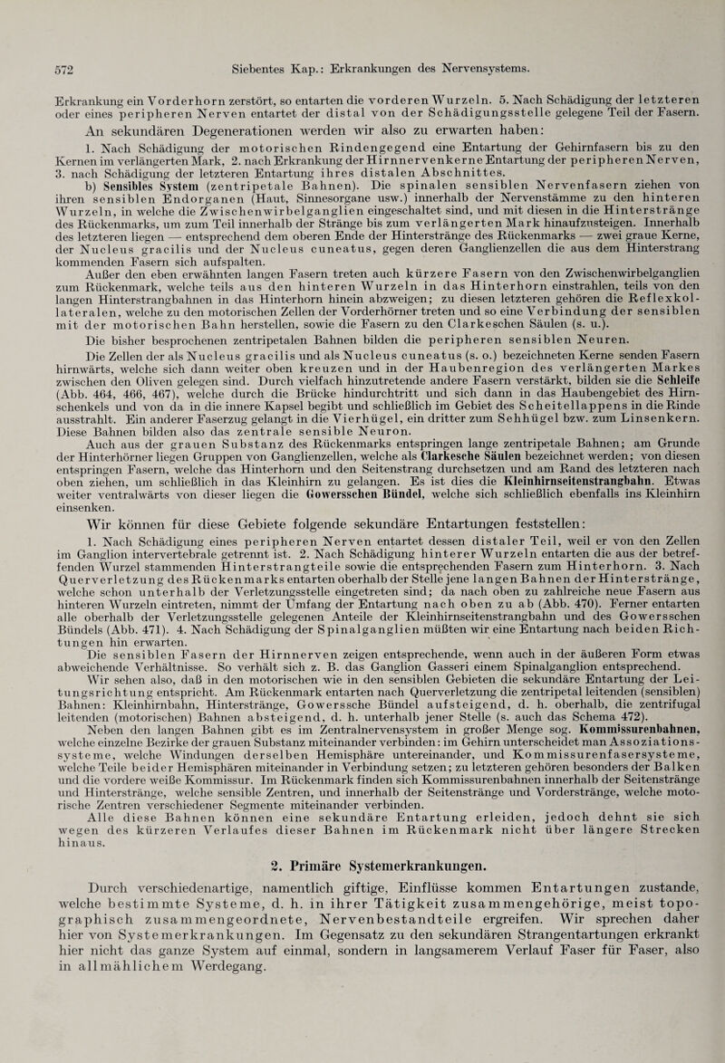 Erkrankung ein Vorderhorn zerstört, so entarten die vorderen Wurzeln. 5. Nach Schädigung der letzteren oder eines peripheren Nerven entartet der distal von der Schädigungsstelle gelegene Teil der Fasern. An sekundären Degenerationen werden wir also zu erwarten haben: 1. Nach Schädigung der motorischen Rindengegend eine Entartung der Gehirnfasern bis zu den Kernen im verlängerten Mark, 2. nach Erkrankung der Hirnnervenkerne Entartung der peripherenNerven, 3. nach Schädigung der letzteren Entartung ihres distalen Abschnittes. b) Sensibles System (zentripetale Bahnen). Die spinalen sensiblen Nervenfasern ziehen von ihren sensiblen Endorganen (Haut, Sinnesorgane usw.) innerhalb der Nervenstämme zu den hinteren Wurzeln, in welche die Zwischenwirbelganglien eingeschaltet sind, und mit diesen in die Hinterstränge des Rückenmarks, um zum Teil innerhalb der Stränge bis zum verlängerten Mark hinaufzusteigen. Innerhalb des letzteren liegen — entsprechend dem oberen Ende der Hinterstränge des Rückenmarks — zwei graue Kerne, der Nucleus gracilis und der Nucleus cuneatus, gegen deren Ganglienzellen die aus dem Hinterstrang kommenden Fasern sich auf spalten. Außer den eben erwähnten langen Fasern treten auch kürzere Fasern von den Zwischenwirbelganglien zum Rückenmark, welche teils aus den hinteren Wurzeln in das Hinterhorn einstrahlen, teils von den langen Hinterstrangbahnen in das Hinterhorn hinein abzweigen; zu diesen letzteren gehören die Reflexkol- lateralen, welche zu den motorischen Zellen der Vorderhörner treten und so eine Verbindung der sensiblen mit der motorischen Bahn hersteilen, sowie die Fasern zu den Clarkeschen Säulen (s. u.). Die bisher besprochenen zentripetalen Bahnen bilden die peripheren sensiblen Neuren. Die Zellen der als Nucleus gracilis und als Nucleus cuneatus (s. o.) bezeichneten Kerne senden Fasern hirnwärts, welche sich dann weiter oben kreuzen und in der Haubenregion des verlängerten Markes zwischen den Oliven gelegen sind. Durch vielfach hinzutretende andere Fasern verstärkt, bilden sie die Schleife (Abb. 464, 466, 467), welche durch die Brücke hindurchtritt und sich dann in das Haubengebiet des Hirn¬ schenkels und von da in die innere Kapsel begibt und schließlich im Gebiet des Scheitellappens in die Rinde ausstrahlt. Ein anderer Faserzug gelangt in die Vierhügel, ein dritter zum Sehhügel bzw. zum Linsenkern. Diese Bahnen bilden also das zentrale sensible Neuron. Auch aus der grauen Substanz des Rückenmarks entspringen lange zentripetale Bahnen; am Grunde der Hinterhörner liegen Gruppen von Ganglienzellen, welche als Clarkesche Säulen bezeichnet werden; von diesen entspringen Fasern, welche das Hinterhorn und den Seitenstrang durchsetzen und am Rand des letzteren nach oben ziehen, um schließlich in das Kleinhirn zu gelangen. Es ist dies die Kleinhirnseitenstrangbahn. Etwas weiter ventralwärts von dieser liegen die Gowersschen Bündel, welche sich schließlich ebenfalls ins Kleinhirn einsenken. Wir können für diese Gebiete folgende sekundäre Entartungen feststellen: 1. Nach Schädigung eines peripheren Nerven entartet dessen distaler Teil, weil er von den Zellen im Ganglion intervertebrale getrennt ist. 2. Nach Schädigung hinterer Wurzeln entarten die aus der betref¬ fenden Wurzel stammenden Hinterstrangteile sowie die entsprechenden Fasern zum Hinterhorn. 3. Nach Querverletzung des Rückenmarks entarten oberhalb der Stelle jene langen Bahnen der Hinterstränge, welche schon unterhalb der Verletzungsstelle eingetreten sind; da nach oben zu zahlreiche neue Fasern aus hinteren Wurzeln eintreten, nimmt der Umfang der Entartung nach oben zu ab (Abb. 470). Ferner entarten alle oberhalb der Verletzungsstelle gelegenen Anteile der Kleinhirnseitenstrangbahn und des Go wer s sehen Bündels (Abb. 471). 4. Nach Schädigung der Spinalganglien müßten wir eine Entartung nach beiden Rich¬ tungen hin erwarten. Die sensiblen Fasern der Hirnnerven zeigen entsprechende, wenn auch in der äußeren Form etwas abweichende Verhältnisse. So verhält sich z. B. das Ganglion Gasseri einem Spinalganglion entsprechend. Wir sehen also, daß in den motorischen wie in den sensiblen Gebieten die sekundäre Entartung der Lei¬ tungsrichtung entspricht. Am Rückenmark entarten nach Querverletzung die zentripetal leitenden (sensiblen) Bahnen: Kleinhirnbahn, Hinterstränge, Go wer s sehe Bündel aufsteigend, d. h. oberhalb, die zentrifugal leitenden (motorischen) Bahnen absteigend, d. h. unterhalb jener Stelle (s. auch das Schema 472). Neben den langen Bahnen gibt es im Zentralnervensystem in großer Menge sog. Kommissurenbahnen, welche einzelne Bezirke der grauen Substanz miteinander verbinden: im Gehirn unterscheidet man Assoziations ¬ systeme, welche Windungen derselben Hemisphäre untereinander, und Kommissurenfasersysteme, welche Teile beider Hemisphären miteinander in Verbindung setzen; zu letzteren gehören besonders der Balken und die vordere weiße Kommissur. Im Rückenmark finden sich Kommissurenbahnen innerhalb der Seitenstränge und Hinterstränge, welche sensible Zentren, und innerhalb der Seitenstränge und Vorderstränge, welche moto¬ rische Zentren verschiedener Segmente miteinander verbinden. Alle diese Bahnen können eine sekundäre Entartung erleiden, jedoch dehnt sie sich wegen des kürzeren Verlaufes dieser Bahnen im Rückenmark nicht über längere Strecken hinaus. 2. Primäre Systemerkrankungen. Durch verschiedenartige, namentlich giftige, Einflüsse kommen Entartungen zustande, welche bestimmte Systeme, d. h. in ihrer Tätigkeit zusammengehörige, meist topo¬ graphisch zusammengeordnete, Nervenbestandteile ergreifen. Wir sprechen daher hier von Systemerkrankungen. Im Gegensatz zu den sekundären Strangentartungen erkrankt hier nicht das ganze System auf einmal, sondern in langsamerem Verlauf Faser für Faser, also in allmählichem Werdegang.