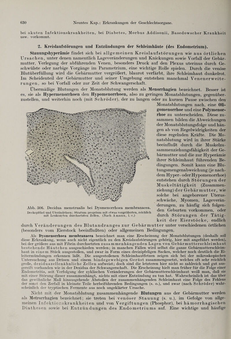 bei akuten Infektionskrankheiten, bei Diabetes, Morbus Addisonii, Basedowscher Krankheit usw. vorkommt. 2. Kreislauf Störungen und Entzündungen der Schleimhäute (des Endometrium). Stauungshyperämie findet sich bei allgemeinen Kreislaufstörungen wie aus örtlichen Ursachen, unter denen namentlich Lageveränderungen und Knickungen sowie Vorfall der Gebär¬ mutter, Verlegung der abführenden Venen, besonders Druck auf den Plexus uterinus durch Ge¬ schwülste oder narbige Vorgänge im Parametrium, eine wichtige Rolle spielen. Durch die venöse Blutüberfüllung wird die Gebärmutter vergrößert, blaurot verfärbt, ihre Schleimhaut dunkelrot. Im Scheidenteil der Gebärmutter und seiner Umgebung entstehen manchmal Venenerweite¬ rungen, so bei Vorfall oder zur Zeit der Schwangerschaft. Übermäßige Blutungen der Monatsblutung werden als Menorrhagien bezeichnet. Besser ist es, sie als Hypermenorrhoen den Hypomenorrhoen, also zu geringen Monatsblutungen, gegenüber¬ zustellen, und weiterhin noch (mit Schröder), der zu langen oder zu kurzen Pause zwischen den Monatsblutungen nach, eine Oli¬ gomenorrhoe und eine Polymenor¬ rhoe zu unterscheiden. Diese zu¬ sammen bilden die Abweichungen der Monatsblutungsfolge und hän¬ gen ab von Regelwidrigkeiten der diese regelnden Kräfte. Die Mo¬ natsblutung wird in ihrer Stärke beeinflußt durch die Muskelzu¬ sammenziehungsfähigkeit der Ge¬ bärmutter und die zur Hyperämie ihrer Schleimhaut führenden Be¬ dingungen. Somit kann eine Blu¬ tungsmengenabweichung (je nach¬ dem Hyper- oderHypomenorrhoe) entstehen durch Störungen der Muskeltätigkeit (Zusammen¬ ziehung) der Gebärmutter, wie solche bei angeborener Uterus¬ schwäche, Myomen, Lageverän- Abb. 506. Decidua menstrualis bei Dysmenorrhoea membranacea. Deckepithel und Uterindrüsen; Stratum proprium mit etwas vergrößerten, reichlich .. . . mit Leukozyten durchsetzten Zellen. (Nach Amann, 1. c.) durch Störungen der JLätlg- keit der Eierstöcke, endlich durch Veränderungen des Blutandranges zur Gebärmutter unter verschiedenen örtlichen (besonders vom Eierstock beeinflußten) oder allgemeinen Bedingungen. Als Dysmenorrhoea membranacea bezeichnet man eine Erscheinung der Monatsblutungen (deshalb soll diese Erkrankung, wenn auch nicht eigentlich zu den Kreislaufstörungen gehörig, liier mit angeführt werden), bei der größere aus mit Fibrin durchsetzten zusammenhängenden Lagen von Gebärmutterschleimhaut bestehende Häutchen ausgeschieden werden; in manchen Fällen wird selbst die ganze Gebärmutterschleim¬ haut in einem Stück ausgestoßen, und zwar in Form eines dreizipfeligen Sackes, welcher noch deutlich die Ei¬ leitermündungen erkennen läßt. Die ausgestoßenen Schleimhautfetzen zeigen sich bei der mikroskopischen Untersuchung aus Drüsen und einem bindegewebigen Gerüst zusammengesetzt, welches oft sehr reichlich große, deziduazellenähn liehe Zellen auf weist; doch sind die letzteren hier nicht so zahlreich und gut aus¬ gereift vorhanden wie in der Dezidua der Schwangerschaft. Die Erscheinung hielt man früher für die Folge einer Endometritis, seit Verfolgung der zyklischen Veränderungen der Gebärmutterschleimhaut weiß man, daß sie mit einer Störung dieser zusammenhängt, nichts mit einer Entzündung zu tun hat. Wahrscheinlich ist das über das gewöhnliche Maß hinausgehende Abstoßen der zusammenhängenden Schleimhaut eine Folge des Fehlens der sonst den Zerfall in kleinste Teile herbeiführenden Bedingungen (s. o.), und zwar (nach Schröder) wahr¬ scheinlich der tryptischen Fermente aus noch ungeklärter Ursache. Nicht mit der Monatsblutung zusammenhängende Blutungen aus der Gebärmutter werden als Metrorrhagien bezeichnet; sie treten bei venöser Stauung (s. u.), im Gefolge von allge¬ meinen Infektionskrankheiten und von Vergiftungen (Phosphor), bei hämorrhagischen Diathesen sowie bei Entzündungen des Endometriums auf. Eine wichtige und häufige derungen, zu häufig sich folgen¬ den Geburten Vorkommen, oder