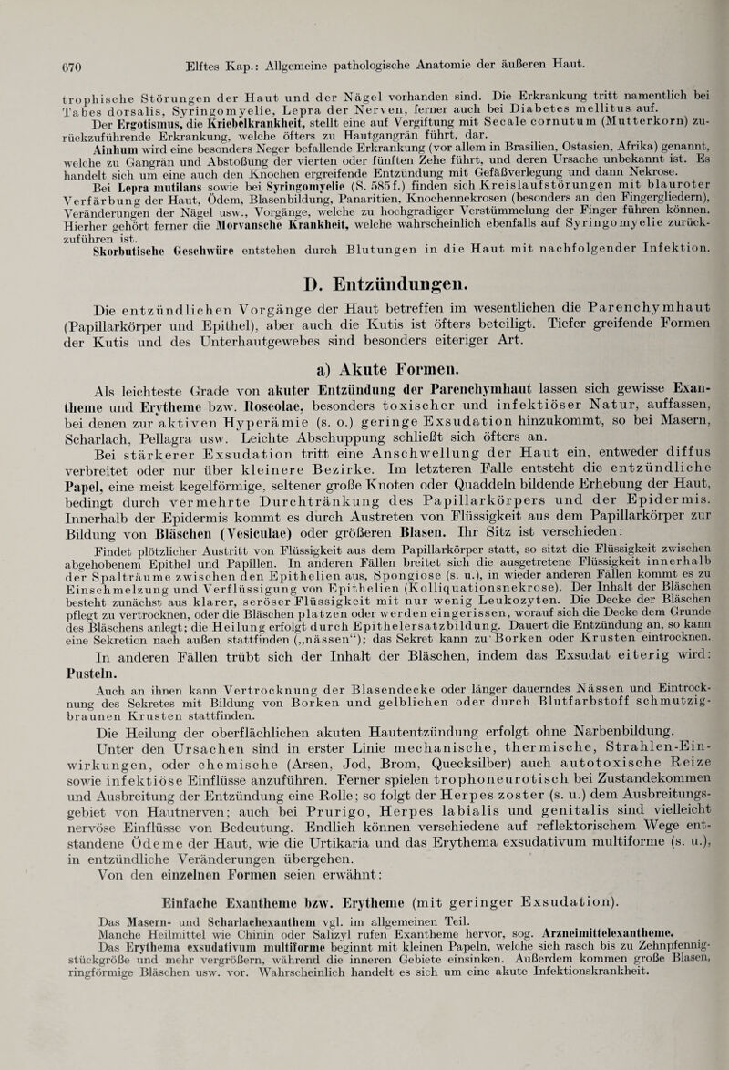 trophische Störungen der Haut und der Nägel vorhanden sind. Die Erkrankung tritt namentlich bei Tabes dorsalis, Syringomyelie, Lepra der Nerven, ferner auch bei Diabetes mellitus auf. Der Ergotismus, die Kriebelkrankheit, stellt eine auf Vergiftung mit Secale cornutum (Mutterkorn) zu¬ rückzuführende Erkrankung, welche öfters zu Hautgangrän führt, dar. Ainhuin ward eine besonders Neger befallende Erkrankung (vor allem in Brasilien, Ostasien, Afrika) genannt, welche zu Gangrän und Abstoßung der vierten oder fünften Zehe führt, und deren Ursache unbekannt ist. Es handelt sich um eine auch den Knochen ergreifende Entzündung mit Gefäß Verlegung und dann Nekrose. Bei Lepra mutilans sowie bei Syringomyelie (S. 585f.) finden sich Kreislaufstörungen mit blauroter Verfärbung der Haut, Ödem, Blasenbildung, Panaritien, Knochennekrosen (besonders an den Fingergliedern), Veränderungen der Nägel usw., Vorgänge, welche zu hochgradiger Verstümmelung der Finger führen können. Hierher gehört ferner die Morvansche Krankheit, welche wahrscheinlich ebenfalls auf Syringomyelie zurück¬ zuführen ist. . . . Skorbutische Geschwüre entstehen durch Blutungen in die Haut mit nachfolgender Infektion. D. Entzündungen. Die entzündlichen Vorgänge der Haut betreffen im wesentlichen die Parenchymhaut (Papillarkörper und Epithel), aber auch die Kutis ist öfters beteiligt. Tiefer greifende Formen der Kutis und des Unterhautgewebes sind besonders eiteriger Art. a) Akute Formen. Als leichteste Grade von akuter Entzündung der Parenchymliaut lassen sich gewisse Exan¬ theme und Erytheme bzw. Roseolae, besonders toxischer und infektiöser Natur, auffassen, bei denen zur aktiven Hyperämie (s. o.) geringe Exsudation hinzukommt, so bei Masern, Scharlach, Pellagra usw. Leichte Abschuppung schließt sich öfters an. Bei stärkerer Exsudation tritt eine Anschwellung der Haut ein, entweder diffus verbreitet oder nur über kleinere Bezirke. Im letzteren Falle entsteht die entzündliche Papel, eine meist kegelförmige, seltener große Knoten oder Quaddeln bildende Erhebung der Haut, bedingt durch vermehrte Durchtränkung des Papillarkörpers und der Epidermis. Innerhalb der Epidermis kommt es durch Austreten von Flüssigkeit aus dem Papillarkörper zur Bildung von Bläschen (Vesiculae) oder größeren Blasen. Ihr Sitz ist verschieden: Findet plötzlicher Austritt von Flüssigkeit aus dem Papillarkörper statt, so sitzt die Flüssigkeit zwischen abgehobenem Epithel und Papillen. In anderen Fällen breitet sich die ausgetretene Flüssigkeit innerhalb dev Spalträume zwischen den Epithelien aus, Spongiose (s. u.), in wieder anderen Fällen kommt es zu Einschmelzung und Verflüssigung von Epithelien (Kolliquationsnekrose). Der Inhalt der Bläschen besteht zunächst aus klarer, seröser Flüssigkeit mit nur wenig Leukozyten. Die Decke der Bläschen pflegt zu vertrocknen, oder die Bläschen platzen oder werden eingerissen, worauf sich die Decke dem Grunde des Bläschens anlegt; die Heilung erfolgt durch Epithelersatzbildung. Dauert die Entzündung an, so kann eine Sekretion nach außen stattfinden („nässen“); das Sekret kann zu'Borken oder Krusten eintrocknen. In anderen Fällen trübt sich der Inhalt der Bläschen, indem das Exsudat eiterig wird: Pusteln. Auch an ihnen kann Vertrocknung der Blasendecke oder länger dauerndes Nässen und Eintrock¬ nung des Sekretes mit Bildung von Borken und gelblichen oder durch Blutfarbstoff schmutzig- braunen Krusten stattfinden. Die Heilung der oberflächlichen akuten Hautentzündung erfolgt ohne Narbenbildung. Unter den Ursachen sind in erster Linie mechanische, thermische, Strahlen-Ein- wirkungen, oder chemische (Arsen, Jod, Brom, Quecksilber) auch autotoxische Reize sowie infektiöse Einflüsse anzuführen. Ferner spielen trophoneurotisch bei Zustandekommen und Ausbreitung der Entzündung eine Rolle; so folgt der Herpes zoster (s. u.) dem Ausbreitungs¬ gebiet von Hautnerven; auch bei Prurigo, Herpes labialis und genitalis sind vielleicht nervöse Einflüsse von Bedeutung. Endlich können verschiedene auf reflektorischem Wege ent¬ standene Ödeme der Haut, wie die LJrtikaria und das Erythema exsudativum multiforme (s. u.), in entzündliche Veränderungen übergehen. Von den einzelnen Formen seien erwähnt: Einfache Exantheme bzw. Erytheme (mit geringer Exsudation). Das Masern- und Scharlachexanthem vgl. im allgemeinen Teil. Manche Heilmittel wie Chinin oder Salizyl rufen Exantheme hervor, sog. Arzneimittelexantheme. Das Erythema exsudativum multiforme beginnt mit kleinen Papeln, welche sich rasch bis zu Zehnpfennig* stückgröße und mehr vergrößern, während die inneren Gebiete einsinken. Außerdem kommen große Blasen, ringförmige Bläschen usw. vor. Wahrscheinlich handelt es sich um eine akute Infektionskrankheit.