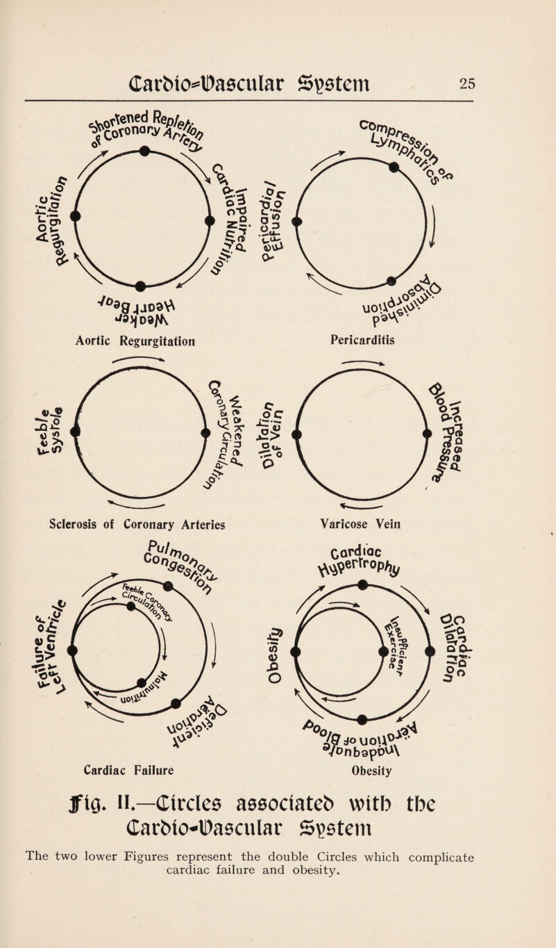 O s- £ vJ? ja £ *>b U-. <P Sclerosis of Coronary Arteries Varicose Vein Cardiac ^ertropfy Obesity ii.—Circles associated with tbe Cardio-lDasculai' System The two lower Figures represent the double Circles which complicate cardiac failure and obesity.