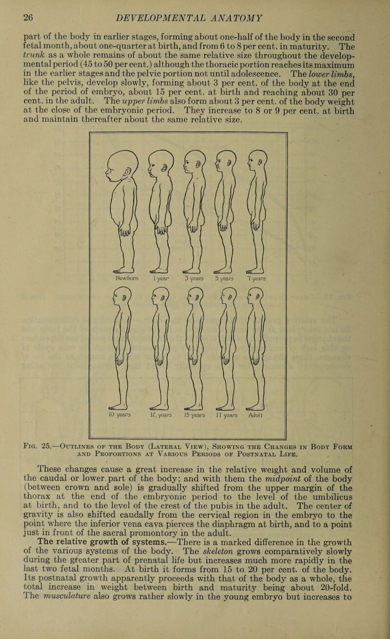 part of the body in earlier stages, forming about one-half of the body in the second fetal month, about one-quarter at birth, and from 6 to 8 per cent, in maturity. The trunk as a whole remains of about the same relative size throughout the develop¬ mental period (45 to 50 per cent.) although the thoracic portion reaches its maximum in the earlier stages and the pelvic portion not until adolescence. The lower limbs, like the pelvis, develop slowly, forming about 3 per cent, of the body at the end of the period of embryo, about 15 per cent, at birth and reaching about 30 per cent, in the adult. The upper limbs also form about 3 per cent, of the body weight at the close of the embryonic period. They increase to 8 or 9 per cent, at birth and maintain thereafter about the same relative size. Fig. 25.—Outlines of the Body (Lateral View), Showing the Changes in Body Form and Proportions at Various Periods of Postnatal Life. These changes cause a great increase in the relative weight and volume of the caudal or lower.part of the body; and with them the midpoint of the body (between crown and sole) is gradually shifted from the upper margin of the thorax at the end of the embryonic period to the level of the umbilicus at birth, and to the level of the crest of the pubis in the adult. The center of gravity is also shifted caudally from the cervical region in the embryo to the point where the inferior vena cava pierces the diaphragm at birth, and to a point just in front of the sacral promontory in the adult. The relative growth of systems.—There is a marked difference in the growth of the various systems of the body. The skeleton grows comparatively slowly during the greater part of prenatal life but increases much more rapidly in the last two fetal months. At birth it forms from 15 to 20 per cent, of the body. Its postnatal growth apparently proceeds with that of the body as a whole, the total increase in weight between birth and maturity being about 20-fold. The musculo,ture also grows rather slowly in the young embryo but increases to