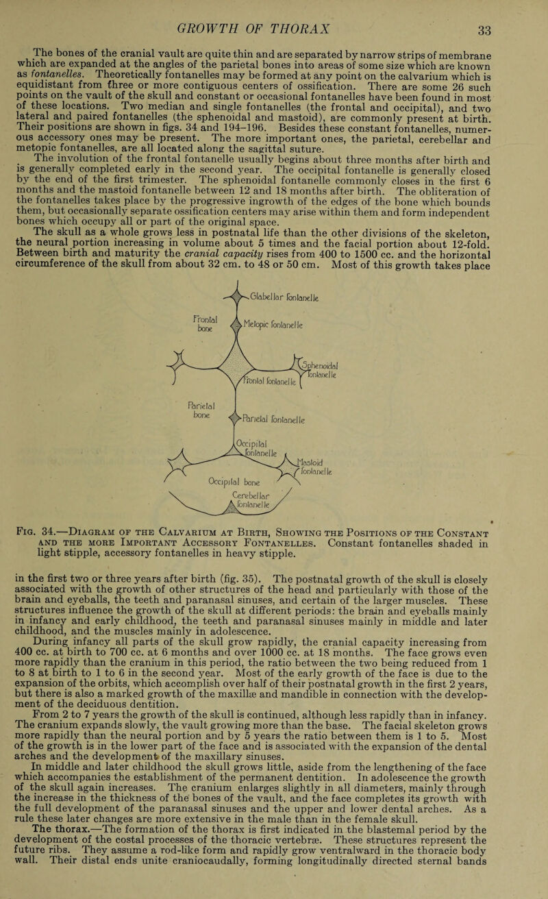 The bones of the cranial vault are quite thin and are separated by narrow strips of membrane which are expanded at the angles of the parietal bones into areas of some size which are known as fontanelles. Theoretically fontanelles may be formed at any point on the calvarium which is equidistant from three or more contiguous centers of ossification. There are some 26 such points on the vault of the skull and constant or occasional fontanelles have been found in most of these locations. Two median and single fontanelles (the frontal and occipital), and two lateral and paired fontanelles (the sphenoidal and mastoid), are commonly present at birth. Their positions are shown in figs. 34 and 194-196. Besides these constant fontanelles, numer¬ ous accessory ones may be present. The more important ones, the parietal, cerebellar and metopic fontanelles, are all located along the sagittal suture. The involution of the frontal fontanelle usually begins about three months after birth and is generally completed early in the second year. The occipital fontanelle is generally closed by the end of the first trimester. The sphenoidal fontanelle commonly closes in the first 6 months and the mastoid fontanelle between 12 and 18 months after birth. The obliteration of the fontanelles takes place by the progressive ingrowth of the edges of the bone which bounds them, but occasionally separate ossification centers may arise within them and form independent bones which occupy all or part of the original space. The skull as a whole grows less in postnatal life than the other divisions of the skeleton, the neural portion increasing in volume about 5 times and the facial portion about 12-fold. Between birth and maturity the cranial capacity rises from 400 to 1500 cc. and the horizontal circumference of the skull from about 32 cm. to 48 or 50 cm. Most of this growth takes place Fig. 34.—Diagram of the Calvarium at Birth, Showing the Positions of the Constant and the more Important Accessory Fontanelles. Constant fontanelles shaded in light stipple, accessory fontanelles in heavy stipple. in the first two or three years after birth (fig. 35). The postnatal growth of the skull is closely associated with the growth of other structures of the head and particularly with those of the brain and eyeballs, the teeth and paranasal sinuses, and certain of the larger muscles. These structures influence the growth of the skull at different periods: the brain and eyeballs mainly in infancy and early childhood, the teeth and paranasal sinuses mainly in middle and later childhood, and the muscles mainly in adolescence. During infancy all parts of the skull grow rapidly, the cranial capacity increasing from 400 cc. at birth to 700 cc. at 6 months and over 1000 cc. at 18 months. The face grows even more rapidly than the cranium in this period, the ratio between the two being reduced from 1 to 8 at birth to 1 to 6 in the second year. Most of the early growth of the face is due to the expansion of the orbits, which accomplish over half of their postnatal growth in the first 2 years, but there is also, a marked growth of the maxillae and mandible in connection with the develop¬ ment of the deciduous dentition. From 2 to 7 years the growth of the skull is continued, although less rapidly than in infancy. The cranium expands slowly, the vault growing more than the base. The facial skeleton grows more rapidly than the neural portion and by 5 years the ratio between them is 1 to 5. Most of the growth is in the lower part of the face and is associated with the expansion of the dental arches and the development of the maxillary sinuses. In middle and later childhood the skull grows little, aside from the lengthening of the face which accompanies the establishment of the permanent dentition. In adolescence the growth of the skull again increases. The cranium enlarges slightly in all diameters, mainly through the increase in the thickness of the bones of the vault, and the face completes its growth with the full development of the paranasal sinuses and the upper and lower dental arches. As a rule these later changes are more extensive in the male than in the female skull. The thorax.—The formation of the thorax is first indicated in the blastemal period by the development of the costal processes of the thoracic vertebrae. These structures represent the future ribs. They assume a rod-like form and rapidly grow ventralward in the thoracic body wall. Their distal ends unite craniocaudally, forming longitudinally directed sternal bands