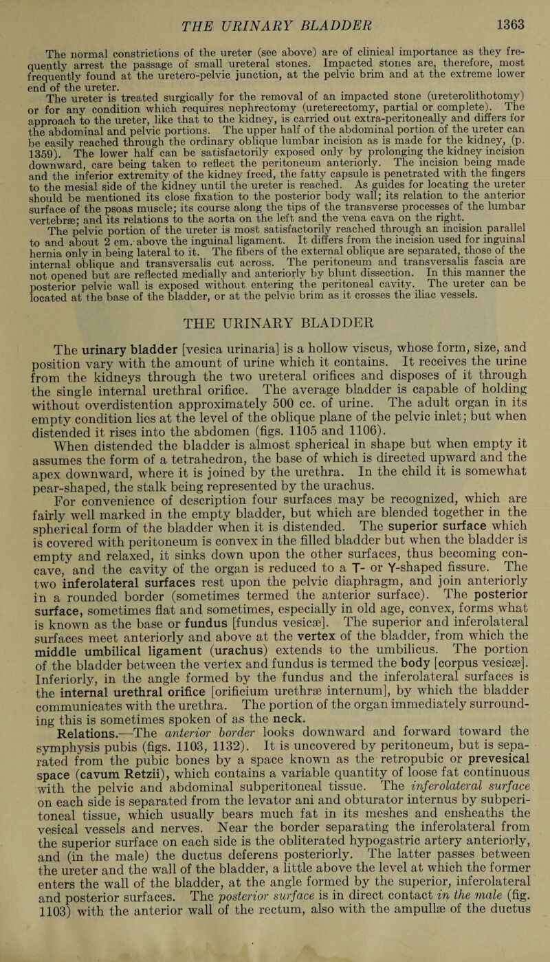 The normal constrictions of the ureter (see above) are of clinical importance as they fre¬ quently arrest the passage of small ureteral stones. Impacted stones are, therefore, most frequently found at the uretero-pelvic junction, at the pelvic brim and at the extreme lower end of the ureter. The ureter is treated surgically for the removal of an impacted stone (ureterolithotomy) or for any condition which requires nephrectomy (ureterectomy, partial or complete). The approach to the ureter, like that to the kidney, is carried out extra-peritoneally and differs for the abdominal and pelvic portions. The upper half of the abdominal portion of the ureter can be easily reached through the ordinary oblique lumbar incision as is made for the kidney, (p. 1359). The lower half can be satisfactorily exposed only by prolonging the kidney incision downward, care being taken to reflect the peritoneum anteriorly. The incision being made and the inferior extremity of the kidney freed, the fatty capsule is penetrated with the fingers to the mesial side of the kidney until the ureter is reached. As guides for locating the ureter should be mentioned its close fixation to the posterior body wall; its relation to the anterior surface of the psoas muscle; its course along the tips of the transverse processes of the lumbar vertebrae; and its relations to the aorta on the left and the vena cava on the right. The pelvic portion of the ureter is most satisfactorily reached through an incision parallel to and about 2 cm.-above the inguinal ligament. It differs from the incision used for inguinal hernia only in being lateral to it. The fibers of the external oblique are separated, those of the internal oblique and transversalis cut across. The peritoneum and transversalis fascia are not opened but are reflected medially and anteriorly by blunt dissection. In this manner the posterior pelvic wall is exposed without entering the peritoneal cavity. The ureter can be located at the base of the bladder, or at the pelvic brim as it crosses the iliac vessels. THE URINARY BLADDER The urinary bladder [vesica urinaria] is a hollow viscus, whose form, size, and position vary with the amount of urine which it contains. It receives the urine from the kidneys through the two ureteral orifices and disposes of it through the single internal urethral orifice. The average bladder is capable of holding without overdistention approximately 500 cc. of urine. The adult organ in its empty condition lies at the level of the oblique plane of the pelvic inlet; but when distended it rises into the abdomen (figs. 1105 and 1106). When distended the bladder is almost spherical in shape but when empty it assumes the form of a tetrahedron, the base of which is directed upward and the apex downward, where it is joined by the urethra. In the child it is somewhat pear-shaped, the stalk being represented by the urachus. For convenience of description four surfaces may be recognized, which are fairly well marked in the empty bladder, but which are blended together in the spherical form of the bladder when it is distended. The superior surface which is covered with peritoneum is convex in the filled bladder but when the bladder is empty and relaxed, it sinks down upon the other surfaces, thus becoming con¬ cave, and the cavity of the organ is reduced to a T- or Y-shaped fissure. The two inferolateral surfaces rest upon the pelvic diaphragm, and join anteriorly in a rounded border (sometimes termed the anterior surface). The posterior surface, sometimes flat and sometimes, especially in old age, convex, forms what is known as the base or fundus [fundus vesicae]. The superior and inferolateral surfaces meet anteriorly and above at the vertex of the bladder, from which the middle umbilical ligament (urachus) extends to the umbilicus. The portion of the bladder between the vertex and fundus is termed the body [corpus vesicae]. Interiorly, in the angle formed by the fundus and the inferolateral surfaces is the internal urethral orifice [orificium urethrae internum], by which the bladder communicates with the urethra. The portion of the organ immediately surround¬ ing this is sometimes spoken of as the neck. Relations.—The anterior border looks downward and forward toward the symphysis pubis (figs. 1103, 1132). It is uncovered by peritoneum, but is sepa¬ rated from the pubic bones by a space known as the retropubic or prevesical space (cavum Retzii), which contains a variable quantity of loose fat continuous with the pelvic and abdominal subperitoneal tissue. The inferolateral surface on each side is separated from the levator ani and obturator internus by subperi¬ toneal tissue, which usually bears much fat in its meshes and ensheaths the vesical vessels and nerves. Near the border separating the inferolateral from the superior surface on each side is the obliterated hypogastric artery anteriorly, and (in the male) the ductus deferens posteriorly. The latter passes between the ureter and the wall of the bladder, a little above the level at which the former enters the wall of the bladder, at the angle formed by the superior, inferolateral and posterior surfaces. The posterior surface is in direct contact in the male (fig. 1103) with the anterior wall of the rectum, also with the ampullae of the ductus