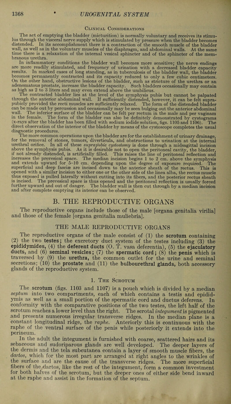 * Clinical Considerations The act of emptying the bladder (micturition) is normally voluntary and receives its stimu¬ lus through the visceral nerve supply which is stimulated by pressure when the bladder becomes distended. In its accomplishment there is a contraction of the smooth muscle of the bladder wall, as well as in the voluntary muscles of the diaphragm, and abdominal walls. At the same time there is a relaxation of the internal vesical sphincter and of the sphincter of the mem¬ branous urethra. In inflammatory conditions the bladder wall becomes more sensitive; the nerve endings are more readily stimulated, and frequency of urination with a decreased bladder capacity results. In marked cases of long standing, as in tuberculosis of the bladder wall, the bladder becomes permanently contracted and its capacity reduced to only a few cubic centimeters. On the other hand, obstructive lesions of the bladder, such as stricture of the urethra or an adenomatous prostate, increase the bladder capacity. Such bladders occasionally may contain as high as 2 to 3 liters and may even extend above the umbilicus. The contracted bladder lies at the level of the symphysis pubis but cannot be palpated through the anterior abdominal wall. If sufficiently distended, however, it can be felt supra- pubicly provided the recti muscles are sufficiently relaxed. The form of the distended bladder can be made out by percussion and occasionally may be seen bulging out the anterior abdominal wall. The inferior surface of the bladder can be felt per rectum in the male and per vaginam in the female. The form of the bladder can also be definitely demonstrated by cystograms (x-rays after the bladder has been filled with sodium iodide solution, figs. 1105 and 1106). The direct observation of the interior of the bladder by means of the cystoscope completes the usual diagnostic procedures. The more common operations upon the bladder are for the establishment of urinary drainage, for the removal of stones, tumors, diverticula, and obstructions to urination at the internal urethral orifice. In all of these suprapubic cystostomy is done through a midsagittal incision above the symphysis pubis. As it is desirable not to open the peritoneal cavity, the bladder, if not already distended, is artificially filled. This raises the line of peritoneal reflection and increases the prevesical space. The median incision begins 1 to 2 cm. above the symphysis and extends upward for 5-10 cm. depending upon the degree of exposure required. The superficial and deep fasciae are incised down to the anterior sheath of the rectus. This is opened with a similar incision to either one or the other side of the linea alba, the rectus muscle thus exposed is pulled laterally without cutting into its fibers, and the posterior rectus sheath is incised. The prevesical space is thus opened and the peritoneal reflection is usually forced further upward and out of danger. The bladder wall is then cut through by a median incision and after complete emptying its interior can be observed. B. THE REPRODUCTIVE ORGANS The reproductive organs include those of the male [organa genitalia virilia] and those of the female [organa genitalia muliebria]. THE MALE REPRODUCTIVE ORGANS The reproductive organs of the male consist of (1) the scrotum containing (2) the two testes; the excretory duct system of the testes including (3) the epididymides, (4) the deferent ducts (0. T. vasa deferentia), (5) the ejaculatory ducts, and (6) seminal vesicles; (7) the spermatic cord; (8) the penis which is traversed by (9) the urethra, the common outlet for the urine and seminal secretions; (10) the prostate and (11) the bulbourethral glands, both accessory glands of the reproductive system. 1. The Scrotum I he scrotum (figs. 1103 and 1107) is a pouch which is divided by a median septum into two compartments, each of which contains a testis and epidid¬ ymis as well as a small portion of the spermatic cord and ductus deferens. In conformity with the comparative positions of the two testes, the left half of the scrotum reaches a lower level than the right. The scrotal integument is pigmented and presents numerous irregular transverse ridges. In the median plane is a constant longitudinal ridge, the raphe. Anteriorly this is continuous with the raphe of the ventral surface of the penis while posteriorly it extends into the perineum. In the adult the integument is furnished with coarse, scattered hairs and its sebaceous and sudoriparous glands are well developed. The deeper layers of the dermis and the tela subcutanea contain a layer of smooth muscle fibers, the dartos, which for the most part are arranged at right angles to the wrinkles of the surface and are the cause of the transverse ridges. The more superficial fibers of the dartos, like the rest of the integument, form a common investment for both halves of the scrotum, but the deeper ones of either side bend inward at the raphe and assist in the formation of the septum.